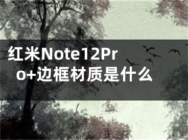 紅米Note12Pro+邊框材質(zhì)是什么