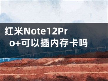 紅米Note12Pro+可以插內(nèi)存卡嗎