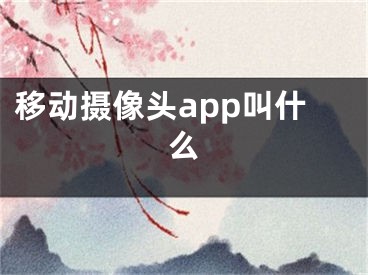 移動(dòng)攝像頭app叫什么