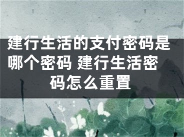 建行生活的支付密碼是哪個密碼 建行生活密碼怎么重置