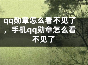 qq勛章怎么看不見了，手機qq勛章怎么看不見了