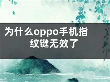 為什么oppo手機(jī)指紋鍵無(wú)效了