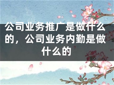 公司業(yè)務(wù)推廣是做什么的，公司業(yè)務(wù)內(nèi)勤是做什么的