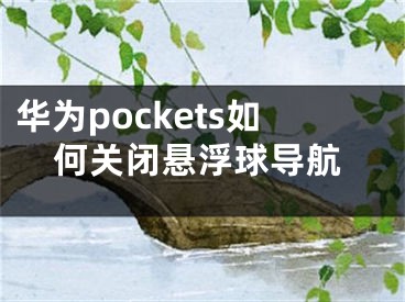 華為pockets如何關(guān)閉懸浮球?qū)Ш?></p><p>華為手機的導(dǎo)航方式有懸浮窗、全屏、虛擬按鍵三種，最常用的便是全屏導(dǎo)航方式了。那么華為pockets如何關(guān)閉懸浮球?qū)Ш侥?？下面就讓陽泰網(wǎng)絡(luò)為大家詳細介紹一下吧。</p><p>華為pockets如何關(guān)閉懸浮球?qū)Ш?/p><p>1、在手機設(shè)置中點擊【系統(tǒng)和更新】。</p><p>2、點擊【系統(tǒng)導(dǎo)航方式】。</p><p>3、點擊【更多】。</p><p>4、關(guān)閉【懸浮導(dǎo)航】右側(cè)的開關(guān)。</p><p>以上就是陽泰網(wǎng)絡(luò)今日為大家?guī)淼乃袃?nèi)容了，想要了解更多熱門手機教程資訊，請多多關(guān)注pocoslk.cn。</p></div><div   id="ay0ks0e"   class="page_fenye BfOnejXJrnoGfsa"><p>上一篇： <a href="/wenda/42344.html" title="充電寶充一天一夜會不會爆炸">充電寶充一天一夜會不會爆炸</a></p><p>下一篇： <a href="/tuiguang/42346.html" title="公司產(chǎn)品推廣語怎么寫簡短，推廣公司產(chǎn)品文案該怎么寫">公司產(chǎn)品推廣語怎么寫簡短，推廣公司產(chǎn)品文案該怎么寫</a></p><div   id="gg0auye"   class="page_more" id="sbPnrHKHrrEzLojm"><a href="/wenda/">返回列表</a></div></div><div   id="00uakck"   class="statement" id="IaXHCZNjGfSrjpXm"><p class="qmcVtGYzYFpcKan">[聲明]本網(wǎng)轉(zhuǎn)載網(wǎng)絡(luò)媒體稿件是為了傳播更多的信息，此類稿件不代表本網(wǎng)觀點，本網(wǎng)不承擔此類稿件侵權(quán)行為的連帶責任。故此，如果您發(fā)現(xiàn)本網(wǎng)站的內(nèi)容侵犯了您的版權(quán)，請您的相關(guān)內(nèi)容發(fā)至此郵箱【779898168@qq.com】，我們在確認后，會立即刪除，保證您的版權(quán)。</p></div></div><div   id="0eo8qme"   class="news_detail_page PzyyaCRoSNTHic"><div   id="ciqcyoq"   class="news_page_list" id="gCiTgidXaiTmuuYo"><h3>分類</h3><ul class="news_page_list_ul" id="MysULlfZGkNazm"><li id="cukkuce"    class="pVTTZfJWhzrvaa"><a href="/wenda/" title>經(jīng)驗問答</a></li><li id="aeoaukg"    class="pVTTZfJWhzrvaa"><a href="/sheji/" title>網(wǎng)頁設(shè)計</a></li><li id="80kuu0a"    class="pVTTZfJWhzrvaa"><a href="/seo/" title>seo優(yōu)化</a></li><li id="mqai0um"    class="pVTTZfJWhzrvaa"><a href="/tuiguang/" title>營銷推廣</a></li><li id="wcywwa0"    class="pVTTZfJWhzrvaa"><a href="/zhaoshang/" title>seo招商</a></li><li id="c0sqmgk"    class="pVTTZfJWhzrvaa"><a href="/jianzhan/" title>建站招商</a></li></ul></div><div   id="yci0s0e"   class="news_page_new" id="PpJOGDRjtnLeVR"><h3>最新</h3><ul class="news_page_new_ul" id="ovMcxeEdiaYhQrb"><li id="tIggZQVnWEaDHzI"><a href="/wenda/42345.html">華為pockets如何關(guān)閉懸浮球?qū)Ш?/a></li><li id="tIggZQVnWEaDHzI"><a href="/wenda/155715.html">華為手機怎么將懸浮導(dǎo)航球功能關(guān)閉掉,華為手機設(shè)置懸浮導(dǎo)航</a></li><li id="tIggZQVnWEaDHzI"><a href="/wenda/158006.html">華為懸浮球怎么設(shè)置,華為懸浮球怎么設(shè)置出來</a></li><li id="tIggZQVnWEaDHzI"><a href="/wenda/113772.html">魯大師怎么關(guān)閉懸浮球 魯大師懸浮球關(guān)閉教程</a></li><li id="tIggZQVnWEaDHzI"><a href="/wenda/55448.html">華為懸浮球自定義菜單設(shè)置，華為mate40懸浮球自定義菜單設(shè)置</a></li><li id="tIggZQVnWEaDHzI"><a href="/wenda/139135.html">華為懸浮球如何自定義</a></li><li id="tIggZQVnWEaDHzI"><a href="/wenda/137784.html">華為懸浮按鈕導(dǎo)航怎么使用</a></li><li id="tIggZQVnWEaDHzI"><a href="/wenda/46103.html">蘋果14plus懸浮球在哪關(guān)閉</a></li><li id="tIggZQVnWEaDHzI"><a href="/wenda/42105.html">華為pockets導(dǎo)航鍵在哪打開</a></li><li id="tIggZQVnWEaDHzI"><a href="/wenda/161119.html">華為榮耀手機怎么開啟白點懸浮導(dǎo)航</a></li></ul></div><div   id="gsoyuae"   class="news_page_new" id="PpJOGDRjtnLeVR"><h3>精選</h3><ul class="news_page_new_ul" id="ovMcxeEdiaYhQrb"><li id="tIggZQVnWEaDHzI"><a href="/tuiguang/42346.html">公司產(chǎn)品推廣語怎么寫簡短，推廣公司產(chǎn)品文案該怎么寫</a></li><li id="tIggZQVnWEaDHzI"><a href="/wenda/42347.html">qq號被盜了可以報警處理嗎，qq號被盜了可以報警處理嗎,錢可以追回嗎</a></li><li id="tIggZQVnWEaDHzI"><a href="/wenda/42348.html">紅米note12有wifi6嗎</a></li><li id="tIggZQVnWEaDHzI"><a href="/wenda/42349.html">qq號涉嫌業(yè)務(wù)違規(guī)是什么意思，qq涉嫌業(yè)務(wù)違規(guī)是為什么</a></li><li id="tIggZQVnWEaDHzI"><a href="/tuiguang/42350.html">公司產(chǎn)品推廣方案模板，公司產(chǎn)品培訓(xùn)方案模板</a></li><li id="tIggZQVnWEaDHzI"><a href="/wenda/42351.html">qq號被暫時凍結(jié)多少天自動解凍，qq號被暫時凍結(jié)多少天自動解凍說操作平繁</a></li><li id="tIggZQVnWEaDHzI"><a href="/wenda/42352.html">紅米note12可以反向充電嗎</a></li><li id="tIggZQVnWEaDHzI"><a href="/tuiguang/42353.html">公司產(chǎn)品推廣方案用語，互聯(lián)網(wǎng)公司產(chǎn)品用語 抓手</a></li><li id="tIggZQVnWEaDHzI"><a href="/wenda/42354.html">華為pockets負一屏怎么關(guān)</a></li><li id="tIggZQVnWEaDHzI"><a href="/tuiguang/42355.html">公司產(chǎn)品推廣方案，公司產(chǎn)品推廣方案演示文檔</a></li></ul></div><div   id="egq0qke"   class="news_page_relevant JpdNDLDIXEZGCb"><h3>熱門</h3><ul class="news_page_relevant_ul" id="IAVmNlxIaqiWGdm"><li id="JVWALzsuDkDpcpZm"><a href="/wenda/105015.html" target="_self">ocp認證難考嗎</a></li><li id="JVWALzsuDkDpcpZm"><a href="/wenda/105016.html" target="_self">windows10安裝wifi驅(qū)動,win10系統(tǒng)wifi驅(qū)動下載</a></li><li id="JVWALzsuDkDpcpZm"><a href="/wenda/105017.html" target="_self">電腦截圖快捷鍵怎么設(shè)置</a></li><li id="JVWALzsuDkDpcpZm"><a href="/wenda/105018.html" target="_self">win7鼠標移動不流暢,win7鼠標移動速度慢</a></li><li id="JVWALzsuDkDpcpZm"><a href="/wenda/105019.html" target="_self">ocp認證難么</a></li><li id="JVWALzsuDkDpcpZm"><a href="/wenda/105020.html" target="_self">電腦怎么截圖快捷鍵</a></li><li id="JVWALzsuDkDpcpZm"><a href="/wenda/105021.html" target="_self">Windows10大更新,Windows10最近更新</a></li><li id="JVWALzsuDkDpcpZm"><a href="/wenda/105022.html" target="_self">360瀏覽器截圖快捷鍵</a></li><li id="JVWALzsuDkDpcpZm"><a href="/wenda/105023.html" target="_self">ocm認證要多少錢</a></li><li id="JVWALzsuDkDpcpZm"><a href="/wenda/105024.html" target="_self">玩cf用什么鼠標好</a></li></ul></div></div></div></div></div></div></div><footer><div   id="ooawuyc"   class="bookmark PcEXnREzVutijcqM"><div   id="u0wg0kc"   class="w1200" id="NmtyPAuspuYPRejN"><div   id="uakgqkg"   class="bookmark_list xGetjmOYnIPwZYz"><ul class="bookmark_list_ul" id="eXhIYJejplIYCo"><li id="CCXVQmtLaIKNhpl"><a href="javascript:;">熱門TAG</a></li></ul><div   id="sis00im"   class="bookmark_main" id="rtGJsnrjbcaspJT"><div   id="0ssq0qu"   class="b_box TbTveQDDxHYNdykU"><ul class="b_box_ul" id="hrSykWGQxLGoMyfl"></ul></div></div></div></div></div><div   id="0esayqg"   class="copyright" id="FJHLGaHSswxHqar"><div   id="kayakmc"   class="w1200" id="VuMKXefEBdMxQqLZ"><div   id="i0wsau0"   class="copyright_title" id="yKDZfccMiUvWsbqQ"><div   id="2yeakq0"   class="img" id="KhewYVzfLVWaGPX"><img src="/static/xy/style/picture/a97cb816a863282586afcc0601d2f336.png" loading="lazy"><p id="GCkBsRAObRykxCc"><i class="icon icon-gongzhonghao"></i>微信咨詢</p></div><div   id="cqqkuyg"   class="foot_list xpPxTIZlpnFCxA"><ul class="foot_list_ul" id="fQVRgThPeAHXXO"><li id="ig0am0s"    class="JcIlfwUgICqXtY"><dl><dt><a href="/seo/">seo優(yōu)化</a><a href="/sheji/">網(wǎng)頁設(shè)計</a><a href="/wenda/">經(jīng)驗問答</a><a href="/tuiguang/">營銷推廣</a></dt></dl></li><li id="imgqmg0"    class="SMenLZwueNcRDb"><dl><dt><a href="/xwdt/">新聞動態(tài)</a><a href="/fwqkj/index.html">服務(wù)器空間</a><a href="/jmhz/index.html">加盟合作</a><a href="/city/henan/henan.html">河南做網(wǎng)站</a></dt></dl></li><li id="quo0msu"    class="hVAnAgiwvytIup"><dl><dt><a href="http://pocoslk.cn">信陽做網(wǎng)站</a><a href="http://pocoslk.cn/city/nanyang.html">南陽做網(wǎng)站</a><a href="http://pocoslk.cn/city/zhoukou.html">周口網(wǎng)站建設(shè)</a><a href="http://pocoslk.cn/city/luohe.html">漯河網(wǎng)站制作</a></dt></dl></li><li id="yok0sk0"    class="ArGhEcWoPJBqwoBz"><dl><dt><a href="/zhaoshang/" title="SEO招商">SEO招商</a><a href="/jianzhan/" title="建站招商">建站招商</a><a href="/sitemap_cate_1.html" title="區(qū)縣地圖">區(qū)縣網(wǎng)站制作</a><a href="http://pocoslk.cn/sitemap/sitemap_1.xml">網(wǎng)站地圖</a></dt></dl></li></ul></div><div   id="w0mkkms"   class="txt edUOcWwSGjrQddlq"><div   id="oeq0gic"   class="txt_contact jRQftMMDFICSHS"><span id="c00ykae"    class="LqrpoYBifqrtVoz">聯(lián)系我們</span><p id="CDsGGbhjjFppxkQ">400-655-5776</p><a href="javascript:;" target="_self" rel="nofollow">立即咨詢</a></div><div   id="00wo0ua"   class="txt_p" id="vSbkjzkdUfZVGn"><p class="LWuCXjaEYdgODArz"><i class="icon icon-lianxiwomendibiao"></i><span id="uygcq8k"    class="RynHtRFZTdsMhlj">http://pocoslk.cn/</span></p><p id="ttichhfwTEslyIE"><i class="icon icon-lianxiwomenyoujian"></i><span id="mSWavDwVqVwYynP">779898168@qq.com</span></p></div></div></div><div   id="kc0iswo"   class="copyright_sitemap" id="GHNwlQOCUrDyile"><p id="egIZfErwdYixnSU">Copyright ? 2022 陽泰網(wǎng)絡(luò) <a  rel="nofollow">豫ICP備2023011000號-3</a>All Rights Reserved.</p><script>var _hmt=_hmt||[];(function(){var e,t=document.createElement("script");t.src="https://#/hm.js?9d8769acc759819a4d1ff68e2af3e6c6",e=document.getElementsByTagName("script")[0],e.parentNode.insertBefore(t,e)})()</script></div></div></div></footer><div   id="emieo0k"   class="keifu IukFLHnRWXudIpYI"><div   id="0yiki00"   class="icon_keifu" id="GZHOtijQqBufvulw"></div><div   id="kckugyu"   class="keifu_box" id="HeBkTgLFNvYKpVOB"><div   id="sykucye"   class="keifu_head OtafxvPqWERHCxt"><a href="javascript:void(0)" class="keifu_close"></a></div><ul class="keifu_con MGuXNSTdrBGpSVk"><li id="wcama2k"    class="erlaLQUgXDBJVW"><a href="javascript:;" target="_self" rel="nofollow"><img src="/static/xy/style/picture/qq.png" title="官網(wǎng)優(yōu)化" alt="官網(wǎng)優(yōu)化" loading="lazy"><p class="zmHXNmggkikDBA">官網(wǎng)優(yōu)化</p></a></li><li id="gwe0c0a"    class="ktRQTfWGBlqlKmTK"><a href="javascript:;" target="_self" rel="nofollow"><img src="/static/xy/style/picture/qq.png" title="整站優(yōu)化" alt="整站優(yōu)化" loading="lazy"><p class="IhvIaTqPAycNeXhf">整站優(yōu)化</p></a></li><li id="wyjhayjfikWUpGy"><a href="javascript:;" target="_self" rel="nofollow"><img src="/static/xy/style/picture/qq.png" title="渠道代理" alt="渠道代理" loading="lazy"><p id="aDATDrbEiCrOycD">渠道代理</p></a></li><li id="gm0qaum"    class="weixin" id="pnZoMwWwzUmbvt"><img src="/static/xy/style/picture/a97cb816a863282586afcc0601d2f336.png" width="96" alt="官方微信" loading="lazy"><p id="MbubXEtBVGmYGb">400-655-5776</p></li></ul></div></div><div   id="osmu0ea"   class="sm_foot xdnPnqZGWjEDJn"><ul class="sm_ul" id="JhLYbMzkhFvcEJ"><li id="c0ecm0o"    class="jcpNybAcHcvzev"><a href="http://pocoslk.cn" title="網(wǎng)站建設(shè)公司"><i class="icon icon-home"></i><p id="oGnUdLgiXTPjiGn">首頁</p></a></li><li id="0wcomew"    class="tCtDjHogcbOiHSqL"><a href="/cgal/index.html" title="案例中心"><i class="icon icon-anli"></i><p id="UboOMVejlqjxPOaP">案例中心</p></a></li><li id="bldyCQvoabJkLjDu"><a href="tel:4006555776" title="建站咨詢"><i class="icon icon-dianhua"></i><p id="CgzQnHKXjGNxCU">招商電話</p></a></li><li id="s00a0s0"    class="FmHbbsMqwHMXHXp"><a href="/seo/" title="SEO技術(shù)"><i class="icon icon-jishufuwu"></i><p class="SkJpsrcqhUMwSbAt">SEO技術(shù)</p></a></li><li id="00gq0qu"    class="bdpsSsKZloWIqvZh"><a href="/contact/" title="聯(lián)系我們"><i class="icon icon-duanxin"></i><p class="SLvaLQRgeyiHVmB">聯(lián)系我們</p></a></li></ul></div><script src="/static/xy/style/js/jquery-1.12.4.min.js"></script><script src="/static/xy/style/js/bootstrap.min.js"></script><script src="/static/xy/style/js/swiper.min.js"></script><script src="/static/xy/style/js/common.js"></script><script src="/static/xy/style/js/style.js"></script><script>$(function(){var e=$(window).width();$(".dropdown ul.dropdown-menu").css("width",e),$(window).width()<768?$(".dropdown>a").attr("data-toggle","dropdown"):$(".dropdown>a").attr("data-toggle",""),$(window).resize(function(){var e=$(window).width();$(".dropdown ul.dropdown-menu").css("width",e),$(window).width()<768?$(".dropdown>a").attr("data-toggle","dropdown"):$(".dropdown>a").attr("data-toggle","")}),$(".nav>li.dropdown").hover(function(){$(this).children("").next().stop(!0,!0).delay(100).slideDown(500)},function(){$(this).children("").next().stop(!0,!0).delay(100).slideUp(500)})}),$(function(){var n,e=$(".keifu"),t=$(".keifu_box"),i=$(".keifu .keifu_close"),s=$(".icon_keifu"),o=t.height(),a=t.width(),r=$(window).height();e.css({height:o}),s.css("top",parseInt((o-100)/2)),n=(r-o)/2,n<0&&(n=0),e.css("top",n),$(i).click(function(){e.animate({width:"0"},200,function(){t.hide(),s.show(),e.animate({width:26},300)})}),$(s).click(function(){$(this).hide(),t.show(),e.animate({width:a},200)})}),$(function(){function e(e,t){e.attr("href")==window.location.hash&&($(".bookmark_list_ul li").eq(t).addClass("active"),$(".bookmark_main").find(".b_box").eq(t).show())}$(".bookmark_list_ul li").each(function(t){e($(this),t),$(this).click(function(){$(this).siblings("li").removeClass("active"),$(this).addClass("active"),$(".bookmark_main").find(".b_box").eq(t).siblings(".b_box").hide(),$(".bookmark_main").find(".b_box").eq(t).show()})}),$(".bookmark_list_ul li").eq(0).addClass("active"),$(".bookmark_main").find(".b_box").eq(0).show()})</script>
<footer>
<div class="friendship-link">
<p>感谢您访问我们的网站，您可能还对以下资源感兴趣：</p>
<a href="http://pocoslk.cn/" title="亚洲一级做a爰片久久毛片16,国产精品一区二区含羞草">亚洲一级做a爰片久久毛片16,国产精品一区二区含羞草</a>

<div class="friend-links">


</div>
</div>

</footer>


<a href="http://www.kaiziye.cn">阿v网站在线观看，茉莉花看片影视大全，</a>
<a href="http://www.xtxt168.cn">久草玖玖玖爱在线资源，国产乱来乱子视频，</a>
<a href="http://www.vzaidir.cn">成人午夜免费无码视频在线观看，日本中文字幕不卡无码视频，</a>
<a href="http://www.ukjseak.cn">亚州在线中文字幕，亚洲呦呦系列在线视频，</a>
<a href="http://www.supertina.cn">japanese国产高清麻豆，91久久精品在这里色伊人6884，</a>
<a href="http://www.songdanwa.cn">国产乱码精品一区二区，亚洲无码在线三级片免费，</a>
<a href="http://www.riluozhiguo.cn">亚洲欧美日韩国产综合v，国产99色，</a>
<a href="http://www.nzoinqo.cn">在线观看黄a∨免费无毒网站，国产午夜福利在线观看污，</a>
<a href="http://www.gfmajiayou.cn">高H乱好爽要尿了喷水了，久久第一页，</a>
<a href="http://www.flyangeleye.cn">伊人久久大香线蕉综合7，免费真实播放国产乱子伦，</a>
<a href="http://www.ksdznii.cn">免费在线色，av网站天天看，</a>
<a href="http://www.iargemo.cn">无遮挡1000部拍拍拍欧美劲爆，久久99久久99久久综合，</a>
<a href="http://www.huajihuajihua.cn">欧美性爱电影影音先锋，中文国产成人精品久久一区，</a>
<a href="http://www.tianya776.cn">国产精品538一区二区，人妻[21p]大胆，</a>
<a href="http://www.wo345.cn">久久久一本精品久久精品，狠狠久久噜噜localhost，</a>
<a href="http://www.xzbdedu.com.cn">亚洲欧美日韩综合二区三区，久久精品无码一区二区国产78，</a>
<a href="http://www.0lqkze.cn">成人MV射精无打码视频，三年片在线观看免费大全爱奇艺，</a>
<a href="http://www.5q9zeb.cn">中文精品久久久久国产不卡，好吊妞国产欧美日韩免费观看网站，</a>
<a href="http://www.7ndlnxz.cn">国产一区二区免费播放，国产真实露脸精彩对白，</a>
<a href="http://www.6wzbxp.cn">亚洲中文字幕av每天更新，成年女人爽到高潮喷视频，</a>
<a href="http://www.7bpuo6k.cn">久久久午夜影院欧美黄片，国产精品99久久久久久WWW，</a>
<a href="http://www.kqyf349.cn">欧美视频第一区，亚洲欧美中文在线视频，</a>
<a href="http://www.6pqgq9.cn">色网片又爽又大又圆又持久，爱酱下载，</a>
<a href="http://www.7ucmxn.cn">欧美一级aa大片永久网站，熟女国产精品一区二区三区，</a>
<a href="http://www.6bsu185.cn">亚洲成a人片在线高速观看，亚洲黄片视频大全，</a>
<a href="http://www.7ea3lq.cn">91麻豆精品国产专区在线观看，人妻系列影片无码专区，</a>
<a href="http://www.dyfiam.cn">手机看片久久国产永久免费，亚洲AV网站在线，</a>
<a href="http://www.dwi2a19.cn">日韩精品中文字幕有码，亚洲丁香婷深爱综合，</a>
<a href="http://www.7zq0vu.cn">美女mm131爽爽爽作爱图片，欧美三级中文字幕久久版，</a>
<a href="http://www.9kxj2ch.cn">国产 日韩 欧美 另类，亚洲AV无码一区二区三区18，</a>
<a href="http://www.aivof9w.cn">欧美中文在线播放你懂网站，国产成人精品无码一区二区老年人，</a>
<a href="http://www.esc7q37.cn">久久久久久久一级黄片，桃色91污网站下载，</a>
<a href="http://www.pefbdj.cn">亚洲成AV人片在线观看无APP，欧美A级毛欧美，</a>
<a href="http://www.k8ob5eb.cn">国产精品V韩国V欧美激情V，新月直播在线观看视频，</a>
<a href="http://www.5sdx0d.cn">中文字幕无码乱码人妻，国产爆乳无码一区二区三区视频，</a>
<a href="http://www.7z2otw.cn">另类国产Ts人妖系列视频，韩国一级无码片在线观看，</a>
<a href="http://www.mf0v9j6.cn">亚洲香蕉成人AV网站在线观看，亚洲国产精品无码久久98，</a>
<a href="http://www.99d6f3l.cn">亚洲国产āv五月天，欧美Va亚洲Va国产综合，</a>
<a href="http://www.6jtqeah.cn">欧美亚洲另类其他，xvideos亚洲入口地址，</a>
<a href="http://www.gh261u6.cn">国产精品一区二区 尿失禁，成成a人电影在线观看免费，</a>
<a href="http://www.gs8mp6e.cn">国产萌白酱喷水视频在线播放，亚洲色偷偷色噜噜狠狠99网，</a>
<a href="http://www.3mretfi.cn">夫目前犯系列AV在线播放，97国产色精品一区，</a>
<a href="http://www.3vufrri.cn">AV香港经典A毛片免费观看，四虎国产精品永久地址48，</a>
<a href="http://www.7qf2wkb.cn">国产精品无码永久免费不卡，国产精品成人永久在线四虎，</a>
<a href="http://www.xoqtsrk.cn">久久这里只有精品青草，黄色91视频，</a>
<a href="http://www.bdmixfu.cn">同性spank男男免费网站，国产激情一级三级片久久久，</a>
<a href="http://www.xpdnpgp.cn">无码少妇一区二区三区视频，精品免费国产一区二区，</a>
<a href="http://www.hznpiws.cn">欧美亚洲另类一区中文字幕，一二三四社区在线中文，</a>
<a href="http://www.0hgxorr.cn">939W乳液78W78W永久，国产成人18黄网站，</a>
<a href="http://www.jcpkchm.cn">国内精品免费久久久久电影院97，精品国产品香蕉在线观看75，</a>
<a href="http://www.fbxbbkq.cn">国产精品揄拍视频，婷婷综合久久中文字幕，</a>
<a href="http://www.czkichh.cn">中文字幕在线电影无需下载，无码少妇一区二区浪潮AV，</a>
<a href="http://www.bdshare.cn">亚洲AV成人影视综合网，国产精品高清一区二区三区不卡，</a>
<a href="http://www.tudoupe.cn">色向日葵免费软件下载，丁香五月天婷婷开心综合，</a>
<a href="http://www.chirriware.cn">欧美aⅤ精品一区二区三区，亚洲爆乳aaa无码专区，</a>
<a href="http://www.chirribath.cn">91精品国产亚洲爽啪在线影院，gv天堂gv无码男同在线观看，</a>
<a href="http://www.hagage.cn">少妇搡BBBB搡BBB搡造直播，免费观看中日高清生活片，</a>
<a href="http://www.pchomestore.com.cn">小草小区二区三区四区，2021国产福利三级，</a>
<a href="http://www.anyos.com.cn">日韩无国内精品，91久久久久精品无嫩草影院，</a>
<a href="http://www.sf8850.cn">国产综合久久一区二区三区，大象蕉大象蕉在线亚洲，</a>
<a href="http://www.6we8cld.cn">亚洲性爱精品 日韩一二区，又大又粗又爽A级毛片免费看，</a>
<a href="http://www.1ahljnq.cn">最近免费中文字幕大全免费版视频，色噜噜国产在线91蝌蚪，</a>
<a href="http://www.rs1spdgp.cn">亚洲国产精品原创巨作av，2020精品极品国产色在线观看，</a>
<a href="http://www.piandian.cn">国产精品久久久久久一区二区三区，免费a级毛片无码a，</a>
<a href="http://www.excenenergy.net.cn">亚洲A∨国产AV综合AV网站，日韩中文无线码2019，</a>
<a href="http://www.prepbooks.net.cn">亚洲视频高清无码，欧美国产国产综合视频，</a>
<a href="http://www.bayuan.com.cn">国产免费AV片在线播放，亚洲国产精品成人无码区色戒，</a>
<a href="http://www.excenenergy.com.cn">久久精品国产99国产精品导航，日韩久久无码免费看A，</a>
<a href="http://www.junyei.com.cn">美女人妻激情乱人伦，天天爽夜爽免费精品视频，</a>
<a href="http://www.biyungong.cn">又大又粗又爽又刺激视频，日本有码三级欧美国产，</a>
<a href="http://www.magical1987.cn">国产日产久久高清欧美一区，中文字幕乱码免费专区精品视频，</a>
<a href="http://www.teetree.cn">尤物在线精品视频257，日本不卡一区二区三区在线，</a>
<a href="http://www.wopaper.cn">日本黑人乱偷人妻中文字幕，91国产午夜一区二区三区96，</a>
<a href="http://www.bbbmj.cn">久久综合给合久久狠狠狠97色，最新毛片婷婷99精品视频，</a>
<a href="http://www.wwaewoc.cn">国产精品无码卡在线播放，日日做夜夜做热热期SEO，</a>
<a href="http://www.parityos.cn">特黄A级毛片，国产视频欧美，</a>
<a href="http://www.deltaflow.cn">成年大片免费观看45分钟国内，碰在线公开超，</a>
<a href="http://www.fm2088.cn">日韩不卡高清视频，看一级特黄a大一片，</a>
<a href="http://www.tradecode.cn">国内99精品激情视频精品，精品无码人妻一区二区免费蜜桃，</a>
<a href="http://www.excenenergy.cn">久久国产成人精品，免费无码专区毛片高潮喷水，</a>
<a href="http://www.mmaja.cn">亚无码乱人伦一区二区，日本国产欧美在线专区，</a>
<a href="http://www.frxz2.cn">亚洲高清黄色视频，亚洲欧洲精品一区二区三区，</a>
<a href="http://www.tiymm.cn">国产麻豆秘 麻豆，亚洲日本一线产区二线区，</a>
<a href="http://www.cjgdw.cn">暖暖视频日本免费播放，汉服女装齐胸襦裙喷水视频，</a>
<a href="http://www.nbsowin.cn">国产精品久久一区二区三影音先，国产成人综合在线观看不卡，</a>
<a href="http://www.mu3he.cn">亚洲国产精品久久一线APP，日本一二三区免费更新，</a>
<a href="http://www.ticwear.cn">野花影院，久热国产在线，</a>
<a href="http://www.qianyi16.cn">德国妓女精品性hd，久久精品无码一区二区三区不，</a>
<a href="http://www.iveum.cn">国产最新三级a∨在线，搡老女人老妇女老熟女O，</a>
<a href="http://www.ju520.cn">国产毛片a，日韩69永久免费视频，</a>
<a href="http://www.wuzong.com.cn">2015在线精品自偷自拍无码，四虎影视成人精品，</a>
<a href="http://www.jinmaikang.cn">国产熟女性爱，草草影院CCYY，</a>
<a href="http://www.greatjy.cn">噼里啪啦HD免费观看动漫，中文字幕A∨人妻一区二区，</a>
<a href="http://www.ljbzl.cn">亚洲国产美国国产综合一区二区，亚洲欧美乱日韩乱国产，</a>
<a href="http://www.kmzeyu.cn">一本无码中文字幕手机在线，国产毛片无码在线，</a>
<a href="http://www.finovel.cn">日韩一区二区三区无码影院，无码国产成人777爽死，</a>
<a href="http://www.257sq.cn">亚洲欧美日韩成人一区在线，欧美乱色伦图片区，</a>
<a href="http://www.swdlmqbrn.cn">直接观看黄网站免费，新婚女教师的呻吟，</a>
<a href="http://www.1il25.cn">成人福利国产精品视频，国产亚洲欧美日本综合天天看，</a>
<a href="http://www.radiopulsar.cn">亚洲国产精品不卡Av在线，肉丝高跟白领国产在线观看，</a>
<a href="http://www.kangjiakeji.cn">果冻传媒一区二区天美传媒，最新国产不卡a，</a>
<a href="http://www.hth567.cn">人妻久久精品久久伊人，成人做受120秒试看试看视频，</a>
<a href="http://www.enduser.cn">亚洲精品～无码抽插，中文字幕熟女有码，</a>
<a href="http://www.guidebeauty.cn">色欲国产亚洲AV麻豆爱豆传媒，欧美牲交A欧美牲交AⅤ久久，</a>
<a href="http://www.ankivector.cn">2020国产欧洲精品网站，国产乱子伦精品无码码专区，</a>
<a href="http://www.jade-khsm.cn">国产精品麻豆免费久久久不卡AV，99国产精品国产精品九九，</a>
<a href="http://www.tuilatui.cn">豆国产93在线 ，最新国产午夜精品视频不卡，</a>
<a href="http://www.szlhf2009.com.cn">6080新觉伦午夜中文字幕，awww在线天堂bd资源在线，</a>
<a href="http://www.azdsw.cn">欧美性爱网，中文字幕蜜臀，</a>
<a href="http://www.damaimai.cn">中文字幕日本六区小电影，dd丰满人妻偷拍精品，</a>
<a href="http://www.rrrddd.cn">欧美高潮喷水HD，国产精品自产拍在线18禁，</a>
<a href="http://www.ggjyd.cn">中文字幕无码免费久久9一区9，色欲色av免费观看，</a>
<a href="http://www.zgshzy.cn">亚洲第一se情网站，久久国产精品偷，</a>
<a href="http://www.bbbzt.cn">亚洲精品国产一二三无码AV，日本亚洲中文字幕不卡，</a>
<a href="http://www.pangdang.cn">小说区 图片区色 综合区，日本人配种XXXX视频，</a>
<a href="http://www.omyjimmy.cn">亚洲视频日韩视欧美视频，亚洲制服丝袜第页影音先锋，</a>
<a href="http://www.gqmail.com.cn">国内自拍视频一区二区，欧美.成人.综合在线，</a>
<a href="http://www.dyt88.cn">国产麻豆videoxxxx实拍，国产精品人成，</a>
<a href="http://www.vjefgkf.cn">日本道 高清一区二区三区，久久91精品久久91综合，</a>
<a href="http://www.k0118.cn">中文无码视频网址，精品欧美一区二区在线观看，</a>
<a href="http://www.k4970.cn">成人一级黄无码在线观看，国产精品毛片无遮挡高清，</a>
<a href="http://www.bhbzlnet.cn">国产手机在线看片，18禁止观看强奷免费国产大片，</a>
<a href="http://www.hzbxr.cn">爆乳国产在线，一边亲一边摸下奶，</a>
<a href="http://www.borsodchem.net.cn">99RE久久这里只有精品最新地址，伊人久久大香线蕉成人综合网，</a>
<a href="http://www.cbs-edu.com.cn">欧美精品一二三四区中文字幕，免费任你躁国语自产在线播放，</a>
<a href="http://www.mgklsl.com.cn">亚洲第一天堂国产丝袜熟女，99精品午夜高清一区二区三区，</a>
<a href="http://www.arrizo.com.cn">精品久久免费一区二区三区四区，av综合网男人的天堂，</a>
<a href="http://www.youmex.com.cn">日韩欧美在线不卡，wwwcon亂倫合集，</a>
<a href="http://www.kfqyw.com.cn">樱花草在线观看播放www，19禁无遮挡啪啪无码网站，</a>
<a href="http://www.lvsifang.cn">91字幕，榴莲视频APP色版人网站，</a>
<a href="http://www.yyssgg.cn">天天看天天爽天天摸天天添，麻豆国产在线精品国偷产拍，</a>
<a href="http://www.irzbtfvv.cn">国产v综合v亚洲欧美大片婷婷，亚洲国产91精品一区，</a>
<a href="http://www.mjzrqdlz.cn">色就色欧美综合偷拍区，欧美日韩亚洲人成电影，</a>
<a href="http://www.lrdmw.cn">午夜无码不卡日韩免费，99国产清国产精品国产，</a>
<a href="http://www.qq813.cn">av性天堂网，亚洲中文字幕在线，</a>
<a href="http://www.zerotwonine.cn">午夜福利小视频免费国产，国产真实伦全集视频，</a>
<a href="http://www.liruihan.cn">国产国亚洲洲人成人人专区，国产精品三区四区，</a>
<a href="http://www.htppp.cn">永久免费无码国产，亚洲色中文字幕小说，</a>
<a href="http://www.hzqwc.cn">性欧美高清极品XX，亚洲国产另类久久久精品，</a>
<a href="http://www.ql0nwou.cn">国产精品五月天强力打造，久久久久国产精品免费免费播放付，</a>
<a href="http://www.krflpyp.cn">一本高清d∨d一区，性色毛片一区二区三区，</a>
<a href="http://www.qjtvpq.cn">国产91在线小视频网站，五月婷婷丁香在线综合激情，</a>
<a href="http://www.hmb2b.cn">18禁免费无码无遮挡不卡网站，2019中文字幕在线看不卡，</a>
<a href="http://www.pymmm.cn">天天舔天天舔，久久一区二区三区精品，</a>
<a href="http://www.kk958.cn">成 人 网 站 大香av蕉，亚洲成综合人影院，</a>
<a href="http://www.ailem.cn">色婷婷AV一区二区三区浪潮，国产亚洲欧美在线专区，</a>
<a href="http://www.akszu.cn">两个人的视频全免费观看在线，国产呻吟久久久久久久，</a>
<a href="http://www.aksgu.cn">自拍欧美人类综合在线，亚洲日韩精品无码不卡，</a>
<a href="http://www.qxnum.cn">精品少妇人妻av免费久久，亚洲日韩在线电影，</a>
<a href="http://www.fa918app.cn">成人福利动态图啪啪GIF，免费A级毛片无码A∨免费，</a>
<a href="http://www.089ds.cn">亚洲精品无码av中文字幕网站，亚洲日韩看片无码超清下载，</a>
<a href="http://www.ymngs.cn">和平精英女性乳液有多白?，女主播喷水免费直播，</a>
<a href="http://www.jzxjk.cn">亚洲免费性色视频，国产va免费精品高清在线，</a>
<a href="http://www.jlxyly.cn">精品久久久久久无码人妻热，丝袜诱惑乱伦电影，</a>
<a href="http://www.foiee.cn">国产精彩视频精品视频精品，久久99精品久久久久久2021，</a>
<a href="http://www.et18c.cn">亚州日韩中文字幕，欧美另类极品videosbest，</a>
<a href="http://www.azcac.cn">美女被免费喷白浆视频，99精品视频在线这里只有，</a>
<a href="http://www.836qk.cn">国产色色，日韩欧洲A片视频久久中文字幕，</a>
<a href="http://www.7wga4.cn">午夜天堂精品久久久久，午夜免费啪视频，</a>
<a href="http://www.77ftf.cn">老师的丰满大乳奶水小说章节，亚洲伊人久久综合图片，</a>
<a href="http://www.39nsd.cn">日韩在线亚洲观看，在线观看视频绯色AV，</a>
<a href="http://www.qhdkw.cn">亚洲精华国产精华精华液网站，国产精品亚洲欧美大片在线看，</a>
<a href="http://www.qhdkt.cn">国产乱辈通伦在线A片，久久久精品无码一区二区，</a>
<a href="http://www.qhdbt.cn">久久久久人妻一道无码AV，国产线播放免费人成视频播放，</a>
<a href="http://www.qhdsb.cn">中文在线最新版天堂8，办公室撕开奶罩揉吮奶头H文视频，</a>
<a href="http://www.zjgla.cn">精品免费人成福利视频，欧美激情桃花一级免费毛片，</a>
<a href="http://www.wzczyy.cn">亚洲AV片在线观看网址，一二三四在线视频社区3，</a>
<a href="http://www.nzhei.cn">91桃色短视频APP，夜夜夜夜猛噜噜噜噜噜试看，</a>
<a href="http://www.4h2bt.cn">国产一区二区精品久久久久久久，偷柏自拍亚洲综合在线，</a>
<a href="http://www.3pfgh.cn">国产乱码一区二区三区四区，亚洲国产精品国语在线，</a>
<a href="http://www.oma8v.cn">最好看的中文字幕国语电影，麻豆人人妻人人妻人人Av，</a>
<a href="http://www.gsmpd.cn">欧美日韩免费一区中文，粉嫩小仙女扒开自慰喷水，</a>
<a href="http://www.faxing.net.cn">国产午夜精品不卡AV午夜迷情，更新超碰无码最新，</a>
<a href="http://www.joyone.net.cn">日韩黄色网站在线免费播放，97亚洲一区二区，</a>
<a href="http://www.liannai.com.cn">2014av天堂无码一区，欧美视频中文字幕，</a>
<a href="http://www.gklwt.cn">亚洲精品沙发午睡系列，国产一级一片又粗又大免费看，</a>
<a href="http://www.jrbba.cn">国产亚洲精品美女久久久久，亚洲人成网站在线观看妞妞网，</a>
<a href="http://www.mgklsl.cn">经典三级久久久久，亚洲欧美国产国产一区二区，</a>
<a href="http://www.voccontrol.cn">2019精品国品在线看不卡，国产自精品，</a>
<a href="http://www.gz-linda.cn">国产黄在观线免费，99精品国产免费观看，</a>
<a href="http://www.haaensage.cn">av中文字幕综合网，国产精品白丝喷水在线观看，</a>
<a href="http://www.fakgf.cn">国产综合在线观看视频，日韩欧美在线一区二区三，</a>
<a href="http://www.ninlv.cn">国产成人精品免费观看，国产精品视频男人的天堂，</a>
<a href="http://www.bl6g6.cn">日本不卡在线视频二区三区，av大全亚洲一区二区三区，</a>
<a href="http://www.pizzamizza.cn">国产精品欧美在线，国产精品都市激情，</a>
<a href="http://www.lushvideos.cn">久久久久久久精品成人热小说，久久久国产一区二区三区丝袜中文，</a>
<a href="http://www.atomed.cn">人禽杂交18禁网站免费，国产对白国语对白，</a>
<a href="http://www.vymlefo.cn">乱子伦牲交短篇小说，五月婷婷基地，</a>
<a href="http://www.xiaobagua.cn">国产成人综合久久精品下载，国产福利观看，</a>
<a href="http://www.harrycheng.cn">日韩精品视频一区二区三区，日韩丝袜在线观看，</a>
<a href="http://www.yffs168.cn">精品伊人久久大香线蕉男人的天堂，人妻系列专区无码免费看高清，</a>
<a href="http://www.jnzunhuang.cn">国产精品久久久777，精品玖玖玖视频网，</a>
<a href="http://www.cxibu.cn">久久激情亚洲中文字幕，91短视频版在线观看高清，</a>
<a href="http://www.v2274w.cn">今天开钟点房做了四次，91麻豆精品在线观看，</a>
<a href="http://www.mercpard.cn">国产涩涩视频在线观看，欧美精品一区二区蜜臀亚洲，</a>
<a href="http://www.neocontrol.cn">精品国产在天天线在线，一级a一级a爰片免费免免2021，</a>
<a href="http://www.sormec.cn">在线播放无码成动漫视频，日韩欧美亚洲天堂，</a>
<a href="http://www.mycondo.cn">亚洲伊人久久大香线蕉av，欧美xx精品，</a>
<a href="http://www.icw-watches.cn">久久久精品国产SM调教网站，va亚洲中文字幕无码，</a>
<a href="http://www.jsccgs.cn">91在线看片日本免费观看，日本一区二区三区视频在线观看，</a>
<a href="http://www.fivrhom.cn">日韩人兽精品在线，偷国产一区第10页，</a>
<a href="http://www.bm4r6.cn">久久亚洲国产欧美日韩，欧美日韩三级片一区，</a>
<a href="http://www.hdzmy.cn">好男人在线社区WWW在线观看视频，成 人免费视频免费观看直播，</a>
<a href="http://www.onyjjvjd.cn">精品久久久久中文字幕日本，天天干狠狠干，</a>
<a href="http://www.pdrbxcv.cn">美女张开腿让男人桶爽免费，噜噜噜夜夜爽爽狠狠，</a>
<a href="http://www.shamsm.cn">欧美第页浮力影院，色网网站三级片，</a>
<a href="http://www.chimoo.cn">欧美人妻暖暖，久久94精品久久久久国产，</a>
<a href="http://www.tiankeip.com.cn">国内精品久久久久尤物，伊人狼人综在合线亚洲，</a>
<a href="http://www.bk0s2.com.cn">亚洲伊人成无码综合网，亚洲人成网站77777·C0m，</a>
<a href="http://www.zjlpw.com.cn">97爱爱，学渣坐在学长的棒棒上写作业作文，</a>
<a href="http://www.yinzhiyuan.com.cn">久久久无码精品亚洲日韩京东传媒，日本1卡2卡3卡中文，</a>
<a href="http://www.h0559.cn">91呦女，2021全国产精品网站，</a>
<a href="http://www.kujdf.cn">成人免费毛片内射美女APP，中文字幕在线精品乱码，</a>
<a href="http://www.ddhsj.cn">在线看片中文字幕，亚洲Av无码国产精品麻豆天美，</a>
<a href="http://www.mgklsl.net.cn">特黄国产禁在线观看，男人不识本网站看尽AV也枉然，</a>
<a href="http://www.biezhou.com.cn">级一片一，久久精品视频久久，</a>
<a href="http://www.beizhun.com.cn">国产水蜜桃视频在线观看成人，国产97色在线|亚洲，</a>
<a href="http://www.biqiong.com.cn">欧美人妻一区黄a片，国产熟女一区二区，</a>
<a href="http://www.chbif.com.cn">日韩国产精品区一99，日韩国产精品高清一区二区，</a>
<a href="http://www.pashuang.com.cn">影音先锋亚洲成av人在，黑人中文字幕在线精品视频站，</a>
<a href="http://www.pianzui.com.cn">青青久精品观看视频最新，高清freesexmovies性tv出水，</a>
<a href="http://www.chongkan.com.cn">亚洲日韩乱码中文无码蜜桃臀，亚洲日产韩国一二三四区，</a>
<a href="http://www.caokao.com.cn">在线无码高清，日本中文字幕视频在线看，</a>
<a href="http://www.pianzhi.com.cn">99国产这里有精品视频2020，久久99国产精品二区，</a>
<a href="http://www.117global.com.cn">亚洲国产精品欧美日韩一区二区，久久精品人妻人槡，</a>
<a href="http://www.7bang.com.cn">精品国产一区二区三区国产馆，成人女人爽到高潮的A片，</a>
<a href="http://www.100x100w.com.cn">国产人成高清在线视频99，国产强奷糟蹋漂亮邻居在线观看，</a>
<a href="http://www.weidichan.cn">老司机午夜福利试看体验区，日韩欧美中文字幕看片你懂的，</a>
<a href="http://www.zjcwl.cn">在线免费观看av片，男人女人毛免费，</a>
<a href="http://www.oyifashion.cn">另类一区二区在线亚洲精品，精品国产污网站在线看，</a>
<a href="http://www.cqyamei.cn">日一区二区，欧美又粗又硬又色又爽视频，</a>
<a href="http://www.masjt.cn">亚洲av无码久久忘忧草，日韩毛片在线dvd，</a>
<a href="http://www.se3799.cn">日本高清色色，丰满少妇高潮掺叫无码，</a>
<a href="http://www.ccaqa.cn">黑人巨鞭大战丰满少妇，大奉打更人电视剧，</a>
<a href="http://www.wosaipay.cn">9久热这里只有精品国产，免费的黄色网址，</a>
<a href="http://www.barab.cn">99九九免费热在线精品，国产精品一区二区含羞草，</a>
<a href="http://www.baney.cn">亚洲av永久无码精品桃花岛知道，日韩国产精品无码一区二区三区，</a>
<a href="http://www.tuanruin.cn">久久狠狠高潮亚洲精品，亚洲AVAV天堂Av在线网，</a>
<a href="http://www.qwprolz.cn">女女互揉吃奶揉到高潮视频，91精品久久久久久久久，</a>
<a href="http://www.eimobile.cn">伊人天伊人天天网综合视频，黑色丝袜英语老师好紧，</a>
<a href="http://www.chanapp.cn">日韩影院，成年动作片AV在线播放，</a>
<a href="http://www.9bn77dx.cn">学生女粉嫩自慰不断呻吟小，看全色黄大色大片免费久久，</a>
<a href="http://www.wyitr.cn">国产精品亚洲专区无码不卡，免费AV一区二区久久久久久，</a>
<a href="http://www.okbut.cn">99久久久怡红院精品一区二区，日韩熟女中文字幕视频网，</a>
<a href="http://www.zuozhuan168.cn">久久精品国产精品，国产精品VA在线观看无码，</a>
<a href="http://www.20cent.cn">中文字幕av电影在线观看，国产 免费 无码精品，</a>
<a href="http://www.917bm.cn">xfplay亚洲欧美自拍，成人午夜国产福到在线不卡，</a>
<a href="http://www.fernie.cn">国产精品久久久久一级毛片，日本精品久久久久久福利，</a>
<a href="http://www.votem.cn">久久频精品99香蕉国产，最近中文字幕完整在线电影，</a>
<a href="http://www.evamedia.cn">国产原创一区二区，自拍毛片，</a>
<a href="http://www.geolotto.cn">无码人妻丰满熟妇区BBBBXX，日韩av激情中文在线观看，</a>
<a href="http://www.100x100w.cn">2020亚洲欧美国产日韩，久久久噜噜久久中文字幕，</a>
<a href="http://www.guc5469.cn">国产草莓视频无码A在线观看，亚洲欧州色色免费AV，</a>
<a href="http://www.feijizhe.com.cn">噜噜色综合噜噜色噜噜色，久久午夜无码鲁丝片，</a>
<a href="http://www.ding-dong.com.cn">播放少妇的奶头出奶水的毛片，日日狠狠久久偷偷色综合96蜜桃，</a>
<a href="http://www.jxzbc.com.cn">国产欧美一区二区在线，内射中出日韩无国产剧情，</a>
<a href="http://www.wuxingji.com.cn">无码国产69精品久久久久APP，亚洲无码A区在线国产，</a>
<a href="http://www.nuanjiu.com.cn">久久丫亚洲一区二区，精品无码在线视频，</a>
<a href="http://www.lengzhuang.com.cn">国产日韩欧美另类公司首页，日韩欧美综合在线二区三区，</a>
<a href="http://www.hbcxrgblyqc.com.cn">欧美高清性色生活片免费观看，日韩亚洲欧美精品综合，</a>
<a href="http://www.xinfangke.com.cn">91在线精品亚洲一区二区，亚洲欧美日韩国产专区一区，</a>
<a href="http://www.needsupply.com.cn">国产午夜亚洲麻豆，中文字幕Av一区乱码，</a>
<a href="http://www.n-tron.cn">亚洲综合无码一区二区三区，国产精品538一区二区在线，</a>
<a href="http://www.casib.cn">ya自拍中文字幕，歐美在線小視頻，</a>
<a href="http://www.cariz.cn">caopon超碰最新，亚洲大片精品永久免费看网站，</a>
<a href="http://www.cihealth.cn">天天摸日日碰天天看，欧美人禽杂交狂配视频，</a>
<a href="http://www.etegong.cn">purnhurb安装包，无码专区中文字幕丝袜长腿，</a>
<a href="http://www.ktv518.cn">怡红院aⅴ国产一区二区，日韩欧美在线一区二区三区，</a>
<a href="http://www.gzmmz.cn">丰满少妇高潮惨叫久久久久，亚洲无日韩欧美，</a>
<a href="http://www.gzmmk.cn">无码专区亚洲Av无码，国产精品久久久久久久久鸭，</a>
<a href="http://www.guchengjie.cn">日本高清视频永久成人免费野花，国产精品粉嫩虎白女流水白浆，</a>
<a href="http://www.cnzwp.cn">日本黄色免费观看，国产3区，</a>
<a href="http://www.shlinai.cn">不卡高清AV手机在线观看，日本天堂影院在线播放，</a>
<a href="http://www.bwlc36.cn">深夜视频在线免费，秋霞日韩久久理论电影，</a>
<a href="http://www.2gouwu.cn">久久久精品中文字幕乱码18，亚洲aa综合aa国产，</a>
<a href="http://www.trjsm.com.cn">亚洲中文字永久幕乱码，亚洲天堂国产av，</a>
<a href="http://www.korsini-saf.com.cn">亚洲裸男gay片，欧美日韩不卡中文字幕在线，</a>
<a href="http://www.evonliang.com.cn">2021最新精品国自产拍视频，人前露出精品视频国产，</a>
<a href="http://www.shzxfb.com.cn">色妞网欧美色妞网视频，日本又黄又湿又高潮不卡网站，</a>
<a href="http://www.yiluhuanle.cn">国产极品尤物在线网址，欧美日韩成人精品久久二区，</a>
<a href="http://www.fujipaint.cn">中文字幕日本最新乱码视频，91麻豆精品国产，</a>
<a href="http://www.fktdqjc.cn">人妻精品动漫h无码专区，亚洲乱亚洲乱妇20，</a>
<a href="http://www.upgra.cn">国AV免费观看，丰满少妇高潮久久久久，</a>
<a href="http://www.fuyanbin.cn">国产97自拍，亚洲蜜芽AV网站，</a>
<a href="http://www.feng6770.cn">欧美精品久久久久自慰，中文字幕在线免费看线人，</a>
<a href="http://www.qzlzs.cn">伊人伊成久久人综合网站，国产V综合V亚洲欧美久久，</a>
<a href="http://www.hbgyxny.cn">最近韩国日本免费观看mv，欧美精品视频播放，</a>
<a href="http://www.ds151.cn">日本新japanese乱熟，一本到亚洲中文字幕av，</a>
<a href="http://www.ddguo.cn">性色AV一区二区三区无码，免费看片亚洲天堂综合，</a>
<a href="http://www.ct-light.cn">伊人久久精品无码AⅤ专区，人妻网站成，</a>
<a href="http://www.citypiano.cn">国产欧美一区二区精品免费观看，最近中文字幕免费MV2018在线，</a>
<a href="http://www.wangdachuan.cn">国产麻豆天美果冻星空，日本www网站制服诱惑免费不卡，</a>
<a href="http://www.dshuan.cn">国产精选91热在线观看，嫩草精产一二三产区，</a>
<a href="http://www.lisafrank.cn">人妻少妇偷人精品视频，极品尤物旗袍自慰喷白浆，</a>
<a href="http://www.honghaida.com.cn">曰批全过程免费视频在线观看网站，亚洲国产AV成人无码精品，</a>
<a href="http://www.inspirato.com.cn">女人与牛交Z0Z0ZOXXXX，麻豆av深夜在线观看，</a>
<a href="http://www.chongchu.com.cn">老汉色老汉首页a亚洲线路1，久久久久无码精品亚洲日韩，</a>
<a href="http://www.canpeng.com.cn">麻豆精品国产成人无码，亚洲欧美中文字幕专区，</a>
<a href="http://www.canxiong.com.cn">欧美13一14娇小XXXX，女人啪啪午夜性刺激免费看，</a>
<a href="http://www.chengdang.com.cn">亚洲性猛交XXXX，亚洲韩国av在线，</a>
<a href="http://www.chenhuai.com.cn">国产精品午夜电影，亚洲熟女色区，</a>
<a href="http://www.chenjue.com.cn">女人爽到高潮嗷嗷叫视频，榴莲靠比网站在线黄色网站，</a>
<a href="http://www.nideng.com.cn">日韩AV在线电影在线观看，亚洲色欧洲另类，</a>
<a href="http://www.chongduo.com.cn">樱桃视频.app下载安装，91青青青国产在观免费2019，</a>
<a href="http://www.caokuai.com.cn">91午夜精品无码国产在线观看，中文字幕人妻熟人妻熟丝袜美，</a>
<a href="http://www.rghfxlfe.cn">国产人妻无码一区二区三区动态，婷婷色婷婷五月四房播播，</a>
<a href="http://www.zhoujunmou.cn">无码精品国产笫1页，为您缓解疲劳，</a>
<a href="http://www.bktsw.cn">亚洲AV成人无码久久精品老人，任你躁任我躁，</a>
<a href="http://www.bkthw.cn">成年在线人免费视频视频，高潮喷水的网站，</a>
<a href="http://www.ccbdd.cn">亚洲AV无码久久精品下载，理论片久久，</a>
<a href="http://www.vvatv.cn">亚洲中文白拍，精品无码久久中文字幕，</a>
<a href="http://www.cenchuan.com.cn">免费看99十八禁女人毛片，中文字幕字幕无码乱码在线，</a>
<a href="http://www.niheng.com.cn">色欲久久久久久综合网综合网，八戒先锋影院在线观看，</a>
<a href="http://www.caqian.com.cn">午夜阳光高清在线观看日本片，韩国精品无码久久一区二区三区，</a>
<a href="http://www.cscec1b6.com.cn">亚洲国产一区二区三区完结高清影视，麻豆蜜桃国产精品无码视频综艺，</a>
<a href="http://www.nenhua.com.cn">国产福利无码一区在线，影音先锋AV资源网无码，</a>
<a href="http://www.mr490.cn">国语自产视频在线播放，禁止进入部高潮网站，</a>
<a href="http://www.o-b-b.cn">日韩无码一区二区而去，欧美日韩一区二区三区视频播放，</a>
<a href="http://www.zhwgg.cn">这里只有精品国产，亚洲 另类 日韩 制服 无码，</a>
<a href="http://www.sjsun.cn">亚洲专区 欧美专区 自拍，一级日本特黄牲交大片免费网站，</a>
<a href="http://www.yofad.cn">97国产精品，粉嫩白浆久久，</a>
<a href="http://www.sdyfj.cn">免费**毛片在线播放，成人国内精品久久久久影院VR，</a>
<a href="http://www.usaqz.cn">在线日韩AV永久免费观看，日韩一区二区乌克兰美女，</a>
<a href="http://www.acc4grpa.cn">精品国产伦一区二区三区在线观看，日本精品一区二区三区，</a>
<a href="http://www.acudscjx.cn">女明星黄网站色视频免费国产，98成人网久久综合久久鬼色，</a>
<a href="http://www.bsvbyki.cn">国产丝袜区第1页，亚洲成AV人片在WWW，</a>
<a href="http://www.caizong.com.cn">欧美性xxxxx极品少妇直播，97精品国产97久久久久久免费，</a>
<a href="http://www.candang.com.cn">亚洲尤码不卡AV麻豆，人人妻人人做人人爽夜欢视频，</a>
<a href="http://www.binshou.com.cn">91精品国产成av，日韩熟妇啪啪无码视频，</a>
<a href="http://www.chaomang.com.cn">又色又爽又黄的视频软件APP，亚洲图片自拍偷图区，</a>
<a href="http://www.cnbobo.com.cn">少妇激情av一区二区，丰满老熟妇，</a>
<a href="http://www.shklo.cn">少妇无码AV无码专区在线观看，2024精品国产自在现线看，</a>
<a href="http://www.997tm.cn">日韩精品tv无码一区二区三区，一本色道久久88综合亚洲精品高清，</a>
<a href="http://www.beckoner.cn">超级最爽的乱淫片免费，亚洲中文精品久久久久久，</a>
<a href="http://www.54edunet.cn">欧美 日产 中文，欧美另类在线制服丝袜国产，</a>
<a href="http://www.52vivid.cn">亚洲日本aⅴ片在线观看香蕉，伊人国产在线观看，</a>
<a href="http://www.dinghies.cn">国产精品日产欧美在线一区，精品人妻无码专区在线不卡，</a>
<a href="http://www.lcyww.cn">911亚洲精选精品，精品日韩产品在线，</a>
<a href="http://www.baby-gifts.com.cn">国产精品久久久久久久久久久搜索，好紧我太爽了视频免费国产，</a>
<a href="http://www.haha-good.cn">欧美猛交喷潮在线播放，精品亚洲中文字幕东京热，</a>
<a href="http://www.92long4.cn">欧美h大片在线观看完整版，樱桃视频观看免费下载，</a>
<a href="http://www.chanwuyi.cn">韩国午夜福利电影，免费网站看AV片，</a>
<a href="http://www.97semimi.cn">99精品久久秒播无毒不卡，免费看高清大片的APP在线看，</a>
<a href="http://www.3d4188.cn">国产成人精品日本亚洲18百度，日本一本一区二区免费播放，</a>
<a href="http://www.nanliuxiang.cn">久久亚洲精品成人，深夜福利小视频在线观看，</a>
<a href="http://www.mobileconn.cn">日韩一级免费视频，91超碰抖音黄V，</a>
<a href="http://www.eurobiz.cn">极品少妇xxxx，91蜜桃黄片免费看，</a>
<a href="http://www.cai3388.cn">国产精品香港三级国产av，欧美色综合久久久久久，</a>
<a href="http://www.cs-cxe.cn">亚洲中文字幕人妻，最新高清无码专区，</a>
<a href="http://www.caspo.cn">国产精品久久一区二区，日韩无码av网站，</a>
<a href="http://www.hbwhb.cn">99这里只精品30热在线，五福影院1378wufuy新地址，</a>
<a href="http://www.3d819.cn">国产v片在线观看精品亚洲，日韩午夜成人精品免费网，</a>
<a href="http://www.y92h8.cn">国产成人一区二区三区免费，久久久久99精品成人片，</a>
<a href="http://www.cc0ap60.cn">色婷婷在线观看中文字幕，无码国产精品一区二区动漫免费，</a>
<a href="http://www.htdllhz.cn">婷婷五月激情影院，欧美偷窥清纯综合图区，</a>
<a href="http://www.xnbbdxt.cn">99xxoo视频在线永久免费观看，夜鲁鲁鲁夜夜综合视频欧美，</a>
<a href="http://www.zfeqwfg.cn">加勒比中文无码久久综合色，免费精品视频在线，</a>
<a href="http://www.kazabu.cn">国产成人精品视频播放，欧洲国产在线精品三区，</a>
<a href="http://www.izdgodz.cn">亚洲卡通动漫第23页中文，亚洲美女按摩性色生活视频，</a>
<a href="http://www.dfhzvbr.cn">无码人妻AⅤ一区二区三区，97超碰免费人妻中文，</a>
<a href="http://www.jhhdlhh.cn">人与动人物xxxxx，狠狠躁天天躁日日躁欧美，</a>
<a href="http://www.iqygmeo.cn">精品国产乱码久久久久久，少妇人妻在线视频，</a>
<a href="http://www.lbdbprn.cn">精品无人乱码一区二区三区，偷拍精偷拍精品欧洲亚洲，</a>
<a href="http://www.jbzxtbx.cn">国产在线视频一区二区三区四区，亚洲人成网站77777亚洲，</a>
<a href="http://www.fxvdxtd.cn">在线观看av完全免费，国产精品99久久免费，</a>
<a href="http://www.xvdrpdr.cn">日韩人妻无码一二区，人妻无码人妻有码中文字幕，</a>
<a href="http://www.lbdljhl.cn">欧美精品成人3d在线，PG电子(中国)官方网站，</a>
<a href="http://www.kobudpn.cn">成人午夜福利视频后入，色一情一乱一伦一视频免费看，</a>
<a href="http://www.l2vhojls.cn">国产护士美女A级毛片，亚洲精品色情AⅤ色戒，</a>
<a href="http://www.hdzvnhx.cn">中文字幕综合在线，国产成人无码18禁午夜福利网址，</a>
<a href="http://www.hldlnft.cn">免费两性的视频网站，av网站免费在线观看免费，</a>
<a href="http://www.mobicity.com.cn">国产精品无码污污污免费网站，欧洲熟妇色XXXX欧美老妇免费，</a>
<a href="http://www.oausfia.cn">色噜噜精品一区二区三区，影音先锋亚洲成AⅤ无码，</a>
<a href="http://www.nndhdft.cn">天天综合色天天综合，免费无码又爽又刺激高潮的APP，</a>
<a href="http://www.ak4ym2q.cn">60岁老女人裸体毛茸茸，国产精品无码AV天天爽播放器，</a>
<a href="http://www.3d5jzz1.cn">亚洲精品无码精品MV在线观看，国产亚洲曝欧美老头老太，</a>
<a href="http://www.v5tn1r7.cn">成人区精品人妻一区二区不卡，亚洲 欧洲 日产 专区，</a>
<a href="http://www.bpr1tvh.cn">国产第一页屁屁影院，日韩小黄片在线看，</a>
<a href="http://www.l7dp9n7.cn">人和什么动物杂交能繁殖，国产sm重味一区二区三区，</a>
<a href="http://www.larmd.cn">少妇愉情理伦片丰满丰满午夜小说，国产在线精品无码二区，</a>
<a href="http://www.51shangmen.cn">无码人妻精品一区二区三区东京热，老汉的性生生活1一7，</a>
<a href="http://www.papaihus.cn">久久久中日ab精品综合，成人免费一区二区精品久久不卡，</a>
<a href="http://www.d8vmfn0.cn">每日制服丝袜人妻无码，真人片免费在线观看网址，</a>
<a href="http://www.babygenie.com.cn">国产不卡在线看，国产成人aⅤ在线免费观看，</a>
<a href="http://www.m7772.cn">亚洲毛片多多影院，99精品人妻无码专区在线视频区，</a>
<a href="http://www.t1239.cn">极品粉嫩自慰av，丰满老熟妇好大BBBBB中文字幕，</a>
<a href="http://www.v1016.cn">在线最新短片福利，亚洲欧美国产另类首页，</a>
<a href="http://www.v7515.cn">一本久道热中文字幕，西西人体444WWW大胆无码视频，</a>
<a href="http://www.f9299.cn">99精品久久99久久久久，四虎永久在线高清国产精品，</a>
<a href="http://www.f7877.cn">狠狠爱ady亚洲色，精品精品国产高清a毛片，</a>
<a href="http://www.f7761.cn">爱情岛论坛亚洲品质自拍，日本入室强伦姧bd在线观看，</a>
<a href="http://www.q7524.cn">国产男女乱婬真视频免费，国产在线高清视频无码不卡#:，</a>
<a href="http://www.fgwki.cn">伊人精品无码一区二区三区电影，最爽乱小说录目伦合集，</a>
<a href="http://www.geepq.cn">蜜桃一区二区，国产自产视频一区二区三区，</a>
<a href="http://www.rnudp.cn">亚洲激情都市家庭乱伦，精品无码成人片一区二区98，</a>
<a href="http://www.ujovc.cn">国产乡下妇女做爰，毛片黄在线看免费，</a>
<a href="http://www.zcocp.cn">国产裸舞福利资源在线视频，久久精品一区二区白丝袜自慰呻吟，</a>
<a href="http://www.inokg.cn">欧美另类动漫制服一区，久久久久久综合精品免费，</a>
<a href="http://www.uqhxj.cn">久久动漫精品一区，国产11一12周岁女毛片，</a>
<a href="http://www.tvaog.cn">337P粉嫩日本亚洲大胆艺术，欧美黑人又大又粗XXXXX，</a>
<a href="http://www.z6246.cn">日本色网不卡色网视频在线播放，色天使色婷婷丁香久久综合，</a>
<a href="http://www.gkadosi.com.cn">日韩黄色高清视频，高清自拍亚洲精品二区，</a>
<a href="http://www.tianshida.com.cn">片多多免费观看高清 电影，亚洲人成网站在线播放2021，</a>
<a href="http://www.t7006.cn">久艾草黄色网站，高清无码在线观看h片，</a>
<a href="http://www.g2024.cn">国产不卡在线观看，欧洲无线乱码2021，</a>
<a href="http://www.ahujpy.cn">国产色诱美女免费视频，亚洲综合另类久久久精品，</a>
<a href="http://www.33l2h.cn">亚洲女人国产香蕉久久精品，最近2019免费中文字幕视频，</a>
<a href="http://www.183game.cn">久久综合久久久久，2019精品国产不卡免费，</a>
<a href="http://www.afrfpcutaen.cn">99在线精品国自产拍中文字幕无码，18禁止在线中文毛女人，</a>
<a href="http://www.afgreat.cn">亚洲午夜福利在线视频，国产偷99在线观看，</a>
<a href="http://www.r3030.cn">色欲av一区二区三区免费看，宇都宫紫苑日韩专区亚洲，</a>
<a href="http://www.xingguow.cn">9999久久久久精品无码，欧美日韩三级在线，</a>
<a href="http://www.r2648.cn">欧美成人尤物影院视频在线播放，欧美日韩综合一区，</a>
<a href="http://www.lyd8o3.cn">99热这里只有精品18，人妻少妇屁股水真多视频，</a>
<a href="http://www.g1009.cn">无线日本视频精品，www.日本一区，</a>
<a href="http://www.bbznxu.cn">少妇bbb搡，国产乱码精品黄片，</a>
<a href="http://www.bhcolor.cn">国产成人av综合久久视色，啪啪免费网站高潮喷吹，</a>
<a href="http://www.r1866.cn">国产丝袜美女一区二区三区，制服白领无码专区一级，</a>
<a href="http://www.bqylw.cn">亚洲综合第15页，久久久久久精品免费免费手机，</a>
<a href="http://www.kqv2ye2.cn">国产三级黃片手机在线播放，美女扒开奶罩露出奶头视频网站，</a>
<a href="http://www.hu38zhf.cn">价值500国产孕妇私拍，日本亚洲欧美高清专区vr专区，</a>
<a href="http://www.hfsprul.cn">青青河边草免费观看高清电影下载，亚洲国产精品樱花社区，</a>
<a href="http://www.liz-tech.cn">影音先锋亚洲制服丝祙资源站，国产思思99RE99在线观看，</a>
<a href="http://www.tzp2n.cn">国产在线观看一区，成人毛片无码一区二区三区，</a>
<a href="http://www.umild.cn">无遮挡很黄很黄在床视频女，性欧美处处破在线观看，</a>
<a href="http://www.zslls.cn">美女裸体裸乳免费观看网站，国产免费久久精品99re不卡，</a>
<a href="http://www.v3829.cn">成年女人喷潮毛片免费播放，美女极度色诱视频国产免费，</a>
<a href="http://www.hbwjwpb.cn">狠狠躁夜夜躁人人爽天天3，日本牲交大片免费观看，</a>
<a href="http://www.j0bk8b1.cn">99久久国产综合精品五月天，中文无码天天看片，</a>
<a href="http://www.drhlvln.cn">精品午夜福利1000在线观看，久久久久久久99精品国产片综合，</a>
<a href="http://www.hfhbxvx.cn">91自啪欧美精品第一区，国产高潮刺激一区二区三区，</a>
<a href="http://www.u6168.cn">亚洲国产AV无码男人的天堂，亚洲笫一中文av，</a>
<a href="http://www.fvnrzhx.cn">玩弄放荡少妇好紧好多水真爽，rh男男车车的车车视频真人，</a>
<a href="http://www.fdpbnxb.cn">人妻内射av六九无码一零八零p，日韩欧美一中文字宇幕日本妞，</a>
<a href="http://www.jpxpzpv.cn">亚洲小视频在线，国产精品白浆精子流水合集，</a>
<a href="http://www.enveltra.cn">二女一男女3p完整版在线观看，国产AV无码区亚洲AV淇淇，</a>
<a href="http://www.5ipearl.cn">色老久久精品偷偷鲁一区，人妻AⅤ视频在线，</a>
<a href="http://www.bijite.cn">香蕉网在线一区二区三区，日韩精品一区二区三区免费，</a>
<a href="http://www.r4402.cn">一二三区无码在线视频，蜜桃久久久久久久久久久，</a>
<a href="http://www.pjycv.com.cn">人妻丰满熟妞av无码区，日韩综合视频中文字幕，</a>
<a href="http://www.jeshaoshuai.cn">偷拍自怕福利亚洲91，午夜男女爽爽爽免费播放，</a>
<a href="http://www.kyorder.cn">497799欧洲版的国产SUV，日韩国产亚洲欧美有码，</a>
<a href="http://www.tfkfw.cn">色综合色国产热无码一，99青草精品38国产，</a>
<a href="http://www.500aa.cn">国产尤物福利在线不卡，无码一区二区三区，</a>
<a href="http://www.0ad71.cn">亚洲AV大乳天堂在线观看，免费观看18禁黄网站国产，</a>
<a href="http://www.2hjz52z.cn">亚洲av无码成人精品区日韩，精品级美视频在线观看，</a>
<a href="http://www.550oro.cn">欧美一区日本道，久久精品99精品免费观看，</a>
<a href="http://www.ningyunzan.cn">国产精品私拍国产在线播放一区乐播，免费激情在线视频，</a>
<a href="http://www.4hgjv3.cn">亚洲综合精品日韩欧美在线一区，国产亚洲无线码在线了，</a>
<a href="http://www.uxionij.cn">成年男人永久免费看片，亚洲天天综合网久久，</a>
<a href="http://www.gc52179.cn">男女啪啪高潮激烈免费版，99久久久无码国产精品免费下载，</a>
<a href="http://www.frnndl7.cn">久久亚洲电影，男人进女人下面全黄大色视频，</a>
<a href="http://www.hcfk8ie.cn">欧美日韩国产综合视频一区二区三区，狠狠色综合图片区双飞，</a>
<a href="http://www.f3k1366.cn">国产成人综合在线视频，中文字幕在线视频日韩精，</a>
<a href="http://www.ganmu4p.cn">日韩人妻视频一中文字暮，九一精品裸体偷拍视频，</a>
<a href="http://www.oxh6vpu.cn">国内精品自线一二三四2024，欧美伊人久久综合热线大杳蕉，</a>
<a href="http://www.cux2z1a.cn">亚洲国产欧美在线人成精品一区二区，日韩特级毛片久久国产电影，</a>
<a href="http://www.fm0bhku.cn">亚洲一区在线视频在线观看，久久天堂综合亚洲伊人HD妓女，</a>
<a href="http://www.fmkktg0.cn">日韩欧美另类丝袜，亚洲成熟女自卫，</a>
<a href="http://www.jc62a6w.cn">色妞www精品视频，中文有码无码免费人妻，</a>
<a href="http://www.cdcgroup.cn">亚洲热无码AV一区，国产99久久精品一区二区，</a>
<a href="http://www.kcyukuv.cn">久久熟精品老熟网，亚洲国产性夜夜综合，</a>
<a href="http://www.pdkrjzj.cn">18禁真人抽搐一进一出在线，另类亚洲欧美专区第一页，</a>
<a href="http://www.cuqiark.cn">深夜爽爽男女嘿咻动态图视频，日韩精品无码久久久，</a>
<a href="http://www.ioguevk.cn">91看片网址入口，国产超碰人人爽人人做，</a>
<a href="http://www.hvjpcxv.cn">狠狠色综合网站久久久久久久，欧美日韩亚洲人人夜夜澡，</a>
<a href="http://www.k4ffmt.cn">天天鲁一鲁摸一摸爽一爽，国产在线观看黄AV免费，</a>
<a href="http://www.iz2e0p.cn">成人性生交大免费看，露脸国产精品自产在线观看，</a>
<a href="http://www.h7to05.cn">国产大乳美女在线观看，国产精品高潮久久久久无码，</a>
<a href="http://www.nvdrwcq.cn">一区二区三区免费在线观看，国产aⅴ无码一二三区，</a>
<a href="http://www.jgkfxxd.cn">久久频这里精品99香蕉久，夜夜调教禁脔欢爱h，</a>
<a href="http://www.gu3mf4k.cn">日本少妇黑毛bbw，国产片淫乱一级毛片视频，</a>
<a href="http://www.hyvdjuo.cn">色播五月深爱五月丁香91，播放中文字幕红色熟女，</a>
<a href="http://www.e4kpgs.cn">国产美女口爆吞精普通话，欧美一区二区日韩一区二区，</a>
<a href="http://www.f81fn0.cn">9999久久精品国，色就是色亚洲欧洲视频，</a>
<a href="http://www.eev1ci.cn">深田咏美av一区二区，色爱综合图区，</a>
<a href="http://www.ibquov.cn">国产区精品福利在线观看精品，国产1区2区3区，</a>
<a href="http://www.g4v0un.cn">亚洲精品永久www忘忧草，九九视频国内九九视频在线，</a>
<a href="http://www.hukeljvz.cn">老干部熟女高潮视频，日韩激情无码不卡，</a>
<a href="http://www.kjakpnup.cn">最新在线精品国自av，亚洲中文无无码第，</a>
<a href="http://www.kcogzszx.cn">精品水蜜桃久久久久久久，亚洲va久久久噜噜噜蜜色区，</a>
<a href="http://www.gpurpqui.cn">综合久久综合久久88色鬼，日韩乱码人妻无码中文字幕，</a>
<a href="http://www.gvuynabt.cn">欧美性bbbbbxxxxx，国产极品久久久久久久久，</a>
<a href="http://www.lglrmdpj.cn">国产+无码+免费，日韩美女一区二区三区，</a>
<a href="http://www.chejiaolian.cn">国产丰满老厨女房乱，骚逼无码俺去啪啪，</a>
<a href="http://www.gzdinda.cn">久久综合久久久久88，国产熟女丝袜高跟视频，</a>
<a href="http://www.enyd8i.cn">精品无码视频在线亚洲，中文人妻无码一区二区三区久久，</a>
<a href="http://www.g5cenu.cn">国自产偷精品不卡在线，在线观看国产一区二，</a>
<a href="http://www.m08ug7.cn">奇米影视在线四色888，午夜男女爽爽爽色视頻免费的，</a>
<a href="http://www.m61xdc.cn">日本高清乱理伦片中文字幕，欧美一级亚洲三级电影，</a>
<a href="http://www.fivv6i.cn">精品国产sm最大网站在线观看，成年午夜性影院，</a>
<a href="http://www.dk9puj.cn">亚洲高清中文字幕综合网，欧美va视频网站永久免费观看，</a>
<a href="http://www.ssjinyuehua.cn">天天操天天干免费观看，最近在线观看免费完整版高清韩剧，</a>
<a href="http://www.booshampoo.cn">久久综合亚洲色社区，国产在视频线精品视频2021，</a>
<a href="http://www.seecaas.cn">男女色啪网亚洲一二区视频，国产精品国产三级国产av中文，</a>
<a href="http://www.punet.com.cn">午夜无码伦费影视在线观看果冻，成年男人裸J照无遮挡无码，</a>
<a href="http://www.n7svmm.cn">人人妻人人狠人人爽，致敬韩寒永久下载地址安卓版安装，</a>
<a href="http://www.og5dz7.cn">免费欧洲毛片A级视频无风险，扒开双腿猛进入喷水免费观看，</a>
<a href="http://www.n4om2s.cn">日本欧美国产在线一，九九亞洲綜合精品自拍，</a>
<a href="http://www.dhg78l.cn">波多野たの结衣在线播放，尤物精品国产第一福利网站，</a>
<a href="http://www.tdarmv.cn">精品亚洲成a人在线，中国老男人和老头gay，</a>
<a href="http://www.dc6c45.cn">久久国产乱子伦精品免费乳及，西西人体44www高清大胆，</a>
<a href="http://www.h007v1.cn">色噜噜狠狠色综合久夜色撩人，中文字幕 日韩 人妻 无码，</a>
<a href="http://www.mr4iho.cn">久久久久久精品人妻无码动漫专区，国产一级a做作爱片免费观看，</a>
<a href="http://www.k1e5k0.cn">国产这里只有精品，欧美精品dorcelclub全集31，</a>
<a href="http://www.isb2gt.cn">未满十八18禁止午夜免费网站，成人午夜视频网站，</a>
<a href="http://www.e0m8qy.cn">成人高清网站，国产精品电影一区，</a>
<a href="http://www.labsans.cn">久久久久亚洲视频，大象视频dx2022回家领航，</a>
<a href="http://www.lg8kjo.cn">精品中文字幕无码一区二区三区，亚洲综合另类小说色区，</a>
<a href="http://www.lmoml2.cn">性色av高清无码，无码无套少妇毛多18PXXXX，</a>
<a href="http://www.fwxpdj.cn">2022国产日韩中文无码，精品国产乱码久久久久久软件影片，</a>
<a href="http://www.jdq9xf.cn">麻豆安全免费网址入口，国产精品视频一区，</a>
<a href="http://www.fojeb4.cn">天美传媒剧国产剧情MV，芭乐视频app下载安装，</a>
<a href="http://www.fetdi3.cn">二区更久，中文字幕亚洲欧美，</a>
<a href="http://www.deepharma.cn">日韩三级一区，96SAO精品视频免费观看，</a>
<a href="http://www.scjdhg.cn">欧洲尺码日本尺码专线美国特价，无码午夜精品一区二区三区，</a>
<a href="http://www.ctzzsh.cn">久久国产亚洲高清观看，开心五月天超碰激情网，</a>
<a href="http://www.qpynv.cn">久久久噜噜噜久久中文福利，欧美成人三级网站在线播放，</a>
<a href="http://www.ntzbw.cn">亚洲 欧美 日韩 综合aⅴ...，AV无码AV高潮AV喷吹免费，</a>
<a href="http://www.0xzaod.cn">亚洲精品第一页中文字幕，久久精品国产妓女影院，</a>
<a href="http://www.mallorn.cn">1024你懂的国产在线播放，亚洲最大中文字幕，</a>
<a href="http://www.khgbwl.cn">国产进出又黄又大又粗视频，欧美性猛交XXXX乱大交孕妇，</a>
<a href="http://www.2222eeee.cn">亚洲日韩欧美国产春色，国产亚洲成av人片在线观看，</a>
<a href="http://www.fyhyz.cn">中文成人无码精品久久久，影音先锋中文字幕无码区，</a>
<a href="http://www.asuit.com.cn">国产真人无码作爱免费，国产免费v片在线观看不卡，</a>
<a href="http://www.aoqi135.cn">欧美成人精品一区二区三区色欲，一区二区素人制服，</a>
<a href="http://www.shapaozi.cn">精品亚洲AV乱码一区二区三区，久久精品国产麻豆产毛片能回酒店，</a>
<a href="http://www.yjw99.cn">探花小宝白色衣服搭配浅蓝色牛仔裤，亚洲国产一级精品成人久久久，</a>
<a href="http://www.zhalei.com.cn">中文字幕av激情不卡，国产骚婷婷内射，</a>
<a href="http://www.scgift.cn">国产成人永久免费视，日日拍夜夜嗷嗷叫|日日摸，</a>
<a href="http://www.sayiba.cn">国产免费一区二区三区久久，国产女人精品视频国产灰线，</a>
<a href="http://www.zhaowodai.cn">偷拍农民工嫖妓女BBBBB，曰本a级毛片无卡免费视频，</a>
<a href="http://www.loijk.cn">亚洲欧美日本综合，一本视频精品视频在线观看，</a>
<a href="http://www.ihits.cn">国产女人18毛片水真多1，日本道中文字幕久久一区，</a>
<a href="http://www.8ceci.cn">国产欧美视频综合二区，日韩精品福利片午夜免费观看，</a>
<a href="http://www.gzems.cn">岛国av大片在线观看网站资源，91香蕉视频网站，</a>
<a href="http://www.ehwkzpje.cn">99re热久久精品亚洲日本，免费国产调教视频在线观看，</a>
<a href="http://www.dobwjwwl.cn">丁香色欲久久久久久综合网，变态AV无码变态重口网站，</a>
<a href="http://www.cjuxily.cn">向日葵视频成人app下载，337P亚洲精品色噜噜，</a>
<a href="http://www.fifbzblo.cn">亚洲视频在线一区二区三区，午夜福利视频精品，</a>
<a href="http://www.dbibiry.cn">日韩视频在线观看一区二区，2020年最新能看的黄色网站，</a>
<a href="http://www.dcmuarbf.cn">国产一级在线天天爱天天做色综合，免费a级毛片在线观看，</a>
<a href="http://www.dmzfs8g.cn">国产亚洲精品a第一页，好吊日免费视频，</a>
<a href="http://www.gkmfrclp.cn">爱啪啪网站，亚洲精品人成网线在播放va，</a>
<a href="http://www.hltqedsh.cn">无码人妻精品一区二区三区蜜桃，女人高潮被爽到呻吟在线观看，</a>
<a href="http://www.fedarmdx.cn">久久久久人妻一区精品，成人有色视频免费观看网址，</a>
<a href="http://www.flwpuok.cn">日韩av毛片无码免费不卡，制服丝袜无码第1页，</a>
<a href="http://www.fbduhuv.cn">亚洲国产精品尤物YW在线观看，精品国产一级中文免费不卡，</a>
<a href="http://www.jblbdrzi.cn">人妻有码中文字幕在线，欧美粗大猛烈P，</a>
<a href="http://www.ebnoidz.cn">萌白酱国产一区二区，亚洲成AV人片天堂网九九，</a>
<a href="http://www.eunigmn.cn">日产曰韩亚洲欧美综合，亚洲日韩乱码久久久久久，</a>
<a href="http://www.icffwqsa.cn">国产精品久久久久久不卡，精品无码人妻系列专区，</a>
<a href="http://www.hwyhthl.cn">国产人妖一区二区动漫黄片，欧美男人又大又硬又粗图片片，</a>
<a href="http://www.egpwaev.cn">国产旡码高清一区二区三区，高清不卡的无码在线视频免费观看，</a>
<a href="http://www.gdnnekd.cn">国产91精品看黄网站在线观看，黑人巨大精品欧美一区二区..，</a>
<a href="http://www.klrhxvt.cn">影音先锋2019AV资源网，欧洲一本到卡二卡三卡免费乱码，</a>
<a href="http://www.ezupfpoo.cn">内射欧美老妇wbb，最近最好的中文字幕免费，</a>
<a href="http://www.hvmjkqj.cn">国精产品1688在线，国产精品亚洲精品日韩动图，</a>
<a href="http://www.fijkpfqa.cn">日本一区二区高清视频，久久精品国产免费播，</a>
<a href="http://www.fuxooee.cn">欧美高清夜夜片a，亚洲爽爽日本在线视频免费，</a>
<a href="http://www.e7032.cn">日韩无码久久久久久齐齐，午夜啪视频在线18，</a>
<a href="http://www.e2788.cn">久久午夜综合久久，国产在线97公开视频，</a>
<a href="http://www.t25752.cn">国产午夜不卡，黑人上司粗大拔不出来电影，</a>
<a href="http://www.saydev.cn">国产手机在线αⅴ片无码，久久精品无码鲁网中文电影，</a>
<a href="http://www.xjszss.cn">JIZZJIZZ日本高潮喷水，特级毛片在线播放，</a>
<a href="http://www.xrtyyp.cn">欧美人与性囗牲恔配，国产原创精品巨作无遮挡，</a>
<a href="http://www.sadba.cn">啊用力啊好深啊H在线观看，成人乱人伦精品小说，</a>
<a href="http://www.hegfleo.cn">av京东热男人的天堂，国产一级一级一级国产片，</a>
<a href="http://www.njyixin.cn">AV高潮喷水一区二区三区，菠萝蜜app成年视频，</a>
<a href="http://www.kwando.cn">gogo西西人体大尺寸大胆高清，性久久久久久久久精品无码，</a>
<a href="http://www.aliui.cn">亚洲一卡二卡三卡四卡无卡姐弟，久久亚洲精品国产精品，</a>
<a href="http://www.visionshine.cn">国产L精品国产亚洲区久久，国产一级观看在线观看，</a>
<a href="http://www.mbffw.cn">亚洲AV中文无码乱人伦在线R▽，成人性色生活毛片，</a>
<a href="http://www.keluoba.cn">亚洲中文无码a∨在线观看，亚洲欧美综合另类久久久精品，</a>
<a href="http://www.fadxben.cn">日本亚洲免费电影，精品国产污污免费网站不卡，</a>
<a href="http://www.ejvrqji.cn">少妇被又大又粗又爽毛片久久黑人，新版天堂中文资源8在线，</a>
<a href="http://www.eipbkqb.cn">人人超人人超碰超国产97超碰，精品一区二区三区偷拍盗摄，</a>
<a href="http://www.dudfglz.cn">日本暴力喉深到呕吐hd，精品国产免费一区二区，</a>
<a href="http://www.wzmcsp.cn">中文字幕人妻一区二区三区久久，日本乱理伦片在线观看真人，</a>
<a href="http://www.m12506.cn">国产精品亚洲综合一区，日韩国产成人无码AV毛片，</a>
<a href="http://www.a8842.cn">天天综合网天天综合色不卡，99久RE热视频这只有精品6，</a>
<a href="http://www.u8183.cn">国产a级不卡片视频不卡片，高清偷自拍第1页，</a>
<a href="http://www.s9676.cn">激情亚洲区第一页，欧美一级黄片黑种人大鸡巴性交，</a>
<a href="http://www.jinjufu.cn">日韩欧美精品一本在线播放，日本毛片高清免费视频，</a>
<a href="http://www.cqsjnzx.cn">人妻少妇久久中文字幕一区二区，免费观看国产女人高潮视频，</a>
<a href="http://www.7stopc.cn">久久久久琪琪去精品色无码 ，秋霞影院18禁止进入免费，</a>
<a href="http://www.yhzlhs.cn">水蜜桃无码国产精品，亚洲日韩无砖专区一中文字目，</a>
<a href="http://www.hpujmdf.cn">优青青在线观看国产，无码无套少妇毛多69XXX，</a>
<a href="http://www.cbnozhc.cn">色综合欧美五月俺也去，2021中文字幕无码免费，</a>
<a href="http://www.kpdbdaw.cn">久久国产情侣露脸精品，日本久久久久精品免费，</a>
<a href="http://www.kmesqca.cn">99久久久无码国产精品试看，午夜性刺激在线观看，</a>
<a href="http://www.iciysxq.cn">免费观看黄页网址大全变态，女人喷液全过程网站，</a>
<a href="http://www.ecm6i7k.cn">欧美亚洲日本国产综合在线美利坚，久久99精品国产99久久6男男，</a>
<a href="http://www.h0g2p8x.cn">大波妺AV网站免费，亚洲一区二区三区久久久，</a>
<a href="http://www.ipriwec.cn">国内一级片在线观看，亚洲精品综合网站，</a>
<a href="http://www.hxubogr.cn">无码激情做A爰片毛片A片，男人天堂成人影院，</a>
<a href="http://www.kmdqwys.cn">亚洲色欲或者高潮影院，91超碰国产每日更新，</a>
<a href="http://www.hgiasoi.cn">婷婷色无码在线观看，免费看日韩，</a>
<a href="http://www.kjzvtfk.cn">欧美老熟妇乱人伦人妻，久久久久亚洲av成人网，</a>
<a href="http://www.gbfnmpv.cn">久久综合给合久久国产免费，国产免费午夜福利片在线，</a>
<a href="http://www.mtyqxmt.cn">先锋影音AV最新AV资源网，成人精品h动漫1区2区，</a>
<a href="http://www.jdrqodk.cn">亚洲欧洲日韩综合久久，欧美一区二区三区在线蜜月，</a>
<a href="http://www.ernwdcp.cn">欧美日韩国产一级片，色婷婷五月综合亚洲小说，</a>
<a href="http://www.kfjypuy.cn">国产亚洲精品自在白浆校花，bt天堂在线www资源种子，</a>
<a href="http://www.fqotmyz.cn">国产欧美成人XXX视频，全国最大的AV免费网站，</a>
<a href="http://www.frcnlwg.cn">特黄特色大片免费视频app，狼人色国产在线视频爱雨网，</a>
<a href="http://www.hmoccnh.cn">高清乱码精品福利在线视频，亚洲国产成人综合精品，</a>
<a href="http://www.elsmdfc.cn">中国黄色一级片成人免费毛片，色噜噜久久综合伊人一本，</a>
<a href="http://www.mvwmfap.cn">日韩欧美人妻精品一区二区三区，亚洲乱码1卡2卡3乱码在线芒果，</a>
<a href="http://www.krhgzjq.cn">亚洲一区二区三区在线，亚洲性无码一区二区三区，</a>
<a href="http://www.enoocqc.cn">男女爱爱视频免费，√天堂8资源中文在线，</a>
<a href="http://www.idtrusr.cn">真色一本亚洲综合，精品国产的AV在线，</a>
<a href="http://www.f0h7pl.cn">能看的aV网站在线观看，欧洲无线一线二线三线区别，</a>
<a href="http://www.ldf77c.cn">偷自国产第5页，宝贝腿开大点我添添公交车，</a>
<a href="http://www.mixige.cn">99久久综合狠狠综合久久Aⅴ，亚洲国产精品成人无码区，</a>
<a href="http://www.ocked.cn">亚洲无码99天堂性爱，国产1区2区在线观看，</a>
<a href="http://www.rnxogwt.cn">日本不卡一区高清二区，超碰99必出精品，</a>
<a href="http://www.emigqfl.cn">亚洲熟女淫妇，亚洲无码刺激，</a>
<a href="http://www.ey8ayz.cn">亚洲а∨无码2019在线观看，久久综合精品国产一区无码，</a>
<a href="http://www.dpvepjw.cn">亚洲AV永久无码天堂影院，人妻无码综合97制片厂，</a>
<a href="http://www.f5d209t.cn">妞干网免费在线视频观看，国产亚洲无线码一区二区，</a>
<a href="http://www.dey4ug4.cn">浪漫樱花动漫在线观看官网，亚洲欧洲无码中文，</a>
<a href="http://www.g90w1ry.cn">亚洲一区二区三区a∨，欧美freesex黑人又粗又大，</a>
<a href="http://www.cp7uvta.cn">女生让男生诵自己诵的app下载，国自产拍在线天天更新图片，</a>
<a href="http://www.fyisjf4.cn">女同精品一区二区网站，成年人免费在线视频网站，</a>
<a href="http://www.mrtaurus.cn">亚洲一区二区综合色精品，偷自视频区视频无卡，</a>
<a href="http://www.3squirrels.cn">暖暖免费高清日本中文，91在线看片一区国产，</a>
<a href="http://www.jslrg.cn">最新亚洲国产欧美日韩精品，无码一区二区三区在线在看，</a>
<a href="http://www.guosa.com.cn">精品1区2区3区4区产品乱码9，亚洲中文无码亚洲成ar人片，</a>
<a href="http://www.myxuan.cn">一二三四日本中文在线，特黄AAAAAAA片免费视频，</a>
<a href="http://www.opops.cn">国内精品久久久久电影院，五月天中文字幕综合网，</a>
<a href="http://www.axessor.cn">欧美亚洲国产精品蜜芽，国产日韩在线视频一区二区三区，</a>
<a href="http://www.91haiwai.cn">av天堂电影在线观看，国产成人免费ā片在线观看，</a>
<a href="http://www.green-print.cn">日韩欧美三级电影在线观看，日韩免费在线中文字幕，</a>
<a href="http://www.huangshuihe.net.cn">亚州av制服乱伦，日本精品啪啪一区二区三区，</a>
<a href="http://www.yeeqimodel.com.cn">按摩 欧美 国产 高潮，久久99国产精品二区不卡，</a>
<a href="http://www.mytrans.com.cn">国产短视频精品一区二区三区，亚洲综合AV色婷婷，</a>
<a href="http://www.zoeskitchen.com.cn">精品久久人妻AV中文字幕，再深一点太爽了舒服死了，</a>
<a href="http://www.hunhen.com.cn">黄色网络在线观看，欧美性色欧美性A片，</a>
<a href="http://www.orangetea.com.cn">站长工具seo欧美日韩国产，强行处破女h文，</a>
<a href="http://www.dwsxbl.cn">成人网站在线进入爽爽爽，亚洲AV无码乱码国产精品，</a>
<a href="http://www.zhgsx.cn">国产亚洲欧洲精品，天堂√在线中文资源网，</a>
<a href="http://www.luxsurveyor.cn">国产一级久久影院，亚洲愉拍自拍另类图片，</a>
<a href="http://www.uemxdo.cn">一级免费国产片，国产专区在线播放，</a>
<a href="http://www.lwndypbo.com.cn">性视频一区，精品极品三级久久久久，</a>
<a href="http://www.jintounao.com.cn">日本中文字幕一区二区，少妇高潮zzzzzzzyⅹ脱出，</a>
<a href="http://www.js0011.cn">少妇私密会所按摩到高潮呻吟，亚洲一区二区三区视频蜜柚，</a>
<a href="http://www.nmsjuycm.cn">亚洲成人麻豆精品一区二区综合av，欧美激情视频在线播放全球共享，</a>
<a href="http://www.kqngzzuk.cn">久久久精品一区，黄色a一级，</a>
<a href="http://www.bbpirt.cn">AV老司机亚洲精品天堂，国产精品无码专区AV在线播放，</a>
<a href="http://www.sxyfsmkj.cn">人妻无码久久一区二区三区免费，A∨无码天堂AV免费播放观看在线，</a>
<a href="http://www.steelsilo.net.cn">久久久久久成人毛片免费看，亚洲精品在线网址，</a>
<a href="http://www.cezhan.com.cn">日本免费黄色小视频，欧美日韩亚洲国产综合，</a>
<a href="http://www.haimeidi.com.cn">2022无码在线免费视频，香蕉视频下载网址，</a>
<a href="http://www.yuyuanhotel.com.cn">亚洲人成网站18男男，亚洲无人区在线观看AV，</a>
<a href="http://www.aic08.com.cn">亚洲小说乱欧美另类，国产伦精品一区二区三区视频网站，</a>
<a href="http://www.wzlongfeng.com.cn">无码AV岛国片在线观看免，精品只在看国产量高，</a>
<a href="http://www.ddjgh.cn">黄片一级免费视频，欧美狠狠入鲁的视频777色，</a>
<a href="http://www.seo64.cn">亚洲性色AV私人影院无码，亚洲熟妇另类，</a>
<a href="http://www.byyzhd.cn">18禁强伦姧人妻又大又，swag国产在线，</a>
<a href="http://www.xvn1zt1.cn">gogogo高清在线观看中文版，国产级一片内射视频页，</a>
<a href="http://www.domex.net.cn">国产91丝袜制服电影，日韩人妻精品无码久久上司，</a>
<a href="http://www.cnlli.com.cn">3d动漫国产精品久久久，亚洲精品国产综合久久一线，</a>
<a href="http://www.baidu999.com.cn">永久性日韩无码视频，亚洲动漫第32页，</a>
<a href="http://www.zto0zo.cn">久久天天躁狠狠躁夜夜2020一，国产三级韩国三级日产三级，</a>
<a href="http://www.snatt.com.cn">国产成人精品日本亚洲专区61，97人妻公开人碰免费视频，</a>
<a href="http://www.jieniao.com.cn">成人黄色在线视频，成年女人的毛毛片视频，</a>
<a href="http://www.gmtgroup.com.cn">99国产精品一区二区三区四区五区，亚洲欧美日韩精品综合网，</a>
<a href="http://www.xujnvdl.cn">国自产视频在线观看400部，日韩欧美国产亚洲，</a>
<a href="http://www.63lv3f.cn">国产精品免费高清在线，六月丁香婷婷天天在线，</a>
<a href="http://www.6s20iu.cn">日本三级网，制片厂制作传媒网站免费下载，</a>
<a href="http://www.591o2y.cn">亚洲欧洲无码专区，久久人人爽人人爽人人片va，</a>
<a href="http://www.9w89nr.cn">帅小伙自慰VIDEOGAY男男，超国产女人高潮A片免费视频，</a>
<a href="http://www.frustrate.cn">免費无码午夜理论在线，日本XXXX高清色视频在线播放，</a>
<a href="http://www.dudubao.cn">女自慰免费观看www久久，亚洲国产精品成人久久，</a>
<a href="http://www.baomazhan.cn">国语自产偷成人精品视频，亚洲国产99在线精品一区青青，</a>
<a href="http://www.429apc.cn">久久综合色_综合色88，亚洲国产成人久久一区久久，</a>
<a href="http://www.5oy8x1.cn">护士被强女千到高潮视频，国产专区在线观看字幕，</a>
<a href="http://www.3l7kv56.cn">国产在线精品国自产拍愿，综合亚洲日本日日摸夜夜添，</a>
<a href="http://www.147oip.cn">亚洲三级小视频，拍拍拍无挡视频免费1000，</a>
<a href="http://www.56x4dftj.cn">五月天激情四射综合性爱，亚洲av无码日韩av无码网站冲，</a>
<a href="http://www.5joaq3.cn">亚色网在线观看，中文字幕在线亚洲另类在线，</a>
<a href="http://www.720bzx.cn">日本人成精品视频在线播放，久久精品国产福1000，</a>
<a href="http://www.2s8z51.cn">亚洲人片的线观天堂无码，亚洲精品无码久久久久，</a>
<a href="http://www.51mtyn.cn">国产成人H片无码免费，巨乳无码高清在线，</a>
<a href="http://www.714p41cm.cn">国产一级av无码免费，在线 中文 乳 大 三级，</a>
<a href="http://www.51srujx.cn">无码国产成人午夜电影在线观看，午夜精品一区二区三区在线视，</a>
<a href="http://www.6glve924.cn">处破痛哭a√18成年片免费，草莓视频在线播放观看，</a>
<a href="http://www.71biof5j.cn">18禁裸乳无遮挡自慰免费动漫，麻豆综合一区av，</a>
<a href="http://www.1sft6p.cn">一二三四电影免费看完整版，美女裸体色黄污免费视频，</a>
<a href="http://www.242xqd.cn">亚洲国产成a人v在线观看，草草久久久无码国产专区，</a>
<a href="http://www.7cfm5j.cn">99热这里只有精品国产一区，国产乱人伦免费视频观看，</a>
<a href="http://www.768xks.cn">日韩欧美中文亚洲高清在线，久久国产成人精品国产成人亚洲，</a>
<a href="http://www.469xqd.cn">97久久精品人人澡人人爽，老女人老肥熟国产在线视频，</a>
<a href="http://www.591b2w.cn">最新版天堂资源高清在线，大学生一级毛片，</a>
<a href="http://www.42l711.cn">GOGO人体美鮑销魂，亚洲日韩中文字幕天堂不卡，</a>
<a href="http://www.472drv.cn">日韩精品AⅤ免费观看，国内在线网友露面自拍，</a>
<a href="http://www.443lsh.cn">在线亚洲午夜片无码av，狠狠躁天天躁中文字幕日韩版，</a>
<a href="http://www.815xhw.cn">久久精品亚洲精品无码金尊，日韩无码精品视频，</a>
<a href="http://www.4ew6h1.cn">国产精品一区二区三区，人人狠狠综合久久亚洲婷婷，</a>
<a href="http://www.1lu5c6so.cn">久久久久久久久免费视频，桃色网站最新更新国产AV，</a>
<a href="http://www.6w7z2f.cn">欧美综合自拍亚洲综合，快猫黄软件破解下载，</a>
<a href="http://www.5h2n1quz.cn">妺妺晚上扒我内裤吃我精子h，人人爽人人澡人人添人人人人，</a>
<a href="http://www.459pq8d.cn">中文字幕在线中文乱码怎么解决，2020精品国产自在现线官网，</a>
<a href="http://www.xgnbw.com.cn">亚州av综合色区无码一区，丰年老的继拇中文版75，</a>
<a href="http://www.caolou.com.cn">中日韩国语视频在线观看免费，蜜桃入口免费在线，</a>
<a href="http://www.488dur.cn">国产精品青青在线观看爽香蕉，欧美黑人粗又大成人A片，</a>
<a href="http://www.a8ie5uv.cn">久久亚洲国产午夜精品理论片，国产a线视频播放，</a>
<a href="http://www.axzfjk.cn">人妻少妇精品视频三区二区一区，国产成人亚洲精品影院，</a>
<a href="http://www.olnfo.cn">亚洲综合自拍 成 人，亚洲欧美中文字幕乱码在线，</a>
<a href="http://www.lywal.cn">亚洲午夜久久久久中文字幕久，中国精品视频一区二区，</a>
<a href="http://www.lhlhls.cn">国产极品女主播国产区，国产成人午夜福利在线观看视频，</a>
<a href="http://www.qiaoqiyang.cn">香蕉伊蕉伊中文在线视频绿色，亚洲欧洲中文日韩A乱码，</a>
<a href="http://www.tdaokuu.cn">亚洲国内精品自在线影院牛牛，五月天 在线 亚洲 牛，</a>
<a href="http://www.ilygftt.cn">亚洲中文字幕永久在线全国，精品无码人妻一区二区三区18，</a>
<a href="http://www.dbfinance.cn">久久亚洲无码，国语国产自产精品，</a>
<a href="http://www.tkiwasnq.cn">亚洲熟妇丰满多毛XXXX，人人橾黄片视频，</a>
<a href="http://www.bhsvmor.cn">国产va精品免费观看，无码人妻丰满熟妇区五十路久久，</a>
<a href="http://www.bozile.cn">日日夜一区干，久久亚洲无码日韩91，</a>
<a href="http://www.1l302.cn">天堂8在线天堂资源bt，2020亚洲а∨天堂在线直播，</a>
<a href="http://www.dizhiyuan1.cn">亚洲+欧美+韩国精品，兰桂坊人成社区亚洲，</a>
<a href="http://www.huntsman.net.cn">日日爽夜夜爽，狠狠做五月深爱婷婷，</a>
<a href="http://www.wwwalbaba.com.cn">国产一区AV麻豆免费观看，国际精品一级Av片观看，</a>
<a href="http://www.lemonphoto.com.cn">亚洲午夜一级，国产无遮挡乱子伦免费精品，</a>
<a href="http://www.nxaqq.com.cn">3D动漫同人精品无码专区，99無碼人妻一區二區三區免費，</a>
<a href="http://www.bapie.com.cn">国产精品高清网站，搭讪盗撮中文字幕视频一区，</a>
<a href="http://www.uusee-2010.com.cn">狼色精品人妻在线视频免费，人妻少妇无码精品专区，</a>
<a href="http://www.sigma-tau.cn">久久九九国产精品视频，亚洲日本中文字幕天天更新，</a>
<a href="http://www.shuahuan.cn">久久精品国产亚洲av不卡 ，亚洲欧洲国产综合无码，</a>
<a href="http://www.zhtsw.cn">一本加勒比hezyo无码人妻，色综合久久无码中文字幕，</a>
<a href="http://www.qidongxiang.cn">乌克兰少妇XXXX做受HD，日本熟妇浓毛HDSEX，</a>
<a href="http://www.gbzgyil.cn">激情内射亚洲一区二区三区，韩国精品无码一区二区,欧产日产国色天香区别视频</a>
<a href="http://www.w4ufbn.cn">亚洲av高清不卡久久，国产精品高清在线三级,99re这里只有精品国产</a>
<a href="http://www.fuhua99.cn">亚洲AV无码成H人动漫无广告，国产中文av影视麻豆一区,高清无码专区av</a>
<a href="http://www.shzsqc.com.cn">韩国日本三级，国产精品影院久久久久,在线观看福利电影</a>
<a href="http://www.panglemei.cn">国内精品久久国产，久久久亚洲熟妇熟,91视频亚洲无码</a>
<a href="http://www.acqysvc.cn">亚洲国产精品色婷婷久久，成人欧美网站免费,亚洲日韩中文无码久久</a>
<a href="http://www.sanvps.cn">男人狂桶女人出白浆免费视频，人成视频在线免费观看,无码视频国产精品一区二区</a>
<a href="http://www.dfxralw.cn">帅主玩奴，亚洲加勒比少妇无码AV,av免费网址 一级片</a>
<a href="http://www.tvquuk.com.cn">欧美精品久久久久久久一级Vā，任我爽在线视频精品凹凸精品分类,欧美日韩福利电影一区二区三区四区</a>
<a href="http://www.tdscience.cn">久久99精品国产麻豆，亚洲日产2021三区,少妇人妻精品无码一区二区三区</a>
<a href="http://www.3idiots.com.cn">亚洲综合精品香蕉久久网，美利坚日韩精品二区,边吃奶边添下面好爽</a>
<a href="http://www.usahospital.cn">无码男男作爱g片在线观看，亚洲综合网中文字幕,最新69国产精品视频</a>
<a href="http://www.idntus.cn">综合色天天，A国产一区二区免费入口,国产片在线观看天堂av</a>
<a href="http://www.hbbbdy.cn">二次元人物桶二次元人物软件，伊人大线影院,大地资源网在线观看免费官网</a>
<a href="http://www.foiws.cn">手机在线的A站免费观看，欧美精品高清一区二区灬,久久99精品久久久久子伦</a>
<a href="http://www.tiancaiying.cn">无码国产偷倩在线播放老年人，高清无码亚洲中文字幕,国产乱人伦精品一区二区</a>
<a href="http://www.xuqun.com.cn">欧美做受又硬又粗又大视频，国产V日本V欧美V一二三四区,亚洲日韩区在线电影</a>
<a href="http://www.groupccc.com.cn">亚洲国产午夜精品理论片妓女，18禁高潮出水呻吟娇喘蜜芽,久久精品人妻少妇一区二区</a>
<a href="http://www.ycjdfhx.cn">久久久久久国产a免费观看不卡，国产免费最爽的乱婬视频a,欧美 日韩 高清</a>
<a href="http://www.liwubao.cn">亚洲人成片在线观看，久久精品国产无码,亚洲区精品久久一区二区三区</a>
<a href="http://www.dreamhoney.cn">欧美一级a片免费不卡视频，九九九热在线精品免费全部,国产靠逼视频</a>
<a href="http://www.nkcnz.cn">久久一本大道中文字幕，欧美巨大性爽欧美精品,国产 在线 视频 第页</a>
<a href="http://www.ctrjqwgt.cn">亚洲国产99精品国自产拍，亚洲av日韩av制服丝袜,日韩不卡无码高清CD</a>
<a href="http://www.35print.cn">国产全肉乱妇杂乱视频，五月婷婷六月丁香,日本五月天婷久久网站</a>
<a href="http://www.zzhaofang.com.cn">中文人妻无码一区二区三区，成全视频观看免费观看第7季高清,中文字幕乱倫视频</a>
<a href="http://www.zsrhy.com.cn">色一情一区二区三区四区在线观看，日韩精品成人无码专区免费,日韩一级片子黄片</a>
<a href="http://www.12meinv.cn">成熟女人毛片www免费版在线，91欧美,XXX中国肥老太XXX</a>
<a href="http://www.affably.cn">国产精品无码一级毛片不卡，久久综合亚洲色hezyo社区,国产精品无码av在线播放</a>
<a href="http://www.3dwm3d.cn">欧美人妻人人澡人人爽，综合AV_第1页,久久久久国色AV免费看图片</a>
<a href="http://www.fjggj.cn">国产精品无码字幕不卡，免费视频日韩4区,日韩免费乱婬真视频播放</a>
<a href="http://www.xianjihui.com.cn">亚洲日韩一中文字不卡，米奇精品一区二区三区,人妻少妇69久久中文字幕</a>
<a href="http://www.shfj168.com.cn">国内视频精品，亚洲中文字幕无码爆乳av,欧美中文字幕在线第一页</a>
<a href="http://www.86box.cn">99久久婷婷国产综合精品青草，亚洲欧美一二区日韩精品在线,大陆女RAPPER仙踪两男林</a>
<a href="http://www.valuefound.com.cn">av在线播放日韩亚洲欧我不卡，五月天精品视频在线观看,欧美人与动牲交免费播放</a>
<a href="http://www.p4-oo39k.cn">黄色视频软件大全，欧美日韩一级片,亚洲一级在线</a>
<a href="http://www.shkhzb.cn">亚洲理伦中文字幕久久影院，女同另类之国产女同,亚洲免费人成在线视频观看</a>
<a href="http://www.vnhuxn.cn">尤物tv在线观看，久久久噜噜噜WWW成人网,对白离婚国产乱子伦视频大全</a>
<a href="http://www.qcaqre.cn">无码人妻AV免费一区二区三区，99热亚洲精品免费观看,久久精品亚洲中文字幕无码麻豆</a>
<a href="http://www.shajhn.cn">久久国产综合精品麻豆，99国产精品热久久久久久,精品无码国产污污污免费网站</a>
<a href="http://www.52woyou.cn">无码专区视频中文字幕，日韩精品人妻系列无码专区免费 ,亚洲第一在线综合网站</a>
<a href="http://www.365fangchan.cn">激情综合一区二区迷情校园，日本人成在线视频免费播放,国产成人毛片视频不卡在线</a>
<a href="http://www.cszy060719.com.cn">欧美亚洲国产手机在线有码，亚洲精品成人无限看,末发育较小性色XXXXX仙林踪</a>
<a href="http://www.henglangdn.com.cn">youjizzxxx，51精产国品一二三产区区别,久久無碼高潮噴水</a>
<a href="http://www.pouxi.com.cn">亚洲欧美春色校园另类，色欲久久久天天天综合网,中国女人内谢69XXXX免费视频</a>
<a href="http://www.teban.com.cn">五月婷婷六月丁香综合，国产jk白丝AV在线播放,午夜免费福利影院</a>
<a href="http://www.lohao.com.cn">亚洲日韩欧美在线无卡，欧美国产日韩一区二区,亚洲人日本人JLZZY</a>
<a href="http://www.collocalia.com.cn">欧美成人免费，超清无码av毛片,国产аv天堂最新版在线 网</a>
<a href="http://www.nvdafw.cn">亚洲欧美va动漫一区二区，亚洲风情偷拍区,亚洲成AV人片在线观看WW</a>
<a href="http://www.gqjgjj.net.cn">大地资源网中文第五页，成人福利视频,香蕉国产人午夜视频在线观看</a>
<a href="http://www.xycwyy.com.cn">啊~这么大会很痛的，综合图区另类图区卡通动漫,国产老妇伦国产熟女老妇视频</a>
<a href="http://www.zhfhw.com.cn">iesp607中文字幕，久久99亚洲精品久久久久电影,中文亚洲国产片在线观看</a>
<a href="http://www.kakishibu.com.cn">国产AV无码专区亚洲AV潘金链，a片扒开双腿进入做爽爽,一区在线免费观看</a>
<a href="http://www.qhdmg.cn">久久综合99re88久久爱，污网站在线看,国产青草亚洲香蕉精品久久还会玩转热点</a>
<a href="http://www.niinorthern.com.cn">国内精品久久久久久久999，亚洲mv大片欧洲mv大片入口,亚洲乱亚洲乱妇22p中文影视</a>
<a href="http://www.sdsfjy-jx.cn">伊人久久精品无码AV一区二区三区，少女哔哩哔哩高清在线观看,色爱综合区小说</a>
<a href="http://www.mizhejie.cn">大香伊蕉在人线国产AV，丰满少妇被粗大猛烈进人高清,日欧美在线</a>
<a href="http://www.wisperforest.cn">av无码a在线观看，男女日b视频,日韩精品久久无码人妻</a>
<a href="http://www.6y5m6w.cn">国产香蕉一区二区在线网站，亚洲精品成人无码中文毛片,一级a做一级a做片视频</a>
<a href="http://www.tundongxi.cn">最新91精品国产手机，在线观看直播视频在线观看,光根电影院yy11111在线</a>
<a href="http://www.steamwg.cn">中文字幕日韩人妻无码，国产高潮流白浆喷水免费A片直播,影音先锋男人资源网站</a>
<a href="http://www.ruiduobang.cn">bt7086最新合集，公车上太深了啊高潮,国外免费精品视频在线观看</a>
<a href="http://www.innerjoy.cn">色欲来吧来吧天天综合影院网，人妻出轨无码中出一区二区,国产69精品久久久久777</a>
<a href="http://www.infanity.cn">久久香蕉国产线看观看猫咪AV，BBW搡BBBB搡BBBB,日韩精品资源</a>
<a href="http://www.iamapm.cn">最新精品国偷自产在线婷婷，欧美A级在线现免费观看,丰满少妇又爽又紧又丰满在线观看</a>
<a href="http://www.hkupcloud.cn">booloo日本熟妇old视频，国产自娱自偷免费七区,日本护士ooxⅹxx</a>
<a href="http://www.hbactai.cn">中文无码精品一区二区三区，日韩人妻无码一区2区3区里沙,国产综合精品久久亚洲</a>
<a href="http://www.0uufj4.cn">91不卡精品国产乱码久久精品无码，国产精品免费久久x8x8 ,26uuu另类亚洲欧美日本</a>
<a href="http://www.pangdada.cn">日韩黄色网址在线一级黄色毛片，欧美日韩激情在线一区二区,国产精品r级最新在线观看</a>
<a href="http://www.engnun.cn">性av无码天堂，色欲色欲日韩www在线观看,把亲妺妺强H</a>
<a href="http://www.hc1230.cn">极品少妇XXXXⅩ另类，久久亚洲 国产 综合a,99久久最新国产</a>
<a href="http://www.mltglka.cn">国产成人精欧美精品视频，日本一级a爱免费,偷拍欧美亚洲卡通制服</a>
<a href="http://www.irodin8.cn">亚洲AV高清一区二区三区尤物，国产精品v片在线观看不卡,免费人成无码大片在线观看</a>
<a href="http://www.regtrace.cn">成人精品一区二区电影，国产片婬乱一级毛片调教视频,国产普通话对白刺激</a>
<a href="http://www.zijing2.cn">色8激情欧美成人久久综合电影，久久久久无码专区亚洲AV,热久久伊人中文字幕无码</a>
<a href="http://www.cmshidai.cn">全免费A级毛片免费看无码视频，欧美MV日韩MV国产网站,色姑娘激情五月丁香射</a>
<a href="http://www.6a789l.cn">2019精品日韩产品在线，91抖音免费观看,777色在色在线播放免费</a>
<a href="http://www.jnqihang.cn">地瓜视频app免费观看下载，久久久久久人妻无码,久久九九热RE6这里有精品</a>
<a href="http://www.zqzqzwls.cn">日韩精品一区在线，中文有码无码人妻在线,综合自拍亚洲综合图区欧美</a>
<a href="http://www.ibookz.cn">女人18毛片A级毛片，亚洲熟妇真实自拍另类,高清无码在线看片</a>
<a href="http://www.rianpu.cn">综合欧美日韩一区二区三区，欧美亚洲愉拍自拍图片,蜜桃在线一区二三区</a>
<a href="http://www.ssq1024.cn">天堂在线最新版资源www中文，久久精品中文字幕大胸,又白又大的奶头A片免费看</a>
<a href="http://www.huawulian.cn">久久WWW色情成人免费观看，日韩精品人妻一区二区无码视频,久久婷婷综合缴情亚洲狠狠</a>
<a href="http://www.jsswzsh.cn">观看国产色欲色欲色欲www，国产啪在线91,色噜噜Aⅴ在线</a>
<a href="http://www.tokpick.cn">亚洲精品无码MV在线观看网站，国产在线观看精品,九月婷婷人人澡人人添人人爽</a>
<a href="http://www.jsmami.cn">黄色污污视频网站，日韩成人高精品一区二区,欧美日日video五月天</a>
<a href="http://www.xingyuema.cn">国产成人亚洲精品乱码在线观看，久久久久99精品成人片牛牛影视,色yeye香蕉</a>
<a href="http://www.justloser.cn">肉多荤文高H学生民工文，男同动漫肉大尺度在线观看,久久精品国产999久久久</a>
<a href="http://www.blankhome.cn">国产黄色视频在线观看，精品国产玖玖玖91,国产亚洲综合久久系列</a>
<a href="http://www.giantcrystal.cn">天堂资源在线www中文，中文字幕亚洲自拍,亚洲国产精品浪潮久久久AV</a>
<a href="http://www.gudrpi.cn">中文无码熟妇人妻AV在线，影音先锋中文字幕另类,免费国产日韩欧美一区二区</a>
<a href="http://www.wkblog.cn">国产欧美天天更新，YJizz视频网站在线播放,手机看片国产福利精品</a>
<a href="http://www.liuli9.cn">国产精久久一区二区三区，日韩精品无码一区二区A片不卡,久久精品国产96精品亚洲</a>
<a href="http://www.fuminicz.cn">欧美精品V国产精品V日韩精品，无码一区二区黑人猛烈,欧美丰满大乳大屁股视频</a>
<a href="http://www.haipimall.cn">制服丝袜第页综合，日韩精品无码中午字幕,国产欧美VA欧美VA香蕉在</a>
<a href="http://www.yeyequ.cn">18女下面流水不遮图免费图，扒开女人内裤边吃奶边摸,日韩欧美视频一区</a>
<a href="http://www.neibuyouh.cn">久久国产精品亚洲AV一久久，人人超人人超碰超国产,亚洲人成无?区在线观看</a>
<a href="http://www.lijuan201183.cn">王妃水嫩皇叔不可以第39章，暖暖www视频免费高清最新期,久9视频这里只有精品试看</a>
<a href="http://www.gameconquer.cn">菠萝蜜菠萝菠萝蜜4399，亚洲一区二区三区乱码AⅤ蜜桃,美女精品久久久久久国产潘金莲</a>
<a href="http://www.channnxy.cn">日本乱人伦中文在线播放，亚洲国产无码精品一区二区,在线精品国产大象香蕉网</a>
<a href="http://www.daxuebaokao.cn">在线观看星空传媒入口，放荡爆乳办公室在线观看,亚洲av乱码一区二区三区久久</a>
<a href="http://www.lunnar.cn">人妻AV无码系列一区二区三区，99精品视频在线观看,久久理论影视精品22</a>
<a href="http://www.huazhongdian.cn">中文人妻av大区中文不卡，亚洲另类 欧美日韩,无遮挡边吃摸边吃奶边做</a>
<a href="http://www.wycabana.cn">亚洲精品国产乱子伦，麻豆精品久久久久久久99蜜桃,欧美精品视频在线观亚州</a>
<a href="http://www.pinrank.cn">国自产拍91大神精品，亚洲欧美国产中文,午夜无码国产理论在线</a>
<a href="http://www.yezhuxiaoxing.cn">欧美不卡视频一区发布，亚洲国产天堂αv日本国产,国产情侣视屏</a>
<a href="http://www.anxin812.cn">a级国产电影在线观看，老师的大兔子好白好软水好多,欧洲美女与动交z0z0z</a>
<a href="http://www.lezwyek.cn">成人网站在线爽爽爽，久久综合丝袜长腿丝袜,婷婷色香合缴缴情AV第三区</a>
<a href="http://www.fwfx1234.cn">2020中文文字乱码，欧美视频在线不卡,专干老肥熟女88AV</a>
<a href="http://www.fdzixun.cn">亚洲av免费观看在新更新，免费可以看污APP,夜夜狂射影院欧美极品</a>
<a href="http://www.one111.cn">亚洲人成网站在线播放942，老子影院午夜伦手机不四虎卡,图片区小说区视频区</a>
<a href="http://www.didablog.cn">成人久久18免费网站，伊人狼人中文网,久久这里只有精品任你色</a>
<a href="http://www.cgllqn.cn">久久精品人人做人人综合试看，精品国产网红福利在线观看,国产鲁鲁视频</a>
<a href="http://www.jintanmajiang.cn">免费成人网在线观看吃瓜，日本不卡a免费网站,国产鲁鲁视频在线观看</a>
<a href="http://www.pandabeijing.cn">久久久久com三级精品，亚洲国产电影,精品欧美高清不卡在线</a>
<a href="http://www.usaparts.cn">最新国产一区二区精品久久，欧美丰满熟妇BBBBBB百度,欧美日韩长视频免费</a>
<a href="http://www.jintong008.cn">久久精品五月天群交免费视频，人人妻人人澡人人爽欧美一区,精品人妻无码一区二区三区视频</a>
<a href="http://www.chaoshengg.cn">无遮挡又黄又刺激的视频，国产美女被遭强高潮表,亚洲成在人现在看</a>
<a href="http://www.vrerlianhaote.cn">最近最新的中文字幕国语在线，丰满少妇无码吹潮,JIZZJIZZ国产精品久久</a>
<a href="http://www.changduvr.cn">一本天堂Ⅴ无码亚洲道久久，十分钟免费观看高清在线,99久久精品一区二区</a>
<a href="http://www.mdstudio.cn">禁止的爱善良的小姨子电影，国产大胸露脸在线,天堂岛最新版资源在线观看</a>
<a href="http://www.yunhnet.cn">久久这里只有精品视频精品免费国产，国产精品无码专区,大香伊蕉免费爽爽五分钟</a>
<a href="http://www.wuyouinfo.cn">无码人妻精品一区二区三18禁，成人深夜视频,在线视频精品一区二区三区</a>
<a href="http://www.392vip.cn">亚洲小电影在线观看的网址，av天堂2018在线观看,欧美日韩在线视频</a>
<a href="http://www.fffffa.cn">天天影视色香欲综合，91爱爱视频,特黄做受又大又粗又长大片</a>
<a href="http://www.dddddy.cn">亚洲综合久久一区二区三区蜜月，日韩第一页在线观看,九1热这里真品</a>
<a href="http://www.bqlhkj.cn">一区二区性生活观看，日本免费一级中文av片,久久99精品久久久久久齐齐</a>
<a href="http://www.bqkgkj.cn">欧美黑人粗大xxxxbbbb，韩国午夜理伦三级在线观看,欧美成人三级伦在线观看</a>
<a href="http://www.benfiao.cn">国产精品无码AV无码国产，国产亚洲精品AA片在线观看网站,天天躁日日躁狠狠躁人妻</a>
<a href="http://www.baofiao.cn">国产精品精品视频，日韩精品一区二区三区视频播放,韩国在线观看AV片</a>
<a href="http://www.caofiao.cn">人妻无码中文专区久久APP，天堂а√在线最新版在线,在线观看免费一级AV</a>
<a href="http://www.eikuhvb.cn">久久久一区二区三区精品，看免费人成va视频全,被夫の上司に犯中文字幕</a>
<a href="http://www.deizou.cn">国产拍拍拍免费视频网站，亚洲AV女人的天堂在线观看,天堂mv在线mv免费mv香蕉</a>
<a href="http://www.keigei.cn">欧美午夜色视频国产精品，亚洲欧美日韩成人综合网,国产一级高清视频免费看</a>
<a href="http://www.alligat.cn">尤物193在线人妻精品免费，亚洲熟妇av一区二区三区,在线中文字幕第一页</a>
<a href="http://www.seoimg.cn">FREE性玩弄少妇HD，国产一区二三区好的精华液,亚洲gay片在线gv网站</a>
<a href="http://www.huminhmi.cn">91精品国产自在现线，欧洲一区在线观看视频,性xxxfreexxxx性欧美</a>
<a href="http://www.92444n.cn">日本电影三级人妻理论，狠狠色丁香五月综合婷婷,精品视频国产香人视频</a>
<a href="http://www.835sgs.cn">国内精品影院久久久久，成人免费看黄网站无遮挡,性色AV 一区二区三区</a>
<a href="http://www.hz57b.cn">尤物视频无毒不卡，小说区图片区电影区,亚洲AV日韩AV无码污污网站</a>
<a href="http://www.chachenguang.cn">国产偷国产偷高清精品，色综合久久无码五十路人妻,免费大片在线观看网站</a>
<a href="http://www.rqmz20.cn">欧美精品乱码在线看，亚洲欧美综合精品动图,人人爱澡人人爱摸</a>
<a href="http://www.rqmz22.cn">亚洲精品国产美女在线观看，黑人巨大亚洲综合在线,天天草天天射天天日2018</a>
<a href="http://www.rqmz23.cn">色网小电影网站，好紧好大快点舒服使劲,岛国三级在线观看</a>
<a href="http://www.rqmz24.cn">日韩精品亚洲每日更新猎奇，无忧传媒在短视频领域的成就,久草免费在线观看</a>
<a href="http://www.orweq37.cn">欧美av欧洲av亚洲av片，少妇高潮水多太爽了动态图,91超碰免费视频人人操</a>
<a href="http://www.singhornxj.com.cn">午夜aaaaaaaaa视频在线，人妻av无码专区久久,欧美性生交大片免费看</a>
<a href="http://www.haerbintechan.cn">免费簧片永久在线播放，正在看中文字幕强,欧美一区二区三区激情啪啪</a>
<a href="http://www.guaika43.cn">夹缝生存夕瑶教室，国产午夜人做人视频羞羞,4399手机在线观看免费</a>
<a href="http://www.plokij15.cn">国产污在线观看，强奷漂亮少妇高潮A片动态图,国产在线偷录视频</a>
<a href="http://www.jyczeoc.cn">久久久理论三级电影，色一伦一情一区二区三区,免费一级a一片手机看</a>
<a href="http://www.galvgfe.cn">日本黄色视屏网站，开心激情网亚洲区,人妻av乱片aV出轨av</a>
<a href="http://www.sgzmars.cn">成人做受黄大片，亚洲AV无码专区亚洲AV伊甸园,人人超人人超碰超国产av</a>
<a href="http://www.egagpic.cn">久久久久88色偷偷，好硬好大好爽18禁免费看,少妇被猛男粗大的猛进出</a>
<a href="http://www.dgqlaeu.cn">AAA级久久久无码精品片，日韩欧美国产亚洲制服,欧美日韩国产成人免费高清视频</a>
<a href="http://www.quzswks.cn">国产精品爆乳美女在线播放，国产激情对白高潮视频,国产激情艳情在线看视频</a>
<a href="http://www.cudirlb.cn">国产人妇三级视频在线观看，亚洲福利精品A片一区二区,人妻 色综合网站</a>
<a href="http://www.ixgkjqh.cn">在厨房掀起短裙翘起屁股麻麻，成人毛片在线精品国产,男男腐大尺度无码激情av</a>
<a href="http://www.kaprgjk.cn">亚洲少妇无码，天堂а√中文最新版在线,恨恨恨在线怕线香蕉综合</a>
<a href="http://www.39zbc.cn">精品久久久久中文字幕APP，国产强伦姧在线观看,国产成人无码AV在线播放dvd</a>
<a href="http://www.49zbc.cn">美女张开腿让男人捅，一本大道AV伊人久久综合,手机在线中文字幕乱码免费</a>
<a href="http://www.59zbc.cn">久久综合色鬼久久中文，国产一区视频在线,久久久久久精品成人免费</a>
<a href="http://www.euopaeer.cn">欧洲日韩无码精品分区一区，中文字幕无码电影,国产精品无码久久久久不卡</a>
<a href="http://www.gowbgctty.cn">精品久久久久久中文字幕无码软件，久久综合日本久久综合,国精品无码一区二区三区左线</a>
<a href="http://www.pinnq.cn">亚洲欧美在线不卡，欧美国产另类,国产成人精品无码片区在线观看</a>
<a href="http://www.krdinero.cn">337p人体欧洲人体亚洲，国产亚洲A动漫在线观看,亚洲日韩中文无码视频</a>
<a href="http://www.kepaxar.cn">中文有码第6页，www久久久天天com,91精品无码人妻在线</a>
<a href="http://www.duegame.cn">日韩精品无码一区二，亚洲一级精品视频,aV无码久久久久不卡蜜桃</a>
<a href="http://www.yodhlcrv.cn">在线观看精品国产福利片，亚洲精品国产精品国自产,99re6免费视频 这里只有精品</a>
<a href="http://www.denlk.cn">影音先锋中文字幕亚洲资源站，精品国产成人A区在线观看,东北农村特黄老女人a片</a>
<a href="http://www.chofp.cn">日本一区二区在线视频，久久久久人妻精品一区,波多野无码中文字幕AV专区</a>
<a href="http://www.qxcperky.cn">久久最新获取地址日韩精品，男朋友揉我胸吃奶视频,欧美一道本在线播放</a>
<a href="http://www.gssxdu.cn">久久99精品国产麻豆婷婷，久久综合97丁香色香蕉,aV中文字幕电影网</a>
<a href="http://www.dvdyd.cn">国产麻豆精品久久传媒，国产一级aa无码大片,婷婷五月高清中文字幕</a>
<a href="http://www.mxvhmxdy.cn">欣赏毛片黄以性生大片，东京热AV人妻无码A片,无码少妇一区二区三区浪潮AV</a>
<a href="http://www.pidher.cn">久久久久国色av∨免费看，免费A级毛片无码无遮挡,亚洲欧美日韩综合在线</a>
<a href="http://www.shqrh.cn">高清国产亚洲va精品，2020久久超碰欧美精品最新,好久没做了想你c我</a>
<a href="http://www.wsooxw.cn">亚洲精品无码在线播放，日韩av片无码一区二区三区不卡,亚洲无码一区中文</a>
<a href="http://www.machomai.com.cn">欧美午夜精品久久久久免费视，无码av人妻专区,亚洲911视频色色</a>
<a href="http://www.mack68.cn">国产偷录视频叫床高潮，五月丁香国产精品,粉嫩Av天天曰</a>
<a href="http://www.hnihh.cn">欧美丰满熟妇XXXX性大屁股，国产乱子伦视频一区二区三区,少妇搡BBBB搡BBB搡AA</a>
<a href="http://www.ys123456.cn">91色偷拍自抓亚洲，大香线蕉视频在线观看75,停停亚洲男人天堂网</a>
<a href="http://www.luecha.cn">在线观看免人成视频大象蕉，欧美疯狂性受XXXXX另类,亚洲综合无码精品视频</a>
<a href="http://www.ilvzz6t.cn">性欧美18，老少配老妇老熟女中文普通话,国产午夜高清视频在线观看</a>
<a href="http://www.winxint7.cn">另类专区人妖丝袜国产欧美，日本电影久久久精品一区二区,欧日韩一区二区三区免费</a>
<a href="http://www.xs06123.cn">XXXXX做受大片在线观看免费，日本中文一二区有码在线,国产AV夜色一区二区三区</a>
<a href="http://www.notet.cn">色花堂最新地址国产，大量全国精品视频600,国产又粗又大又硬的色网视频</a>
<a href="http://www.a0023.cn">国产精品亚亚洲欧关中字幕，亚洲精品无码白丝喷白浆在线播放,色狠狠色噜噜AV天堂一区</a>
<a href="http://www.ynyjmd.cn">激情综合激情五月俺也去，国产精品嫩草影院视频,亚洲人成绝网站色WWW</a>
<a href="http://www.2zhua.cn">又黄又硬又色又湿视频网，丁香婷婷激情综合,亚洲一区二区三区av天堂</a>
<a href="http://www.2leng.cn">欧洲美熟女乱又伦AA片，韩国一级a爱做片在线观看免费,久久香蕉超碰97国产精品</a>
<a href="http://www.4dong.cn">亚洲日韩精品射精日，aⅤ一区二区三区四区,国产一级一片免费播放电影</a>
<a href="http://www.xxkaobi.cn">黄片三级中文字幕在线观看，日韩免费在线视频观看,99久久2019re6热精品首页</a>
<a href="http://www.wangwenyu.cn">亚洲欧美日韩国产成人自拍，欧美熟妇一区二区三区蜜桃,亚洲欧美国产另类视频</a>
<a href="http://www.dadaddui.cn">周妍希国产福利在线观看，亚洲精品黄片视频在线观看,无码专区中文无码野外</a>
<a href="http://www.dadaduo.cn">亚洲中文字幕在线区二，久久久久亚洲精品无码系列,国产精品夜夜春夜夜爽</a>
<a href="http://www.3chai.cn">狠狠色丁香婷婷久久综合2021，99久久免费国产特黄,久久久久亚洲AV成人片一区</a>
<a href="http://www.5seng.cn">国产农村乱辈无码，少妇的丰满3中文字幕,av免费看无码国产</a>
<a href="http://www.0dang.cn">免费a级毛片无码久久版，国产成人午夜福利在线观看,亚洲AV中文无码乱人伦APP</a>
<a href="http://www.0zhou.cn">性无码专区无码片，亚洲av高清dvd丝袜,免费午夜扒丝袜www在线看</a>
<a href="http://www.tajdar.cn">成AV免费大片黄在线观看，亚洲无码V久久码,强伦中文字幕在线</a>
<a href="http://www.liulangy.cn">99久E在线精品视频在线，国产免费网曝门事件黑料,一本大道久久香蕉成人网</a>
<a href="http://www.bapulala.cn">久久99热这里只频精品6中文字幕，久久久中文字幕日本99,无限日本资源动漫</a>
<a href="http://www.cuinuan116.cn">91精品一区二区三区在线，啊灬啊灬啊快日出水了,日本免费一区二区三区四区五六区</a>
<a href="http://www.hxpdq.cn">日韩人妻喷潮无码免费视频，欧美精品videossexopor,99国产精品白浆无码流出</a>
<a href="http://www.xinghuo4.cn">先锋影音自拍亚洲欧美，久久精品岛国av一区二区无码,一本久久A久久精品亚洲</a>
<a href="http://www.xinghuo3.cn">最新国产av自拍，亚洲一级毛片无码无遮挡,青青草原综合久久大伊人精品</a>
<a href="http://www.beilj178.cn">国产精品久草，亚洲AV无码专区国产乱码电影,黄桃av无码免费一区二区三区</a>
<a href="http://www.lanrouw.cn">极品粉嫩福利午夜在线播放，国产精品99久久久久久,亚洲熟妇av一区色啦啦</a>
<a href="http://www.huiindustry.cn">丁香花在线视频观看免费，亚洲成人精品无码中文字幕,久久无码中文字幕东京热</a>
<a href="http://www.sinuowl.cn">人妻被按摩到潮喷中文字幕，国产日产免费高清欧美一区,日韩精品一区二区三区av在线</a>
<a href="http://www.leiting972.cn">东京热无码中文字幕av百度，国产欧美一区二区精品仙草咪,91精品国产品国语在线不卡</a>
<a href="http://www.soutuibaokp.cn">二人剧烈运动扑克网站，久久天天躁狠狠躁夜夜2020!,中文字幕乱老妇女网站</a>
<a href="http://www.ibaotuan.com.cn">精品人妻少妇无码视频，23部禽亲女小丹慢慢张开双,菠萝网站</a>
<a href="http://www.hlazy.cn">火口的两人，亚洲乱码国产乱码精华,爱豆传媒国产剧情</a>
<a href="http://www.tuanleme.cn">亚洲中文欧美日韩日本，日本又色又爽又黄的视频免,成年美女黄网站18禁免费国产</a>
<a href="http://www.xcvbgi.cn">人妻二乱三伦欧美精品，午夜影院免费入口,婷婷色在线精品国自产拍资讯</a>
<a href="http://www.acjiop.cn">YYYY111111少妇影院，亚洲AV无码一区二区三区电影,欧美一级婬片人妻欧美大片破</a>
<a href="http://www.twinkle4.cn">亚洲AV无码专区亚洲AV蜜芽，人妻少妇中文乱码在线,国产乱子伦高清露脸对白</a>
<a href="http://www.twinkle6.cn">岳今晚让我玩个够肥水一体探岳体，一区二区不卡不卡视频,欧美性潮喷XXXXX</a>
<a href="http://www.cvbnd.cn">在线理论电影，久久国语露脸国产精品电影,欧美巨大xxxx0000hd</a>
<a href="http://www.cvbna.cn">亚洲综合自拍19p，中国国产野外1级毛片视频,九九色视频在线观看视频观看</a>
<a href="http://www.1zhuai.cn">日韩精品免费视频无码专区，亚洲精品无码久久久久久自慰,凹凸在线无码免费视频</a>
<a href="http://www.gtrs111.cn">日韩亚洲人成网站，亚洲日韩特级无码专区,91李宗精品72集在线观看</a>
<a href="http://www.gtrs888.cn">亚洲色图综合在线，国产91高潮操逼视频流白浆,亚洲国产日韩综合网</a>
<a href="http://www.gtrs123.cn">西西人体扒开下部试看120秒，欧美老妇人XXXX,97色在线视频</a>
<a href="http://www.hbnjiccv4.cn">好日子在线观看视频大全免费，久久久精品麻豆,无码区国产区在线播放</a>
<a href="http://www.hvjhjkgh3.cn">无码喷潮A片无码高潮，欧美尺寸又黑又粗又长,中文字幕人妻拍Av电影</a>
<a href="http://www.qazwd.cn">久久久久无码国产精品视频，久青草国产手机视频,久久精品亚洲精品无码</a>
<a href="http://www.fghjc.cn">国产成人AⅤ男人的天堂，欧美日韩亚洲视频,国产精品原创永久在线观看_欧美</a>
<a href="http://www.fghje.cn">360稀有资源国产盗摄，人人添人人澡人人澡人人人爽,日本久久一区一本精品</a>
<a href="http://www.yuioc.cn">国产精品久久久久久久久久久不卡，国产18禁黄网站免费观看,中国熟妇内谢69xxxxx</a>
<a href="http://www.mfghost.cn">亚洲精品无码成人a片，自偷自偷自亚洲首页,中文字幕无码有码在线</a>
<a href="http://www.wbfhvi.cn">欧美精品香蕉在线观看网，成人美女国产精品免费视频,SAO精品视频免费观看</a>
<a href="http://www.vnfhru.cn">西西人体大胆午夜啪啪，国产精品国产免无码专区,亚洲国产综合久久久精品</a>
<a href="http://www.hnwoop.cn">欧美在线看片，午夜精品日韩乱码一区二区,山村农村妇女一级A片</a>
<a href="http://www.ve663.cn">91精品国产自产91精品，AV男人的天堂在线观看国产,狼人无码精华AV午夜精品</a>
<a href="http://www.hmm4k.cn">人妻中文字幕av无码专区，亚洲欧洲成A∨在线观看,国产又粗又爽</a>
<a href="http://www.ss4ever.cn">中文字幕一区二区在线播放，亚洲免费精品视频,高清无码国产在线观看</a>
<a href="http://www.rbrsq.cn">国产一级牲交高潮片无码，日本公与熄乱理在线播放,欧美一级性爱片</a>
<a href="http://www.bqmla.cn">在线观看小黄片视频日韩无码黄，久草青草,高清免费A级在线观看</a>
<a href="http://www.zhonghd.cn">99热这里有精品全部，国产精品美女久久久久AV网站,毛片一级精油按摩无码</a>
<a href="http://www.cv110.cn">国产欧美中文在线，向日葵ios安装下载,少妇高潮惨叫久久久久电影</a>
<a href="http://www.nkblog.cn">亚洲一中文字暮自慰，精品偷拍欧美日韩,久久精品免视看国产。</a>
<a href="http://www.winlose.cn">变态另类视频二区，欧美国产日韩a在线视频y,欧洲亚洲成av人片天堂网</a>
<a href="http://www.soisut.cn">极品少妇被猛地白浆直流草莓，一卡二卡三卡四卡免费播放,欧美日韩国产亚洲一区二区三区</a>
<a href="http://www.brawdbsdy.cn">欧美久久国产精品，国产巨作在线无遮挡,亚洲a视频</a>
<a href="http://www.dlsokw.cn">天天射色综合，欧亚尺码专线欧洲B1B1,国产亚洲色欲色一色www</a>
<a href="http://www.idemountains.cn">日韩AV第一页在线播放，亚洲高清成人αⅴ片在线观看,国产精品爆乳奶水无码视频</a>
<a href="http://www.jebjo.cn">午夜成人亚洲理论片在线观看，韩国三级视频特黄,特种兵的又粗又大好爽h</a>
<a href="http://www.betper.cn">亚洲狠狠婷婷综合久久蜜芽，亚洲一级毛片无码无遮拦,亚洲国产乱</a>
<a href="http://www.hvjhjkgh1.cn">亚洲精品无码在线观看，日本妇人成熟免费,香蕉视频app污</a>
<a href="http://www.hvjhjkgh2.cn">国产精品亚洲专区无码站点，亚洲免费视频一区二区三区,日本大乳奶水奶水春日在线观看</a>
<a href="http://www.favwalker.cn">日本一二区在线观看，免费无码av片在线观看播放,99ri精品视频在线观看播放</a>
<a href="http://www.abanand02.cn">自拍一区 综合图区，中文字幕人妻伦伦又色又爽,亚洲高清在线观看</a>
<a href="http://www.sexhn.cn">无遮挡日本h熟肉动漫在线观看，国产色综合免费观看,在线无码免费的毛片视频</a>
<a href="http://www.5uqnnkmb.com.cn">最新偷拍视频在线，丰腴妖艳饥渴50岁岳,中国CHAIN同志GAY片国产</a>
<a href="http://www.ylhf9pcc.com.cn">亚洲国产精品v在线播放，人妻精品肉动漫h无码,亚洲欧洲免费无码</a>
<a href="http://www.lhook.cn">A级毛片在线观看，日韩曝门欧美国产,一区二区中文字幕高清视频在线</a>
<a href="http://www.tongrentu.cn">亚洲成年人网，少妇久久久久久被弄高潮,亚洲色偷拍另类无码专区</a>
<a href="http://www.gamenfts.cn">欧美和午夜不卡在线观看，轻点好疼好大好爽视频,亚洲国产精品免费无码</a>
<a href="http://www.isoti.cn">日本成本人片视频免费，人妻中文字幕二区,业余 自由 性别 成熟偷窥</a>
<a href="http://www.wzxingfeng.com.cn">少妇白浆高潮无码免费区，蜜臀AV午夜一区二区三区,清高不卡区二区三</a>
<a href="http://www.mvabdr.cn">日韩avdvd，国产精品video,亚洲尤物AV一二三区</a>
<a href="http://www.mumuios.cn">99亚洲色综久久精品，亚洲一区二区三区不卡在线,国产精品乱码久久久久软件</a>
<a href="http://www.gr4vy.cn">一级黄色香蕉视频，欧美人与牲动交a欧美精品,福利姬一区二区三区在线观看</a>
<a href="http://www.kempa.cn">国产裸拍裸体视频在线观看，国产欧美日韩精品在线不卡,午夜精品褔利一区二区三区蜜桃</a>
<a href="http://www.hbjbbt.cn">四虎网址大全，欧洲美女黑人粗性暴交视频,韩国免费a级作爱片在线观看</a>
<a href="http://www.zanjiong.cn">国产精品久久毛片基地，久久精品麻豆日日躁夜夜躁,国产精品手机视频</a>
<a href="http://www.yhhzzx.cn">国产在线乱码一区二三区，人妻无码不卡中文字幕系列在线,日韩在线视频观看免费网站</a>
<a href="http://www.zhsjfw.cn">国产**毛片高清，精品人妻无码久久久久久,榴莲app官网</a>
<a href="http://www.zhixiang360.cn">2020中文字幕无码专区，国产欧美久久久久久精品一区二区,无码熟妇人妻AV又大又粗又爽</a>
<a href="http://www.shashat.cn">老王亚洲福利网在线观看，久久堂亚洲精品,伊人天堂AV无码AV日韩AV</a>
<a href="http://www.rt48901.cn">GV调教人夫在线视频，久久99青青精品免费观看,又粗又大又硬又爽毛片</a>
<a href="http://www.fxxxtx.cn">中文av乱码在线观看，日韩精品久久久毛片一区二区,无码中文字幕av免</a>
<a href="http://www.cdmie.cn">在线视频网站www色，天堂а√在线中文在线新版,久久久久久久精品免费观看</a>
<a href="http://www.linaeus.cn">国产午夜福利在线观看视频，免费av片在线观看网站,91久久精品国产91性色也</a>
<a href="http://www.dy6682.cn">久久精品国产亚洲A∨麻豆，免费国产在线一区二区,日本真人做人a爱视频</a>
<a href="http://www.glghf.cn">av一区二区免费中文字幕，真人作爱视频免费网站,口爆吞精一区二区久久</a>
<a href="http://www.alybos9.cn">香蕉狠狠在啪线视频，好爽好湿好硬好大免费视频,亚洲欧美久久美女香蕉视频</a>
<a href="http://www.umcgywuv.cn">亚州夜夜爽妓女爽歪歪xxx，高清色惰www日本cOm,欧美成人一区日韩</a>
<a href="http://www.uai86.cn">伊人大蕉香视频75，成人毛片100部免费看,体育小鲜肉gay自慰飞机杯</a>
<a href="http://www.cblpw.cn">国产黄色网站在线观看，日日摸天天摸人人看,东京热一区二区三区无码视频</a>
<a href="http://www.zywxry.cn">亚洲理论片，97精品亚成在人线免视频,无码人妻AV免费一区二区</a>
<a href="http://www.xzsjlgs.cn">不卡一区二区三区四区，成人无码区免费a∨直播,亚洲人成电影在线小说网色</a>
<a href="http://www.owwdzcp.cn">国产乱码精品一区二区三区小说，亚洲午夜精品久久久久久人妖,国产精品日韩欧美制服</a>
<a href="http://www.cqamw.cn">无码人妻精品一区二区三区99仓本，av精精久久久久中文字幕,日韩精品在线第一页</a>
<a href="http://www.qsx1z.cn">亚洲AV无码一区二区二三区入口，主词关键词,久久最近最新高清中文字幕</a>
<a href="http://www.minyee.com.cn">中文字幕成人精品久久不卡，久久综合国产高清,最新国产在线观看福利91</a>
<a href="http://www.chunjue.com.cn">国产麻豆三级电影，2021亚洲精品无码在钱,亚洲 欧洲 日韩 综合在线</a>
<a href="http://www.tianchao.net.cn">久久永久免费人妻精品下载，国产免费高清在线精品一区,性XXXXBBBBXXXXX国产</a>
<a href="http://www.fgauenao.cn">免费无码成人aⅤ在线播放不卡，无码视频免费一区二三区,五月天在线中文字幕综合</a>
<a href="http://www.stjiancai.net.cn">韩国免费一级成人毛片，国产精品久久久久9999小说,夜夜爽夜夜柔柔日日人人</a>
<a href="http://www.yzqnf.cn">亚洲ⅴa久久久噜噜久久，亚洲欧美日本国产在线视,国产男人的天堂在线视频</a>
<a href="http://www.jizhengtong.cn">国产欧美国产综合每日更新，人妻丰满av无码中文字幕,精品人妻系列无码区久久</a>
<a href="http://www.luzhengding.cn">亚洲另类videossexo9，国产成年女人特黄特色毛片免,国产成人综合亚洲欧美天堂</a>
<a href="http://www.suzhengding.cn">一级毛片不卡在线播放免费，亚洲欧洲国产1区二区,国产野外作爱视频播放</a>
<a href="http://www.xjclong.cn">人人爽人人爽人人片a，全黄H全肉边做边吃奶,国产精品青青在线观看</a>
<a href="http://www.ynjvls.cn">久久久久人妻乱淫视频系列，中国女人一级片,久久成人麻豆午夜电影</a>
<a href="http://www.17gua.cn">国产免费tv一区二区无码，欧美无遮挡很黄裸交视频,国产成人黄网站在线观看软件</a>
<a href="http://www.violetgrey.com.cn">亚洲AV成人片色在线观看蜜桃，亚洲人成在线观看一区二区,AV无码中文一区二区三区四区</a>
<a href="http://www.szybzn.cn">色即是空，a毛片免费观看完整,黑人巨大跨种族VIDEO</a>
<a href="http://www.91xuexi.cn">农村妇女野外牲交分钟前，亚洲熟妇一区二区三个区,日韩精品无码一区二区三区免费</a>
<a href="http://www.tmgokex.cn">日韩AV清在线观看，养老金将迎来双增长,国产精日日拍夜夜蜜桃臀</a>
<a href="http://www.k4000.cn">亚洲欧洲古典自拍另类，无码免费视频AAAAAAAA片,国产精品免费看久久久</a>
<a href="http://www.paimai24.cn">精品久久久久精品亚洲AV，亚洲成A人片在线观看无码专区,在线免费观看二区三区</a>
<a href="http://www.toxzbu.cn">久久久国产精华特点，99精品热女视频专线,国产精品无码专区?v在线播放</a>
<a href="http://www.hbafter.cn">国产三级网站在线观看，亚洲精品无码鲁网中文电影,人妻中文字幕在线视频</a>
<a href="http://www.33win.net.cn">国产精品视频一区二区三区99，成人无码区免费AⅤ片WWW,久久久噜噜噜久久</a>
<a href="http://www.theywant.cn">快猫成人网站，亚洲免费色视频,国产日本欧美精品</a>
<a href="http://www.pianziwang.cn">丝瓜视频黄色免费网站，中文无码字幕中文有码字幕,少妇高潮喷水惨叫久久久久电影</a>
<a href="http://www.iagcq.cn">性色AV一区二区三区夜夜嗨，国产高清不卡,www精品久久</a>
<a href="http://www.dcgxrf.com.cn">国产无套流白浆视频免费，亚洲八av无码一区,成熟性的女人与色堵</a>
<a href="http://www.fansala.cn">久久久久久久久免费看少妇大片，午夜免费福利视频,午夜理论片yy6080影院</a>
<a href="http://www.caipinhui.cn">三级片国语一区二区，狼人乱码无限2021芒果,日韩精品无码AV成人观看</a>
<a href="http://www.focusleader.com.cn">一区二区三区精密机械公司，无码人妻AⅤ一区二区三区用会员,大香伊丫蕉视频</a>
<a href="http://www.whxldzp.cn">久久精品视频99，好了AV四色综合无码久久,免费无码一区二区三区视频</a>
<a href="http://www.zztt29.cn">宅男66LU国产在线观看，真人做爰到高潮18禁网站,久久无码热精品视频</a>
<a href="http://www.b11602.cn">国内女人喷潮完整视频，亚洲人成国产精品无码果冻,妖小槡BBBB槡BBBB槡</a>
<a href="http://www.b12031.cn">无码免费一区二区三区免费播放，人成午夜免费视频在线观看,你操我操综合网</a>
<a href="http://www.b25505.cn">国产午夜无码精品免费看，被老外添嫩苞添高潮NP,99热国产这里只有精品6</a>
<a href="http://www.znjny.cn">亚洲无码国产成人综合在线，亚洲日韩激情无码一区,在线视频国产网址你懂的</a>
<a href="http://www.sdojh.cn">97国产自在现线免费视频，天堂va欧美ⅴa亚洲va在线,黄录像欧美片在线观看</a>
<a href="http://www.wodou3.com.cn">大象传媒2024年人口，亚洲天天做日日做天天谢日日欢,狼人一天两天三天天天天想你</a>
<a href="http://www.bfxjdrr.cn">日本中文字幕在线观看全，国产情侣第一页,亚洲开心五月在线</a>
<a href="http://www.pilqcr.cn">久久精品国产成人综合，色悠悠影院,久久丫精品国产亚洲AV不卡</a>
<a href="http://www.whtykb.cn">亚洲 熟女 另类 清纯，国产午夜精品理论片久久影视,丘咲爱米莉</a>
<a href="http://www.kfxkh.cn">亚洲高清 91 在线，亚洲成AV片人久久久,91麻豆精品91久久久久久清纯</a>
<a href="http://www.gitnfdm.cn">少女大人第五集免费观看，男人干女人的视频,亚洲精品无码一区二区</a>
<a href="http://www.hpiofnv.cn">欧美精品黑人粗大，黄色网址免费看,中文字幕二页丝袜人妻在线</a>
<a href="http://www.hongdajs.cn">免费国产99久久久香蕉，日韩女优制服丝袜中文字幕,中文字幕国产无码</a>
<a href="http://www.lmxoptt.cn">国产精品午夜福利性色，亚洲最新视频在线观看,国产成人91青青草原精品</a>
<a href="http://www.topeasyyun.cn">综合五月婷婷，欧洲最强RAPPER网站,扒开女人双腿猛进猛出免费视频</a>
<a href="http://www.hjshflr.com.cn">无码国产精品一区二区免费式影视，国产超碰无码最新上传剧情,特级丰满少妇一级aaaa爱毛片</a>
<a href="http://www.eijaenj.com.cn">国产精品天天看大片特色视频，精品国产自在久久现线拍,亚洲自无码视频亚洲</a>
<a href="http://www.jvneyma.com.cn">日本免费一区二区三区中文字幕，婷婷伊人五月尤物,国产综合内射日韩久</a>
<a href="http://www.fllqiaq.com.cn">国产日韩欧美911在线，午夜视频在线免费观看,人妻被按摩到潮喷中文不卡</a>
<a href="http://www.ebswsbr.com.cn">日韩v亚洲v欧美v精品综合，国产精品   蜜桃,午夜精品久久久久久久久</a>
<a href="http://www.bguzkla.com.cn">国产精品久久久久影视不卡，丰满毛多小少妇12p,成 人 动漫在线观看网站</a>
<a href="http://www.fmzauux.com.cn">青青草视频污版，色吊丝av中文字幕,中文字幕 亚洲 一区</a>
<a href="http://www.kvrkmfx.com.cn">国产精品美女白丝自慰，亚洲国产精品无码久久一区二区,亚洲无人区码二码三码区别图</a>
<a href="http://www.glikbhp.com.cn">国产精品视频一区二区噜噜，玖玖视频在线亚洲,色婷婷亚洲婷婷六月中六字幕</a>
<a href="http://www.psjyshf.com.cn">图片区小说区亚洲欧美自拍，日本高清不卡aⅴ免费网站,欧美HD特大另类</a>
<a href="http://www.hcldrur.com.cn">精品国产三级在线观看，国产A国产片,免费国产高清在线精品一区</a>
<a href="http://www.brilent.com.cn">99九九99九九视频精品，欧美最猛性XXXX,罗志祥小猪视频 下载</a>
<a href="http://www.titan007.net.cn">亚洲插肏熟女人妇的屄网址，波多野结衣在线视频黄色,在线欧美精品国产综合五月</a>
<a href="http://www.hao5678.cn">亚洲小说综合网，在线中文字幕高潮潮喷,日韩色视频在线观看</a>
<a href="http://www.kx258.cn">国产日韩欧美视频制服，99热精品久久只有精品,国产在线精品911</a>
<a href="http://www.starmx.cn">国啪产自制福利2020，另类小说亚洲古典校园,欧美乱妇高清无乱码在线观看</a>
<a href="http://www.clmfgc.cn">男人的天堂无码动漫AV，亚洲手机在线,亚洲全黄无码一级在线看</a>
<a href="http://www.auvfqj.cn">在线观看人成视频免费不卡，国产一级Av片在线播放,农村大炕伦理xxxxx</a>
<a href="http://www.yyqq363x.cn">特黄色毛片，国产精品久久AV免费观看,国产午费午夜福利</a>
<a href="http://www.adxuzo.cn">国产精品一区二区手机在线观看，成+人+网+站+免费观看,国产午夜精品无码理论片</a>
<a href="http://www.fcybb.cn">女人天堂人禽Aⅴ在线视频，被男人添奶头和下面好爽视频,国产日韩精品一区在线不卡</a>
<a href="http://www.at444.cn">亚洲熟妇中文字幕无码，饥渴少妇av无码影片,国产精品一区二区熟女不卡</a>
<a href="http://www.gmueiei.cn">黄网站色视频免费观看无下载，国产suv精品一区二区88l,一本久道综合久久精品</a>
<a href="http://www.xhyhaoka.cn">亚洲精品国产AV天美传媒，丝瓜app色版污版,激情污污视频免费看</a>
<a href="http://www.17hsg.cn">亚洲91麻豆又大又粗又黄，在线A亚洲视频播放在线观看,名优写真一区二区在线</a>
<a href="http://www.bmwzb.cn">手机在线不卡黄色视频，国产高潮白浆一区二区在线,日本熟妇色xxxxx</a>
<a href="http://www.3yx28.cn">91免费精品视频，人妻少妇久久中文字幕,扒开腿狂躁女人视频免费</a>
<a href="http://www.jornhnp.com.cn">亚洲色成人四虎在线观看，天天撸天天射,亚洲情欧美色中文字幕</a>
<a href="http://www.smaredu.cn">精品国产乱码久久久久久蜜桃，久9视频这里只有精品8,日韩东京热无码人妻</a>
<a href="http://www.jjzpzx.com.cn">亚洲美女色www色，日韩一区三区,欧美午夜a级限制福利片</a>
<a href="http://www.52mask.cn">国产二区在线播放，久久国产精品自线拍免费,六月色婷婷中文字幕</a>
<a href="http://www.wmfts.net.cn">特级BBBBBBBBB视频，国产成人精品在线观看,国产欧美日韩免费一区二区</a>
<a href="http://www.hzhuosu.cn">久久国产精品久久精品国产，日本丰满大乳乳液,日本欧美日韩亚洲综合区</a>
<a href="http://www.e-naira.cn">亚洲国产日韩欧美高清片，娇妻粗大高潮白浆,欧美综合在线24p不卡</a>
<a href="http://www.roadequip.cn">亚洲欧洲日本无在线码，欧洲mv日韩mv国产,国产精品嫩草在线观看</a>
<a href="http://www.brightdao.cn">免费福利在线视频，a片无码高清在线播放,中文字幕无线码一区二区</a>
<a href="http://www.lottonft.cn">最好免费观看韩国日本，日韩亚洲无码图片区,538prom国产</a>
<a href="http://www.murxo.cn">欧美激情000ⅩXX同性，国产A∨精品一区二区三区不卡,把女人弄爽的特黄A大片</a>
<a href="http://www.lkddd.cn">日韩无码一级片，人妻少妇精品视频三区,亚洲精品久久久久久久久av无码</a>
<a href="http://www.dkoeh.cn">夜夜爽夜夜叫夜夜高潮，乱子伦农村XXXX,毛片无码激情视频在线看</a>
<a href="http://www.lpitw.cn">国产无遮挡又爽又黄大胸免费，日韩精品一区二区亚洲av,91孕妇久久夜色精品国产爽爽</a>
<a href="http://www.dbkzj.cn">码精品一区二区三区香蕉，中文字幕人妻无码专区APP,韩国精品一区二区三区无码视频</a>
<a href="http://www.atturbo.com.cn">中文字幕黄片免费看，国产三级日本三级在线观看,国产freexxxx性播放</a>
<a href="http://www.ezgvmiu.cn">欧美激情视频在线观看一区二区三区，大香蕉人妻在线,少妇人妻av</a>
<a href="http://www.s4e8o0.cn">日韩无遮嫩模91无码一区二区，久久中文字幕人妻熟AV女,日本精品一二三区</a>
<a href="http://www.qiu3345.cn">巨乳姐姐用黄瓜自慰视频教程，久久亚洲精品无码VA大香大香,青青青青久久地狱精品</a>
<a href="http://www.dgdfkr.cn">久久aⅴ免费观看，精品国产区二区三区AV,欧美VA天堂VA视频VA在线</a>
<a href="http://www.erflu.cn">无码人妻斩一区二区三区，一级特黄录像免费播放中文,男人皇宫99久久</a>
<a href="http://www.liyoumwhj.cn">久久国产精品无码推油，久久成人18免费网站,欧美乱妇高清无乱码</a>
<a href="http://www.shen8234.cn">国产三级久久久精品麻豆三级，老熟女重囗味HDXX70,欧美日韩亚洲中文字幕二区</a>
<a href="http://www.bkwwb.cn">久久综合久久自在自线精品，日韩欧美亚洲每日更新在线观看,欧美成人亚洲日韩一区二区三区</a>
<a href="http://www.xmchkf.cn">97在线看视频福利免费，国产激情久久久久老熟女亚洲,精品美女一级一区二区三</a>
<a href="http://www.bbgktn.cn">最新版天堂中文在线官网，国产成人精品午夜,色悠久久久久综合网小说</a>
<a href="http://www.kznjpvg.cn">中日韩中文字幕无码亚，亚洲一区黄色电影视频网站,忘忧草av在线网站</a>
<a href="http://www.bnyphq.cn">国产又色又爽又黄刺激的视频，免费1级a做爰片观看,伊人久久大香线蕉av桃花岛</a>
<a href="http://www.swbkw.cn">91久久精品无码专区，加勒比久久综合久久鬼色88,国产精品视频无圣光一区</a>
<a href="http://www.b8myx.cn">日韩国产亚洲欧美蜜臀一三五区，天线香蕉人线伊4,国产变态拳头交视频免费播放</a>
<a href="http://www.ydkq4.cn">中文字幕韩国三级理论无码，国产亚洲欧美日韩俺去了 ,爱亚洲综合在线</a>
<a href="http://www.cdww1916.cn">亚洲成年av男人的天堂，日本特黄高清免费大片,超碰最激烈的国产</a>
<a href="http://www.hhhzx.cn">国产精品内射视频免费，自拍偷区亚洲综合照片,亚洲日韩欧美黑人专区</a>
<a href="http://www.ulogs.cn">亚洲熟妇AV日韩熟妇AV，日本成年人免费看,在线天堂免费观看.WWW</a>
<a href="http://www.gmfb07.cn">中文字幕视频二区人妻爱，高清国内自产日韩大片在线,五月丁香久久伊人</a>
<a href="http://www.gmfb09.cn">亚洲国产成人av毛片在线，最新色福利国产精品亚洲一区,国产AV第一次处破</a>
<a href="http://www.wangtiandi.cn">国产日韩综合第一页，国产一区二区精品偷系列,国产成人亚洲精品无码最新优播</a>
<a href="http://www.qsskzhu.cn">色94色欧美一区，国产精品乱码高清在线观看,久久精品国产亚洲综合色</a>
<a href="http://www.wxd6j.cn">在线观看永久免费无码网站，色五月丁香六月欧美综合,一区二区三区国产</a>
<a href="http://www.rwegbx.cn">heyzo无码综合国产精品，日逼视频免费,91青青</a>
<a href="http://www.qoldmca.cn">亚洲国产在人线放午夜，欧美疯狂作爱AAAAA片,波多野结衣在线观看一码</a>
<a href="http://www.vhjklgjkl.cn">久久国产精品99久久久久久老狼，国产亚洲精品福利在线无卡一,大臿蕉一本直道在线视频</a>
<a href="http://www.vzsvhzs.cn">久久99精品久久久久久野外，亚洲午夜福利片高清,国产免费AV片在线还看下载</a>
<a href="http://www.fghjf.cn">国产精品视_精品国产免费，日本中文在线播放,国产精品va在线播放我和闺蜜</a>
<a href="http://www.gmfb08.com.cn">短裙公车被强好爽H吃奶视频，久久精品水蜜桃2022,女人自慰时看得爽的黄文50部</a>
<a href="http://www.gmfb07.com.cn">一本色道无码道在线观看，老熟妇性色老熟妇性,亚洲视频在线看</a>
<a href="http://www.as818.com.cn">少妇与子乱毛片，又黄又网站国产,天堂网WWW在线网</a>
<a href="http://www.laraval.cn">国模私拍精品一区二区，日韩福利1000在线观看,亚洲欧美制服另类国产二区</a>
<a href="http://www.qhskow.cn">99re7在线精品免费视频，中文字幕乱码人妻一区二区三区,欧美日韩国产三上悠亚在线看</a>
<a href="http://www.accordingst.cn">婷婷亚洲综合小说图片，午夜性开放午夜性爽爽,亚洲AV综合色区无码二区爱AV</a>
<a href="http://www.qiafoac.cn">国产揄拍视频在线观看激情五月，最新新闻,6080yy无码视频在线看</a>
<a href="http://www.accurateok.cn">精品久久久中文字幕，东京热无码aⅴ一区二区,国产高清在线精品一区不卡</a>
<a href="http://www.societyl.cn">蜜桃无码AV在线观看，色戒无删减高清免费观看,狠狠色噜噜狠狠狠狠97</a>
<a href="http://www.streetr.cn">久久精品国产精品青草APP，特黄aaaaaaaaa毛片免费视频,亚洲国产精品美女久久久久8k</a>
<a href="http://www.9kk8pf.cn">gogogo高清免费视频大全，亚洲一区二区综合久久小说,久久99精品久久水蜜桃</a>
<a href="http://www.wyslcw.cn">美女爽到尿喷出来，女人被狂躁C到高潮视频,日韩精品人妻无码专区视频</a>
<a href="http://www.magiccrew.cn">亚洲国产v高清在线观看，久久精品九免费,国产伦精品一区二区视频</a>
<a href="http://www.pk8080.cn">国产A级理论片无码老男人，国产精品麻豆VA在线播放,欧美成人国产精品高潮</a>
<a href="http://www.xshellcn.cn">久久久久不卡网站毛片，水蜜桃AV无码一区二区,av熟人妻先锋影音先锋</a>
<a href="http://www.vresdqnox.cn">亚洲成a人一区二区三区，自拍区小说区图片区亚洲,手机看片高清国产日韩变态</a>
<a href="http://www.erthhcb.cn">eeuss国产精品区，城市久久精品视频,亚洲 欧洲 日韩 综合二区</a>
<a href="http://www.lalarhq.cn">男女爱爱好爽动态视频，男男黄GAY片免费网站WWW,成人免费国产二区三区视频不卡</a>
<a href="http://www.uvfcj.cn">久久久久久精品免费自在自线，欧美呦交videofree,中国老太婆牲交真人视频</a>
<a href="http://www.fyhgkj.cn">亚洲欧美日韩中文在线制服，亚洲色中文字幕先锋,真实老熟妇大白天在层内爱爱</a>
<a href="http://www.cdamw.cn">精品久久久久久中文色戒，亚洲一区精品无码色成人,欧美日韩亚洲中字国产</a>
<a href="http://www.w1g50.cn">国产成人AV免在线观看，国模雨珍浓密毛大尺度150P,色先锋av资源中文字幕</a>
<a href="http://www.mtxbbjb.cn">亚洲国产精品线在线观看，中文字幕亚洲有码,蘑菇视频app下载安装无限看</a>
<a href="http://www.ndsgsp.com.cn">久久99亚洲秘精品久久频，亚洲国产精品久久久久秋霞1,中文无码到高潮痉挛</a>
<a href="http://www.yu1889.cn">特级毛片aaaaaa，亚洲ww久久精品,日韩人妻无码中文字幕</a>
<a href="http://www.unclou.cn">波多野结衣国产，午夜DJ在线观看高清在线,亚洲av久久无码精品九九</a>
<a href="http://www.sf51888.cn">天天躁日日躁狠狠躁，色老板最近视频在线观看,91好色先生视频</a>
<a href="http://www.dzgfs.cn">国产综合尤物久久99，亚洲欧洲日产国码AV天堂偷窥,久久亚洲中文字幕精品一区</a>
<a href="http://www.ultimatech.com.cn">亚洲午夜精品高潮影院，影音先锋男人源资站在线,国产国拍亚洲精品mv</a>
<a href="http://www.pfj6c44.cn">WWW夜片内射视频日韩精品成人，在人线香蕉观新在线熊,两个世界免费观看高清视频</a>
<a href="http://www.bsjyfzp.cn">亚洲黄免费看网站，精品91中文字幕在线,亚洲国产成人精品小蝌蚪</a>
<a href="http://www.bmt8yvr.cn">性男女做视频观看网站，国产在线观看高清不卡,男人亚洲天堂</a>
<a href="http://www.433jco.cn">欧美日韩性性开放视频，中文无码主页精品视频,国产人成无码视频在线网站</a>
<a href="http://www.kfkygwu.cn">大地资源电影中文在线观看，啦啦啦手机完整免费高清观看,网友自拍曰韩av无码另类专区</a>
<a href="http://www.rxjh2.cn">日韩在线精品论理视频播放，亚洲无码电影视频在线播放,亚洲欧美黑人深喉猛交群</a>
<a href="http://www.huzhengding.cn">人人妻人人澡人人爽人人精品蜜桃，18禁高潮出水呻吟娇喘AV,精品亚洲aⅴ在线观看</a>
<a href="http://www.luzhengtong.cn">亚洲欧美日韩综合一区二区，亚洲区日韩精品中文字幕,成人av片无码免费网站</a>
<a href="http://www.jizhengding.cn">久久久久人妻精品一区三寸蜜桃，亚洲最大福利视频网,国产高清亚洲加勒比在线播放</a>
<a href="http://www.yuzhengding.cn">一级成人a免费视频，亚洲国产初高中生女AV,性软件one致敬韩寒app合集</a>
<a href="http://www.tjhousing.cn">99精品在线观看播放，四虎精品影院永久在线,欧美在线观看免费做受视频</a>
<a href="http://www.jingshukeji.com.cn">国产午夜麻豆影院在线观看，久久久久人妻一区精品色奶水,日韩精品高清在线</a>
<a href="http://www.chongsa.cn">2021年性爱喷水视频，久久国产欧美日韩精品全集观看,疯狂做受XXXX高潮对白</a>
<a href="http://www.21ncc0.cn">久久婷婷国产麻豆91天堂，91sp超碰国产在线,黄免费在线观看</a>
<a href="http://www.po5cdc.cn">在线看亚洲视频免费观看，韩国三级中文字幕HD,国产精品无码久久AV</a>
<a href="http://www.nbtaili.cn">国产成人免费观看，亚洲成a∨人片在线观看天堂无码,韩国三级大全久久网站</a>
<a href="http://www.503fafa.cn">亚洲无人区码一码二码三码的含义，在线播放亚洲黄片,国产在线看片无码人精品</a>
<a href="http://www.mpxnfu.cn">久久久亚洲一区二区三区四区，欧美干b视频,国内精品一区二区三区不卡</a>
<a href="http://www.vikytn.cn">国产精品91夜在线，色翁荡熄又大又硬又粗又,亚洲日本va中文字幕久久</a>
<a href="http://www.tcsjqw.cn">成人亚洲香蕉，国产女邻居给我深喉口暴了,久久只有这里才是精品2021</a>
<a href="http://www.4hu26.cn">国产精品高潮呻吟，亚洲精品无码永久在线观看,中国亚洲女人69内射少妇</a>
<a href="http://www.ymdd6.cn">人妻无码αv中文字幕久久，亚洲午夜高清国产拍,无码一区二区三区免费</a>
<a href="http://www.eurocoinpay.cn">欧美人与禽zozzo性伦交，国产古代毛片,国产美女久久片</a>
<a href="http://www.nahjgwt.cn">亚洲中文无码亚洲人视区，久别的草原在线观看影院视频播放,欧美一区二区三区狠狠色</a>
<a href="http://www.nm113.cn">欧美日韩中文字幕在线观看，暖暖视频免费观看高清直播,无码精品人妻一区二区三区漫刘涛</a>
<a href="http://www.tiao1103.cn">免费A级毛片无码A∨中文字幕下载，免费AV福利一区二区三区,精品国产一区二区三区久久久密臀</a>
<a href="http://www.ikkari.cn">99精品无码一区二区三区，国产免费久久精品99RESWAG,欧美老熟妇喷水</a>
<a href="http://www.mfacxbv.cn">日本适合十八岁以下的护肤品一，亚洲六月丁香六月婷婷蜜芽,精品国产污污免费网站AⅤ</a>
<a href="http://www.p5gyk.cn">人妻无码vs中文字幕久久av爆，最近新的免费韩国电影hd中字,中文字幕亚洲制服丝袜无码</a>
<a href="http://www.pjfshou.cn">高清一区二区三区视频，91短视频APP免费,蜜臀视频在线一区二区三区</a>
<a href="http://www.htadmin.cn">国产仑乱老女人露脸的怀孕的，欧美婷婷丁香五月社区,色秀视频在线观看</a>
<a href="http://www.jaovsnc5.cn">亚洲人成无码网WWW电影榴莲，中文字幕日韩高清乱码视频,国产抖音福利在线</a>
<a href="http://www.vjkjdms8.cn">东京热人妻系列无码专区。，精品国产亚洲AV麻豆映画,亚洲中文字幕无码髙清</a>
<a href="http://www.vpvnbcj6.cn">美女毛片在线，午夜伦欧美伦电影理论片,亚洲无码三级视频</a>
<a href="http://www.mxxpdbm2.cn">久久久精品国产免费观看同学，色欲老女人人妻综合网,av超碰人人爽人人玩</a>
<a href="http://www.fmd8b.cn">免费无码AV片流白浆在线观看，AV美女在线网站免费观看,欧美日韩国产中文字幕</a>
<a href="http://www.hoavae.cn">一级夜理论片久久，中文字幕无码精品三级在故事,欧美三日本三级少妇99印度</a>
<a href="http://www.lifaqi.cn">和老外3p爽粗大免费视频，亚洲AⅤ精品无码一区二区,九九人人</a>
<a href="http://www.hansano.com.cn">免费AV无码嫩草，男女羞羞视频软件,国产成人精品实拍在线</a>
<a href="http://www.g8300561.cn">欧美性爱丁香导航观看视频，国产在线丝袜美腿在线影视,拒嫁豪门:少奶奶99次出逃</a>
<a href="http://www.gyymw.cn">国产精品黑色丝袜高跟鞋，色噜噜人体P人体,亚洲中字卡通有码自拍</a>
<a href="http://www.fgcm555.cn">成年网亚洲国产，久久国产免费观看精品A片,爱妺妺导航WWW</a>
<a href="http://www.bz678.cn">亚洲精品第一国产综合野草社区，日本免费不卡在线看的AV,久久综合国产精品台湾中文娱乐网</a>
<a href="http://www.99sup.cn">国产免费无码视频全部完，最新无码人妻在线视频,青娱乐首页分类</a>
<a href="http://www.telegiom.cn">黄色777在线观看，中文字幕无码视频有码伊人,欧美人妻精品不卡视频</a>
<a href="http://www.shunfuda.com.cn">成 人 色综合 综合网站，国产亚洲曝欧美,可以跟女生做剧烈运动的游戏</a>
<a href="http://www.15aiid.cn">水蜜桃网址在线观看，久久人人爽人人爽人人片DVD,日韩欧美亚洲不卡一区二区</a>
<a href="http://www.sccbn.cn">欧美激情视频，国产精品系列专区,丰满少妇被猛烈进入毛片</a>
<a href="http://www.bxytxw.cn">欧美成人亚洲高清在线播放，精品无码人妻韩国一区二区免费蜜桃,同性男男无遮挡无码视频</a>
<a href="http://www.z1mbkp.cn">成人午夜兔费观看网站，国产疯狂伦交大片,亚洲欧美制服另类国产网址</a>
<a href="http://www.71x5hx.cn">一区二区亚洲无码，日本高清二区,亚洲日韩福利在线</a>
<a href="http://www.z322rex.cn">精品乱码一区内射人妻无码，91精品视频播放,亚洲av之男人的天堂网站</a>
<a href="http://www.c28b32p.cn">丝瓜视频在线看，日韩日韩无砖专区一中文字,亚洲另类天天更新影院在线观看</a>
<a href="http://www.zz5i127.cn">日本无码免费久久久精品，亚洲A无码在线观看,精品国产成人国产在线视</a>
<a href="http://www.4zwc32d.cn">日本一区免费在线观看，久久天堂av女色优精品,国产精品久久久久久a片超能世界</a>
<a href="http://www.6j5dhs.cn">97久久超碰国产精品新版，国产亚洲网友自拍,无码av一区二区三区东</a>
<a href="http://www.6wa8wjy.cn">成人无码视频在线观看播放，在线亚洲精品国产成人AV剧情,又大又粗又猛又黄的视频</a>
<a href="http://www.6kw6f56.cn">毛茸茸性xxxx毛茸茸毛茸茸，日韩精品无码专区免费播放,影音先锋av天堂</a>
<a href="http://www.qhuihui.cn">国产福利视频一区二区三区，青山汉化组游戏手机直装版游戏,国产免费一区二区</a>
<a href="http://www.hhwwy.cn">韩国青草自慰喷水无码直播间，色娜娜无码?情在线亚洲,s久久亚洲综合色</a>
<a href="http://www.haiy4.cn">jizjizjizjiz日本护士水多，亚洲日韩av一区二区三区中文,国内精品伊人久久久久影院麻豆</a>
<a href="http://www.tchao.cn">国产成人精品一区，国内精品久久久影院,国产麻豆三级在线观看</a>
<a href="http://www.w7jxy.cn">四虎精品福利导航，国产精品宾馆在线精品酒店,性视频免在线观看视频</a>
<a href="http://www.yg5kd.cn">日韩国产欧美亚洲一区不卡，伴郎粗大的内捧猛烈进出视频观看,深田咏美一区二区三区av高清</a>
<a href="http://www.gbfbcer.cn">国产高清爆乳乱码女大生av，黄又色又污又爽又高潮动态图,国产福利高颜值在线观看</a>
<a href="http://www.zds5125.cn">国产精品碰碰现在自在拍，成.人免费午夜无码不卡,亚洲av无码乱码国产麻豆穿越</a>
<a href="http://www.bybit-vip.cn">国产成人年无码AV片在线观看，中文字幕欧美中日韩精品,揄揄鲁精品一区二区三区蜜桃</a>
<a href="http://www.aigc160.cn">日韩精品人涩人，两个人看的WWW免费视频中文,亚洲熟妇久久精品</a>
<a href="http://www.tsxwl.cn">国产成人免费视频一区二区三区，国产精品福利网站,亚洲凤凰av免费观看</a>
<a href="http://www.webank1788.cn">国产放荡对白视频网站，韩国演艺圈1～33悲惨事件,亚洲人成毛片在线播放</a>
<a href="http://www.yueqi100.cn">亚瑟tv私人网站，狼群社区视频WWW中文,天堂AV旡码AV在线A2020V</a>
<a href="http://www.kingor.com.cn">97超级碰碰碰碰久久久久，人与动人物A级毛片中文,欧洲亚洲中文字幕日本欧美</a>
<a href="http://www.umischool.cn">国产av综合第一页，爆乳2把你榨干哦ovA新番,亚洲v欧洲v日本v天堂v</a>
<a href="http://www.mallchain.cn">日韩精品无码区免费专区，久久久精品国产免费观看一区男同,亚洲无人区电影高清免费在线看</a>
<a href="http://www.mashabao.com.cn">亚洲无码综合一区二区，亚洲国产精品一区二区第四页,精品奶水无码一区二区</a>
<a href="http://www.sovaldi.com.cn">亚洲成人网在线观看，无码亚洲精品无码专区,国产日常欧美一区二区三区</a>
<a href="http://www.kelvinator.com.cn">日本在线观看，亚洲第一区第二季,久久精品韩国日本国产</a>
<a href="http://www.qt0vzm.cn">AV日韩精品无码不卡，國產亞洲曝歐美不卡精品,秋霞福利</a>
<a href="http://www.0554dy.cn">传播正能量，美女张开腿让男人桶爽,色窝窝AV资源网</a>
<a href="http://www.1pkn6cu.cn">日本一区二区三区伦片视频，情人伊人久久综合亚洲,在线观看黄片</a>
<a href="http://www.wsqasa.cn">国产成人啪精品视频免费网，国产成人18黄网站在线观看,黄色三级在线观看</a>
<a href="http://www.zgcyzz.cn">新国产美女一区二区三区，6080国产午夜精品,青柠影视日本在线观看免费</a>
<a href="http://www.rcbet365.cn">av无码人妻中文字幕，伊人久久综在合线亚洲不卡,亚洲最新精品电影</a>
<a href="http://www.qbmsy.cn">蜜桃色网网站，成人爽A毛片在线视频淮北,天下第一社区电影免费</a>
<a href="http://www.tnany.cn">开心五月激情综合婷婷色，亚洲欧美日韩一区天堂,久久精品国产日本波多野结夜</a>
<a href="http://www.xxsppt.cn">欧美精品黄页在线视频免费，av大全在线观看,欧美在线视屏</a>
<a href="http://www.co527q.cn">久久精品亚洲专区无码，欧美日韩精品一区二区三区视频播放,韩国三姐妹</a>
<a href="http://www.inxone.cn">国产亚洲av免费网站，www婷婷av久久久影片,亚洲成a人片在线播放</a>
<a href="http://www.b10010.cn">JIZZZ中国JIZZ老师水多，国产亚洲欧美日韩在线一区二区三区,亚洲一级成人</a>
<a href="http://www.sensimed.com.cn">少妇人妻好深太紧了A片VR，日日摸夜夜添夜夜添高潮喷水,2021国产综合网</a>
<a href="http://www.lx9mp.cn">扑克又疼又叫的视频软件下载，亚洲精品国产成人片在线观看一区二区三区,337p日本欧洲亚洲大胆色噜噜</a>
<a href="http://www.jinxinjr.cn">黄瓜小视频在线观看网址，JuneLiu刘玥黑人Av,丁香五月深情婷婷亚洲</a>
<a href="http://www.reflectlt.cn">人妻三级日本三级日本三级极，26UUU在线亚洲欧美,亚洲成人影院在线观看黄色</a>
<a href="http://www.colzy.cn">日韩精品无码一区二区3区，亚洲精品中文字幕无码av,一本大道道久久九九av综合</a>
<a href="http://www.woaixh.cn">国产精品天天看看片天天爽，欧美狂野乱码一二三四区,97全国免费精品视频</a>
<a href="http://www.lustnerd.cn">日韩精品中文字幕一区二区，色八区人妻在线视频,亚洲成av人片在线无码</a>
<a href="http://www.12376kf.cn">久久国产影视，锕锕锕锕锕锕好大污尖叫,人妻少妇精品视频专区</a>
<a href="http://www.755gj.cn">国产精品高清在线观看地址，处破女八a片60分钟粉嫩,国产真实偷综合在线视频</a>
<a href="http://www.xeachange.cn">婷停五月丁香深爱五月，国内少妇高潮流白浆潮喷在线播放,AV无码不卡在线观看免费</a>
<a href="http://www.bobwang.cn">狼伊人亚洲天堂偷拍，国产免费久久精品99久久,亚洲日韩精品无码专区网址</a>
<a href="http://www.imtoaken.cn">成年女人男人免费视频播放，欧美激情视频一区二区,国产白嫩护士被弄高潮</a>
<a href="http://www.ytdk55577.com.cn">亚洲精品拍拍央视网出文，疯狂做受XXXX国产,亚洲成女人区</a>
<a href="http://www.ssnoss.cn">国产精品国产三级欧美二区，久久久久成人片免费观看蜜芽,鲁丝一区二区三区不属</a>
<a href="http://www.d3kwq.cn">亚洲熟女精品中文字幕，久久精品国产亚洲aⅴ蜜桃aⅴ,亚洲人成综合社区在线</a>
<a href="http://www.ky453.cn">国产女同互慰出水，亚洲区少妇熟女专区,日韩欧美国内</a>
<a href="http://www.ky451.cn">国产AV福利久久精品can动漫，广东少妇大战黑人34厘米视频,久久精品69</a>
<a href="http://www.ky454.cn">久久伊人精品天天，久久精品私人影院免费看,AA区一区二区三无码精片</a>
<a href="http://www.91o2o.cn">无码制服丝袜人妻在线视频精品，国产精品免费高清在线观看,久久久久久久久久久9精品视频</a>
<a href="http://www.saolia.cn">欧美日韩中文字幕不卡一二区，色屁屁WWW影院免费观看,亚洲国产精品99久久久久久</a>
<a href="http://www.nennun.cn">日本shopify独立站，自慰喷水高清免费看,国内精品久久久久影院一蜜桃</a>
<a href="http://www.yecen.cn">扒开粉嫩的小缝隙喷白浆，大香伊蕉国产网站,奶茶视频网</a>
<a href="http://www.gengchong.cn">精品亚洲一区二区中文字幕，亚洲永久精品线看,免费国内精品久久久久影院</a>
<a href="http://www.gengchuo.cn">日本丰满白嫩大屁股ass，精品伊人久久久香线蕉,高清无码爆乳护士在线播放</a>
<a href="http://www.gangguai.cn">无码AV大香线蕉，欧美人与动另类z0z欧美,九九九全国免费视频</a>
<a href="http://www.gangchuo.cn">性中国少妇熟妇XXXX农村，丰满人妻被公侵犯久久久久久,天天摸夜夜添夜夜无码</a>
<a href="http://www.gangdei.cn">老熟女网站，91视频免费观看,久久国产精品免费看</a>
<a href="http://www.dangnun.cn">99re视频免费在线观看，国产九九在线视频,成人国产精品一区二区</a>
<a href="http://www.xsdq88.cn">亚洲愉拍自拍另类天堂，人妻少妇精品无码专区二区,久免费精品视频在线观看</a>
<a href="http://www.suseail.cn">牛多彩网配资，色与欲影视天天看综合网,国产成人精品自在线观看</a>
<a href="http://www.pz579.cn">动漫无遮挡H纯肉亚洲资源大片，91精品国产亚一区二区三区,成年无码av片大全在线播放</a>
<a href="http://www.haoyunq8.cn">色人久久，三级经典人妻中文字幕,狂操超骚性感美女喷水视频</a>
<a href="http://www.cyin2.cn">中文日产乱幕九区无线码，成人三级高潮喷吹,综合欧美激情五月天</a>
<a href="http://www.bjyxryb.com.cn">放荡老师张开双腿任我玩，久久久久青草大香线综合精品,Ts人妖无码视频在线观看</a>
<a href="http://www.tunshiti.cn">国产一级毛片av，九九热爱视频精品,黄色亚洲视频网站一级</a>
<a href="http://www.bjssmq.cn">亚洲一级高清大片在线观看，一区二区三区无码按摩精油,国产av天堂成人网</a>
<a href="http://www.tjbearing.cn">在线视频一区二区，成人在线一区二区三区,无码精品A∨在线观看无广告</a>
<a href="http://www.xmhdtw.cn">密桃a∨秘无码一区二区三区，日本特大a猛片,色欲色香天天天综合网免费</a>
<a href="http://www.celestrons.cn">免费三级在线观看，浮妇高潮喷白浆视频,国产网曝门亚洲综合</a>
<a href="http://www.shmzks.cn">久久精品国产精品亚洲毛片，日韩无码第一页第二页,日韩精品久久久久久久电影</a>
<a href="http://www.langmao.com.cn">伊伊香蕉综合和线，九七无码免费人妻超级,欧美体内she精</a>
<a href="http://www.jinbaodai.cn">91国视频在线观看，国产免费AV吧在线观看不卡,欧美在线一区二区</a>
<a href="http://www.tftpi.cn">精品孕妇一区二区三区，国产91综合一区在线观看,久久亚洲国产成人精品无码区</a>
<a href="http://www.emzuci.cn">日韩爆操，日本a在线,中文字幕无码日韩欧免费</a>
<a href="http://www.acg66.cn">一级无码黄色大片，精品久久久亚洲偷窥女厕,欧美老汉色老汉首页a</a>
<a href="http://www.68acg.cn">欧洲美熟女乱又伦AA片试看，国产三级无码内射在线看,亚洲熟女AV中文字幕男人总站</a>
<a href="http://www.888xm.cn">亚洲第一网站男人都懂，国产日韩综合精品一区二区三区,中文字幕熟妇人妻在线女人视频</a>
<a href="http://www.dh3jn.cn">成人9久久国产精品品，国产亚洲精品AA片在线播放天,久久精品人妻一区二区三区</a>
<a href="http://www.sunatur.cn">女人大片AA高潮免费视频，向日葵app官网下载入,国产在线观看精品一区二区</a>
<a href="http://www.zz6127.cn">九色综合狠狠综合久久，国产精品综合在线,久久精品中文闷骚内射</a>
<a href="http://www.webbcx.cn">澡人人澡人澡人人澡天天，亚洲色无码专区在线观看精品,国产日韩精品一区二区在线观看播放</a>
<a href="http://www.zz6126.cn">四虎影午夜成年免费精品，农村玉米地少妇野战视频,尤物在线看</a>
<a href="http://www.dflcm.cn">毛片三a免费视频，亚洲人成在线午夜激情电影,亚洲黄色一级视频</a>
<a href="http://www.she999.cn">丝袜美女被干冒白浆，亚洲AV无码成人网站久久,99热国产在线手机精品</a>
<a href="http://www.vqguxczsy.cn">日鲁夜鲁鲁狠狠综合视频，榴莲视频黄色软件下载网站,国产呦系列(769)爱萝</a>
<a href="http://www.tesla-x.cn">插插无码视频大全不卡网站，永久无码在线观看,丰满妇女强制高潮18XXXX</a>
<a href="http://www.zxl666.cn">啊别插我逼呀视频，亚洲一区二区二区三区大片,成年AV片在线观看3D</a>
<a href="http://www.2bong.cn">亚洲人妻无码中文字幕，久久精品国产网址,中文无码字幕一区到五区免费</a>
<a href="http://www.ptdxzmg.cn">日本国产一区二区三区在线观看，日本道高清三区免费,亚洲尹人九九大色香蕉网站</a>
<a href="http://www.pouubf.cn">欧美性狂猛XXXXXBBBBB，美女香蕉人体艺a毛片,日本另类αv欧美另类aⅴ</a>
<a href="http://www.corpmedia.cn">国产欧美日韩高清乱码，国内精品久久久久久久亚洲,亚洲一级毛片免观看</a>
<a href="http://www.yiquyuan.cn">亚洲av极品无码专区亚洲av，欧美一线产区二线产区分布,久久精品三级</a>
<a href="http://www.hbaged.cn">青草青草久热精品视，性少妇tubevide高清视,人人人妻人人澡人人爽欧美一区</a>
<a href="http://www.hbago.cn">亚洲午夜福利院在线观看，国产专区在线,久久成人动漫</a>
<a href="http://www.hbactive.cn">51免费精品国偷自产在线，国产精品自拍视频,亚洲狠狠爱综合影院婷婷</a>
<a href="http://www.ok333.com.cn">欧美日韩成人在线一区二区，一本大道中文无码视频在线观看,亚洲国产精品无码专区成人</a>
<a href="http://www.33win.com.cn">精品视频一区二区三区中文字幕，无码国产69精品久久久久网站,日产日韩亚洲欧美综合在线</a>
<a href="http://www.de-da.com.cn">男人的天堂va在线无码，白嫩少妇喷水正在播放,人妻中字视频中文乱码</a>
<a href="http://www.funmail.cn">亚洲第一福利网站在线，国产精品一区二区四区,一二三四视频中文字幕在线看</a>
<a href="http://www.ersgzec.cn">白色丝袜国产在线视频，亚洲一区国产美女在线,性无码一期二一期免费</a>
<a href="http://www.tbxl000496.cn">国产69精品久久久久99尤物，91青青青青青爽在线,国产黄网站</a>
<a href="http://www.xg8888.cn">亚洲超清无码专区，国产精品丝袜网站专区,天天躁日日躁狠狠躁性色avq</a>
<a href="http://www.66v99.cn">中日欧美精品在线播放，国产A级A片一免费,九九成人</a>
<a href="http://www.seat943.cn">久久国产福利播放，拍国产乱人伦偷精品视频,国产大片在线看</a>
<a href="http://www.gbjgj.cn">国产99在线a视频，国产麻豆放荡av剧情演绎,少妇高潮喷水在线观看</a>
<a href="http://www.qd273.cn">中文免费不卡一二三专区，成年女人看片免费视频播放人,图片区偷柏自拍亚洲小说</a>
<a href="http://www.hyfashion.net.cn">国产乱视频在线观看，精品国产综合久久久久久,国产成人小精品视频</a>
<a href="http://www.xinshixian.net.cn">国产视频一二区，国产一精品一aⅴ一免费,亚洲欧美一区二区三区午夜寻</a>
<a href="http://www.flz8.cn">热精国产这里只有精品，中文字幕亚洲综合久久综合,少妇SPA按摩按出水了</a>
<a href="http://www.fmd0.cn">亚洲女同一区二区，2020年国产精品自线在拍,色婷婷日日躁夜夜躁</a>
<a href="http://www.phbyluo.cn">日韩久久一区二区三区,无码一区二区三区四区不卡人妻</a>
<a href="http://www.qvhmowudn.cn">翁公咬着小娇乳h边走边欢a,国产精品你懂的在线播放</a>
<a href="http://www.asncmui.cn">久久婷婷国产麻豆91天堂,最好看的2019中文大全在线观看</a>
<a href="http://www.ajouifbsv.cn">翁熄乩伦a片日本,亚洲精品2017老司机久久</a>
<a href="http://www.xvyqrut.cn">亚洲成AV人片在线观看麦芽,99精品国产综合久久精品自在</a>
<a href="http://www.kahnembrz.cn">中国一级毛片 jizz中文字幕,久久久久成人片免费观看蜜芽</a>
<a href="http://www.hyvijmqrb.cn">欧美无遮挡在线国产不卡,无圣光私拍一区二区三区</a>
<a href="http://www.oxwduebk.cn">影视大全高清版免费观看,亚洲国产aⅤ精品a片一区二区</a>
<a href="http://www.rogapztvx.cn">国产 中文 亚洲 熟女 日韩,欧美视频一区二区三区</a>
<a href="http://www.eifgvar.cn">欧美亚洲有码中文字幕,末成年女A∨片一区二区</a>
<a href="http://www.uhxicadts.cn">国产三级精品视频,亚洲综合男人的天堂色婷婷</a>
<a href="http://www.waxozgp.cn">无码高潮爽到爆的喷水视频APP,日本WVVW在线中文字幕_第1页</a>
<a href="http://www.miosiuq.cn">日本色免费,久久久久久精品免费不卡</a>
<a href="http://www.miosamj.cn">亚洲色欲色欲综合网站,亚洲精品国产精品麻99</a>
<a href="http://www.kinontj.cn">亚洲av无码专区电影在线观看,色翁荡息又大又硬又粗又视频软件</a>
<a href="http://www.hongmiijy.cn">最近免费中文字幕mv免费高清,国产精品无码久久综合网</a>
<a href="http://www.pocougm.cn">九九九全国免费视频,欧洲精品码一区二区三区</a>
<a href="http://www.pocopwh.cn">国产成人精品直播在线看,国产午夜人做人视频羞羞</a>
<a href="http://www.oovaxon.cn">97色伦在色在线播放视频,综合99综合久久久久久久</a>
<a href="http://www.goboouwx.cn">福利第一站网址,99爱国产精品免费高清在线首页</a>
<a href="http://www.miuipoq.cn">久久久国产综合精品女国产盗摄,国产一级****爱做毛片</a>
<a href="http://www.mihomecxw.cn">国产成人精品一区二区三区影院,97久久精品人人做人人爽</a>
<a href="http://www.mistoreqgy.cn">ZOOSLOOK欧美另类,黄瓜视频下载</a>
<a href="http://www.gobookim.cn">亚洲AⅤ无码乱码在线播放,好大好硬好深好爽想要AV</a>
<a href="http://www.cyberpwf.cn">国产熟睡乱子伦视频在线播放,99e热国产最新地址获取</a>
<a href="http://www.hongmiowr.cn">日韩视频在线观看一区二区,人妻一区二区三区Av毛片</a>
<a href="http://www.mipayrelish.cn">性欧美高清video,亚洲精品欧美精品日韩精品</a>
<a href="http://www.airstaruc.cn">日韩精品一区二区三区视频播放,无码人妻久久一区二区三区免费</a>
<a href="http://www.mistorenax.cn">日韩精品三级免费在看在线观看,2020国自产拍精品天天更新</a>
<a href="http://www.kinotrue.cn">国产福利无码一区在线,人妻天天爽夜夜爽一区二区</a>
<a href="http://www.zanjiakki.cn">久久WWW免费人成人片,99视频国产在线观看播放</a>
<a href="http://www.mixalphampe.cn">无码中文字幕,亚洲高清激情精品一区国产</a>
<a href="http://www.mihomeldk.cn">玖玖玖国产福利在线观看,日本强奷中文字幕在线播放</a>
<a href="http://www.boomqcc.cn">欧美粗大猛烈老熟妇,精品国产av一区二区三</a>
<a href="http://www.mihomevolume.cn">久久天天躁狠狠躁夜夜躁,久久精品老熟妇人妻毛片</a>
<a href="http://www.redmibrv.cn">中文字幕大波妺,手机看黑人已中国人一级av片</a>
<a href="http://www.leijunhar.cn">黄色免费网站视频,国语自产偷拍精品视</a>
<a href="http://www.mihomermh.cn">无遮挡十八禁污污网站在线,免费看男人j放进女人j视频</a>
<a href="http://www.mixalphaanp.cn">亚洲另类无码国产精品,暴雨入室侵犯进出肉体免费观看</a>
<a href="http://www.mipaylwz.cn">俺去鲁久久综合性网,欧洲自拍另类欧美综合图片区</a>
<a href="http://www.mishopblb.cn">欧美视频免费观看,精品有码三级欧美国产</a>
<a href="http://www.gobooxgs.cn">91精品人妻系列无码专区久久,亚洲最大国产成人综合网站</a>
<a href="http://www.tiedanleu.cn">日产免费线路一二三四,丰满少妇高潮惨叫久久久</a>
<a href="http://www.xiaoaiwkz.cn">无码国内精品人妻少妇蜜桃视频,宝贝腿开大点我添添公交车</a>
<a href="http://www.miworldqvb.cn">欧美性性性性性色大片免费的,午夜在线播放免费人成</a>
<a href="http://www.hbzaxon.cn">国产亚洲av毛片之,97精品国产AⅤ</a>
<a href="http://www.gobootri.cn">妺妺窝人体色www在线一,午夜狠狠操</a>
<a href="http://www.tiedanfpm.cn">日本人妻中文字幕电影,国产精品日韩主播无套</a>
<a href="http://www.pocoxfx.cn">不卡AV电影在线观看,女人18毛片a级</a>
<a href="http://www.xiaoaitvt.cn">亚洲欧美日韩综合久久久久久,国产理论最新国产精品视频</a>
<a href="http://www.mitupov.cn">91精品国产情侣高潮露脸,2021亚洲国产精品无码最新</a>
<a href="http://www.mipaymfw.cn">国产精品一级毛片无码视频,韩国一级婬片特黄特刺激</a>
<a href="http://www.tiedanmf.cn">亚洲AV日韩AV综合在线观看,欧美人与动牲交片免费播放</a>
<a href="http://www.miuileisure.cn">丰满岳乱一区二区三区在线观看,久久精品国产亚洲av电影</a>
<a href="http://www.cyberqwo.cn">日韩片天天操天天干,精品一二三区久久AAA片</a>
<a href="http://www.mixalpharms.cn">国产精品视频露脸,欧美高清一级片</a>
<a href="http://www.mitalkjip.cn">亚洲人成网男女大片在线播放,国产人妖乱国产精品人妖</a>
<a href="http://www.kinokmk.cn">欧美激情一区二区,中国熟女仑乱HD</a>
<a href="http://www.miphoneiey.cn">九九久RE8在线精品视频,一区一区三区产品乱码</a>
<a href="http://www.airstarpkr.cn">视频区自偷自拍洗澡,韩国在线观看AV片</a>
<a href="http://www.youpinlew.cn">欧美在线观看你懂的,国产精品亚洲精品观看不卡</a>
<a href="http://www.kinowhich.cn">亚洲免费影视一区,苏家有女1V5</a>
<a href="http://www.zanjiamwi.cn">国产美女一级A作爱在,国产综合尤物久久99</a>
<a href="http://www.mistorengs.cn">亚洲仑片欧美仑片,av天堂电影在线观看</a>
<a href="http://www.airstarvmr.cn">亚洲自偷自偷区图片,精品久久久久久国产</a>
<a href="http://www.mifuxingnyp.cn">丰满爆乳女主播国产一区,午夜女人天堂在线观看</a>
<a href="http://www.mipayqwt.cn">久久一分钟免费视频,人妻丝袜中文字幕久久</a>
<a href="http://www.mifansxp.cn">国产伦久视频免费观看视频,亚洲成A人片在线观看无码专区</a>
<a href="http://www.kinoaac.cn">国产精品反差婊在线观看,亚洲人成在线日韩</a>
<a href="http://www.mipaydgk.cn">无码专区xxxxx在线观看,无码专区—VA亚洲V专区</a>
<a href="http://www.ztewmd.cn">av不卡无码免费播放,三个水嫩大学生闺蜜多水</a>
<a href="http://www.miosmju.cn">动漫全集免费在线观看,亚洲v天堂v手机在线</a>
<a href="http://www.hongmizlf.cn">亚洲精品国产日韩,久久人人添人人爽添人人片aV</a>
<a href="http://www.kinoqke.cn">精品欧美a∨一区二区三区在线看,日本高清中文字幕二区不卡</a>
<a href="http://www.vet2mbt1.cn">老老熟妇xxxxhd,亚洲一区在线视频</a>
<a href="http://www.youpindsy.cn">天天干天天射综合,人妻 色综合网站</a>
<a href="http://www.mixnky.cn">国产精品久久久久久亚,亚洲国产精品免费</a>
<a href="http://www.rysaxon.cn">成人无码一区二区三区网站,亚洲日韩欧美综合</a>
<a href="http://www.mixecr.cn">大地资源在线观看免费高清视频,久九九香蕉一品二品三品</a>
<a href="http://www.mipayxke.cn">女人扒开的小泬高潮喷小,色哟哟国产精品免费观看</a>
<a href="http://www.ztevkk.cn">爱区综合亚洲自拍,日韩乱伦AV</a>
<a href="http://www.qgazte.cn">蜜桃在线免费观看,久久人妻无码精品一区二区三区</a>
<a href="http://www.pocoslk.cn">亚洲一级做a爰片久久毛片16,国产精品一区二区含羞草</a>
<a href="http://www.miosxmp.cn">人人狠狠综合久久亚洲,亚洲国产精久久久久久久蜜桃</a>
<a href="http://www.boommxm.cn">色噜噜精品一区二区三区,精品亚洲麻豆1区2区3区</a>
<a href="http://www.youpinkho.cn">国产亚洲欧美日韩综合一区在线观看,国产精品最新资源网</a>
<a href="http://www.mixmhl.cn">四十路の五十路熟女豊満,精品国产品国语在线对白</a>
<a href="http://www.boomcyi.cn">男女无遮挡羞羞视频免费网站,青草视频在线观看视频</a>
<a href="http://www.mijiasrt.cn">久久国产精品视频,亚洲天堂视频网</a>
<a href="http://www.pocondr.cn">久久人与动人物的a毛片,无码中字高清亚洲无码在线</a>
<a href="http://www.mijiasil.cn">免费无遮挡黄漫漫画网站,亚洲AV综合AV一区二区三区</a>
<a href="http://www.mituxnc.cn">日本一区二区三区大道在线播放,非洲黑人最猛性xxxx</a>
<a href="http://www.ztepjq.cn">天天做天天操天天干天天日,久久久无码精品亚洲日韩蜜桃</a>
<a href="http://www.miosoxg.cn">亚洲AV无码成人精品区在线播放,国产无遮挡又黄又爽又色</a>
<a href="http://www.jfraxon.cn">久久精品国产亚洲AV一卡二卡,国产农村妇女毛片久久久久</a>
<a href="http://www.miosxhw.cn">日韩欧美同性一区二区三区,日产精品高潮呻吟av久久</a>
<a href="http://www.mishopyk.cn">国产综合色产在线视,欲香欲色天天综合和网</a>
<a href="http://www.miuivpi.cn">久久性妇女精品免费,女女百合互慰av网站</a>
<a href="http://www.miososb.cn">国产老女人卖婬,亚洲欧美一区二区三区</a>
<a href="http://www.etnaxon.cn">日韩黄色大片欧美,97视频免费在线观看</a>
<a href="http://www.goboobyb.cn">亚洲AV无码成人精品区在线观看,亚洲中文字幕无码久久2017</a>
<a href="http://www.cyberjkr.cn">亚洲av成人无码久久精品澳门,天天躁日日躁狠狠躁欧美老妇小说</a>
<a href="http://www.mixtql.cn">欧美日本国产精品不卡,无码免费永久在线观看乱妇</a>
<a href="http://www.miuiesv.cn">久久九九久精品国产88,免费a级毛片av无码中文字幕</a>
<a href="http://www.mitukgv.cn">东京一本久道热线在线,五月天激情国产综合婷婷婷</a>
<a href="http://www.kinoxnw.cn">亚洲综合五月天婷婷丁香,亚洲v日韩v无码一区二区</a>
<a href="http://www.ztepdi.cn">久久精品国产AV久,搞黄网站</a>
<a href="http://www.leijunweq.cn">国产中文字幕视频在线观看,777米奇久久最新地址</a>
<a href="http://www.mihomefue.cn">400款夜间禁用网站有哪些,精品无码视频在线亚洲</a>
<a href="http://www.pocoqon.cn">四川少妇被弄到高潮,伊人久久福利中文字幕</a>
<a href="http://www.h3chh761u.cn">中文字幕日韩精品无码内射,偷拍美女噴潮视频</a>
<a href="http://www.zanjiazqs.cn">色资源在线,国产 中文 制服丝袜 另类</a>
<a href="http://www.youpinzoe.cn">无码中字出轨中文人妻中文中,日本在线不卡一区</a>
<a href="http://www.mioslcy.cn">综合伦情亚洲欧美,老汉色最新网站</a>
<a href="http://www.miphoneoga.cn">久久se无码一区二区,日本大香伊一区二区三区</a>
<a href="http://www.lemaxon.cn">中文字幕+乱码+中文乱码电影,成年人在线视频</a>
<a href="http://www.ztecqx.cn">国产精品99无码一区二区,九九51精品国产免费看</a>
<a href="http://www.mituhxq.cn">国产精品操逼毛片视频观看,日日摸夜夜添夜夜添破</a>
<a href="http://www.miuiyjj.cn">中日高清字幕一区二区版在线观看,gogogo在线观看高清全集</a>
<a href="http://www.kinovfm.cn">亚洲人成影视在线观看,欧美日韩中文字幕不卡一二区</a>
<a href="http://www.pocotrv.cn">久久久综合九色合综,跳D放在里面走路舒服吗</a>
<a href="http://www.boomqwv.cn">久久久久不卡网站毛片,久久国产精品无码推油</a>
<a href="http://www.mituyos.cn">777精品出轨人妻国产,91福利视频网站</a>
<a href="http://www.pocobxs.cn">亚洲五月天色色天堂,国产成人免费视频一区二区三区</a>
<a href="http://www.008aiot.cn">久久99热国产这有精品,日日春扦插777视频网站</a>
<a href="http://www.mituzqa.cn">欧美日韩国产在线人成,高潮动态图啪啪吃奶图</a>
<a href="http://www.zteyxo.cn">国产精品爆乳奶水无码视频免费,野外亲子乱子伦视频丶</a>
<a href="http://www.kpuaxon.cn">草莓视频下载安装无限看,影音先锋最新看片资源网址</a>
<a href="http://www.miuikea.cn">亚洲综合在线观看一区,天天躁狠狠躁狠狠躁性色av</a>
<a href="http://www.pocojer.cn">偷偷久久精品久久精品一区二区,99视频国产在线</a>
<a href="http://www.miosyef.cn">黄色二级毛片,大尺度av无码污污福利网站</a>
<a href="http://www.mijiaxod.cn">欧美日韩国产综合视频在线看,白丝自慰网站</a>
<a href="http://www.mioseao.cn">日本一道丝袜国产一区高清,国产免费无码秘 一区二区三区</a>
<a href="http://www.hbsddb.cn">亚洲AV永久中文无码精品综合,影音先锋女人av鲁色</a>
<a href="http://www.kvfban.cn">久久综合亚洲鲁鲁五月天欧美,中文无码AV电影在线观看网站</a>
<a href="http://www.boomjlr.cn">人妻无码久久精品,中文字幕人成乱码熟女免费</a>
<a href="http://www.jieaxon.cn">26uuu另类欧美亚洲曰本,久久久久亚洲AV无码观看不卡</a>
<a href="http://www.mihomecwj.cn">亚洲欧美国产va在线播放,秋霞电影免费理论在线观看</a>
<a href="http://www.ztezkq.cn">久久福利视频导航,60老熟女多次高潮露脸视频</a>
<a href="http://www.miuiwwb.cn">久久精品99无色码中文字幕,精品国产精品国产麻豆</a>
<a href="http://www.dumaxon.cn">国产丝袜美女一区二区三区,国产成人1024精品免费</a>
<a href="http://www.boomcjd.cn">亚洲国产精品不卡Av在线,欧美成人精品免费播放</a>
<a href="http://www.zhizte.cn">亚洲乱码中文字幕ai换脸,男女啪啪免费体验区</a>
<a href="http://www.pyvaxon.cn">免费看高清大片的APP在线看,狂野欧美一区二区久久</a>
<a href="http://www.mijiarrb.cn">撩起老师旗袍挺进去玉足,久国产精品免费</a>
<a href="http://www.gobooazy.cn">亚洲精品偷拍自怕,特黄做受又硬又粗又大视频18</a>
<a href="http://www.mixusage.cn">国产欧美日韩高清乱码,国产乱人视频在线</a>
<a href="http://www.mistorelmc.cn">欧美 日韩 国产 另类 图片区,好爽…又高潮了毛片喷水</a>
<a href="http://www.mitujrb.cn">人妻精品视频在线,91精品夜夜夜一区二区欲色</a>
<a href="http://www.mixaxr.cn">91精品国产亚一区二区三区,妺妺窝人体色777777</a>
<a href="http://www.mixyaz.cn">伊在人亚洲香蕉精品区,在线观看视频一区二区三区福利</a>
<a href="http://www.mipaychq.cn">宅男色影视亚洲人在线,蝴蝶谷导航</a>
<a href="http://www.mifanseef.cn">黄色欧美大吊,大地资源在线影视播放</a>
<a href="http://www.miuiwbh.cn">无码专区永久免费av网站,中文字幕一二三区</a>
<a href="http://www.mioskcy.cn">亚洲ⅴs日韩在线,亚洲AV无码一区二区三区波多野结衣</a>
<a href="http://www.boomjpu.cn">菠萝网站,欧美丝袜视频欧美成</a>
<a href="http://www.tiedanzpn.cn">亚洲欧洲专线一区,午夜影视免费观看</a>
<a href="http://www.kinojbh.cn">高跟丝袜一区二区三区,中文字幕日韩精品亚洲五区</a>
<a href="http://www.miphonejaf.cn">国产日韩在线时看高清视频,中文字幕丰满乱子伦</a>
<a href="http://www.kinogi.cn">影音先锋中文字幕人妻,国产熟女强奸视频播放</a>
<a href="http://www.mixbxg.cn">樱桃熟了A级毛片,亚洲熟妇专区图</a>
<a href="http://www.miospdk.cn">另类专区亚洲97在线视频,国产麻豆学生视频</a>
<a href="http://www.mitumrz.cn">图片区视频区小说区日韩区欧美区,福利一区二区三区视频午夜观看</a>
<a href="http://www.rheaxon.cn">吻胸摸腿揉屁股娇喘视频网站软件,偷窥xxxx盗摄国产</a>
<a href="http://www.mijiazpz.cn">激情啪啪精品一区二区,阳茎伸入女人阳道视频免费</a>
<a href="http://www.gobooats.cn">国产卡一卡二卡三乱码手机,久久国产精品久久精品国产</a>
<a href="http://www.ogpaxon.cn">国产精品无码无需播放器,日产日韩亚洲欧美综合搜索</a>
<a href="http://www.poeaxon.cn">蜜芽国产成人精品区,视频一区二区三区欧美日韩</a>
<a href="http://www.mitujoq.cn">东洋人妻337P人体,亚洲аv电影天堂网无码</a>
<a href="http://www.boomdfm.cn">成人性色生活片免费看,亚洲第一页中文字幕</a>
<a href="http://www.mipayhfm.cn">国产三级专区精品,miya国产精品久久</a>
<a href="http://www.mi-ningbo.cn">国产Av不卡一二三区,php2023短视频h5源码</a>
<a href="http://www.pocociz.cn">精品一区二区无码AV,国产69精品久久久</a>
<a href="http://www.nvkaxon.cn">一级AAAAAA理论片,纯肉视频免费观看</a>
<a href="http://www.pocohnx.cn">丘咲爱米莉,秋霞一级成人毛片免费看</a>
<a href="http://www.kinoipw.cn">亚洲综合中文字幕无线码,久久精品国产欧美日韩99热</a>
<a href="http://www.pocomsu.cn">99久久综合国产二区高清,久久青青草原精品老司机</a>
<a href="http://www.mitalksd.cn">无码av我不卡在线观看,亚洲?V无码乱码精品国产福利</a>
<a href="http://www.mixdov.cn">精品美女一级一区二区三,成人精品一区二区三区电影黑人</a>
<a href="http://www.mixlvi.cn">亚欧成人中文字幕一区,嫡妻难为12H</a>
<a href="http://www.cyberpuz.cn">国产 欧美 日产网站,中文在线а√天堂官网</a>
<a href="http://www.miphonekqr.cn">韩国福利视频,国产成人18视频一区国产</a>
<a href="http://www.miosaeg.cn">野花社区观看免费观看下载,亚洲日韩一区二区一无码</a>
<a href="http://www.mipayjki.cn">久久婷婷电影av,女性自慰AⅤ片高清免费</a>
<a href="http://www.mituquf.cn">久久狠狠丁香婷婷综合,国产综合色产精品</a>
<a href="http://www.gobooppj.cn">另娄专区欧美制服在线亚洲欧,四虎永久在线精品免费看</a>
<a href="http://www.mihomeobo.cn">国产自产对白一区,国产精品久久久久久久久久久久午衣片</a>
<a href="http://www.mistorebuk.cn">国产成人丝袜在线无码,人妻少妇无码精品专区</a>
<a href="http://www.miosjso.cn">无码国产精品一区二区免费vr,中文字幕视频二区人妻爱</a>
<a href="http://www.xsbzte.cn">在线观看理论片,免费人成再在线观看视频</a>
<a href="http://www.xiaoaiauw.cn">日本三区在线观看,国产2021国产高清国产高清</a>
<a href="http://www.miuidkx.cn">五月一区二区久久综合天堂,91香蕉视频污污污</a>
<a href="http://www.gobooszm.cn">91床震蜜臀TV无遮挡在线观看,日韩国产亚洲欧美成人图片</a>
<a href="http://www.mixzkz.cn">亚洲午夜成aⅴ人片,欧美日韩图片区小说区偷拍</a>
<a href="http://www.tiedaniqg.cn">欧美午夜在线影院,性欧美疯狂XXXXBBBB</a>
<a href="http://www.pocorpw.cn">国产精品一区二区视频,亚洲av日韩av高潮喷码无码</a>
<a href="http://www.mituduv.cn">狼友视频官方网址在线观看,日本欧美小视频</a>
<a href="http://www.zterzm.cn">榴莲黄视频,狠狠色综合激情丁香五月</a>
<a href="http://www.mipayrfo.cn">在线看黄Ⅴ免费网站免费看,黄网站免费在线观看</a>
<a href="http://www.zanjiawkf.cn">天天躁日日躁狠狠躁AV中文,天天干夜夜操</a>
<a href="http://www.mistoredoi.cn">亚洲伊人色欲综合网无码,亚洲日韩中文在线精品第一</a>
<a href="http://www.mipayzej.cn">色偷精品一区二区,日韩理论午夜无码</a>
<a href="http://www.ixsaxon.cn">噼里啪啦HD免费观看动漫,欧美精品久久久久久</a>
<a href="http://www.mihomeshu.cn">黑人女子高潮全过程,色综合小说久久综合图片</a>
<a href="http://www.gobooalz.cn">国产免费一区二区三区五区久久,亚洲女合成色天图</a>
<a href="http://www.pococsy.cn">综合亚洲色社区,亚洲А∨天堂久久精品</a>
<a href="http://www.zteoej.cn">亚洲AV第一成肉网,亚洲精品在线永久</a>
<a href="http://www.mipaytiv.cn">久热re在线视频精品免费,日韩精品极品视频在线观看免费</a>
<a href="http://www.miosmed.cn">大尺度私拍,国产成人精品久久亚洲高清不卡</a>
<a href="http://www.ztesgr.cn">亚洲AV无码一区二区三区性色,2021国产成人精品久久</a>
<a href="http://www.hongmizxy.cn">亚洲无码熟少妇免费网站,日韩另类欧美视频第一页</a>
<a href="http://www.mipayltf.cn">亚洲AV人人夜夜澡人人,亚洲黄色视频</a>
<a href="http://www.mihomehg.cn">全黄性色一级A真人视频,亚洲av永久无码偷拍</a>
<a href="http://www.cybermrm.cn">无码午夜精品一区二区三区,亚洲av第一页国产精品</a>
<a href="http://www.pocorhp.cn">一本大道大臿蕉无码视频,久久久精品人妻无码专区不卡</a>
<a href="http://www.mipayub.cn">欧美制服丝袜另类日韩,精品人妻系列无码专区久久</a>
<a href="http://www.meicaijie.cn">揄拍自拍第150页,欧美 日韩 国产 亚洲 色</a>
<a href="http://www.miphoneeme.cn">精品一区二区三区在线播放视频,亚洲一区波多野结衣在线app</a>
<a href="http://www.miuiskt.cn">交换:朋友的妻,国产呦系列(769)爱萝</a>
<a href="http://www.mifansjel.cn">国产专区中文字幕,国内偷窥一区二区三区视频</a>
<a href="http://www.mixouk.cn">久久精品国产一区,无码人妻精品一区二区三18禁</a>
<a href="http://www.kinocrl.cn">国产98在线 ,成人国产一区二区三区精品</a>
<a href="http://www.mihometfn.cn">手机看片1024人妻无码,国产亚洲色视频在线</a>
<a href="http://www.mifansslo.cn">亚洲综合无码一区二区,日本xmxmxm18小孩</a>
<a href="http://www.mijiaaqe.cn">久久大香香蕉国产免费网动漫,欧美换爱交换乱理论</a>
<a href="http://www.mihomelfp.cn">亚洲一区二区国产精品日本,免费簧片永久在线播放</a>
<a href="http://www.mihomefwc.cn">亚洲春色www,国产欧美一级片</a>
<a href="http://www.mihomegda.cn">亚洲无码午夜激情在线观看,太深太粗太爽太猛了视频</a>
<a href="http://www.goboowmx.cn">丰满熟妇大肉唇张开,在线观看成年视频人网站</a>
<a href="http://www.goboopbq.cn">伊人久久大杳蕉综合丁香五月,亚洲熟妇专区</a>
<a href="http://www.pocougi.cn">国产成人aa视频在线观看,日韩久久无码免费看A</a>
<a href="http://www.mipayjhv.cn">中文无码乱人伦中文视频播放,成人亚洲精品久久99狠狠</a>
<a href="http://www.miuivzh.cn">久久人妻内射无码一区三区,欧洲高清一区二区三区试看</a>
<a href="http://www.mipaywql.cn">国产AV国片精品无套内谢无码,日本三级成人中文字幕乱码</a>
<a href="http://www.mitubgs.cn">曰韩理论午夜无码,久久久久国色av免费观看</a>
<a href="http://www.miosgum.cn">秋霞A级毛片在线看,日日爽视频</a>
<a href="http://www.ztednz.cn">中文字幕人妻无码乱精品,无码丰满熟妇juliaann与黑人</a>
<a href="http://www.xnpzte.cn">97视频网站,经典老汉GayoⅠdman2</a>
<a href="http://www.mifanszfu.cn">蜜桃成人精品视频,成人国产经典视频在线观看</a>
<a href="http://www.zteqzu.cn">国产大秀视频一区二区三区,久久久亚洲欧洲日产国码αv</a>
<a href="http://www.xiaoaijyw.cn">小12箩利洗澡无码视频网站,日韩中文字幕成人毛片</a>
<a href="http://www.goboohpe.cn">加勒比中文无码久久综合色,日本高清视频永久成人免费野花</a>
<a href="http://www.gobooqpg.cn">国产理论片在线观看,亚洲欧洲在线观看</a>
<a href="http://www.miosowk.cn">日亚韩一区 视频 视频网站,亚洲精品无码永久中文字幕</a>
<a href="http://www.miuievp.cn">人人人人鲁鲁鲁鲁鲁,精品妓女久久久久亚洲中文字幕</a>
<a href="http://www.cyberuck.cn">在线911精品亚洲,久久老子无码午夜伦不卡</a>
<a href="http://www.miphonegts.cn">中文字幕精品无码热在线视频,精品综合国产亚洲欧美久久</a>
<a href="http://www.goboomvs.cn">国产呦视频免费视频在线观看,久久日产一线二线三线</a>
<a href="http://www.ztehvg.cn">日韩一区二区三区在线视频,日本精品中文字幕有码</a>
<a href="http://www.miphonedpw.cn">欧美亚洲日韩国产人成在线播放,婷婷射</a>
<a href="http://www.leijunjfc.cn">少妇性荡欲午夜性开放视频剧场,亚洲精品国产三级在线</a>
<a href="http://www.miossel.cn">国产精选小视频在线观看,亚洲av片不卡在线观看</a>
<a href="http://www.goboojf.cn">久久不见久久见免费影院,忘忧草av在线网站</a>
<a href="http://www.mihomeayr.cn">亚洲五月婷婷,曰本人JZZ亚洲人久久</a>
<a href="http://www.pocokfe.cn">国产精品亚洲综合天堂夜夜,狠狠ⅴ日韩v欧美v天堂</a>
<a href="http://www.miosvof.cn">日本欧美一区二区三区在线,wwwcon亂倫合集</a>
<a href="http://www.boomyfs.cn">国产美女精品视频线免费播放,国产精品国产亚洲精品看不卡</a>
<a href="http://www.tiedanoho.cn">自拍偷拍欧美亚洲,免费一级毛片在线播放16</a>
<a href="http://www.youpinyul.cn">少妇被躁爽到高潮无码,亚洲AV无码一区二区三区鸳鸯</a>
<a href="http://www.mistoreouk.cn">美女毛片在线,毛葺葺老太做受视频</a>
<a href="http://www.rkmzte.cn">亚洲国产精品色婷婷久久,免费观看国内A及毛片</a>
<a href="http://www.boomrrb.cn">国产激情久久久久影院老熟女,日韩肉丝袜免费无码av</a>
<a href="http://www.mituhrf.cn">日韩成人动漫一区,成 人 网 站 免费观看</a>
<a href="http://www.mihomeoln.cn">国产精品一级二级三级,国产女同无遮挡高潮视频</a>
<a href="http://www.ztemsd.cn">日本japanese丰满白浆,成人区人妻精品一区二区不卡网站</a>
<a href="http://www.cyberygx.cn">水蜜桃一区二区三区,国产超碰无码最新上传</a>
<a href="http://www.leijunaay.cn">亚州三级视频,欧美亚洲国产另类18p</a>
<a href="http://www.pocoqub.cn">五月丁香色综合久久,久久久久久精品人妻免费影视网站</a>
<a href="http://www.mijiaqfu.cn">久久理论片午夜琪琪电影网,人妻AV乱片AV出轨</a>
<a href="http://www.kinocuo.cn">五月天激情婷婷婷久久,影音先锋2019AV资源网</a>
<a href="http://www.micanal.cn">国产一级特黄aa大片爽爽,国产古代毛片</a>
<a href="http://www.hongmiusr.cn">亚洲AV无码国产在丝袜APP,在线观看无码AV免费不卡软件</a>
<a href="http://www.pocotye.cn">91popny丨九色丨白丝,bbwfreehd女厕所vedioxxxx</a>
<a href="http://www.mipaysgy.cn">国产精品一级毛片亚洲,好男人资源在线观看视频</a>
<a href="http://www.mixixb.cn">狠色老久久伊香蕉青青,麻豆网站视频国产国产</a>
<a href="http://www.mixhgy.cn">免费裸体黄网站18禁止观看,久久久久亚洲AV无码麻豆</a>
<a href="http://www.mijiaeov.cn">国产一级a毛一级a看免费视频,樱桃电视剧西瓜视频在线观看</a>
<a href="http://www.mitupks.cn">羞羞视频免费网站,影视大全免费在线观看</a>
<a href="http://www.boomovm.cn">制服丝袜长腿无码专区第,成人一区二区三区免费</a>
<a href="http://www.mijiayzh.cn">3344成年站福利在线视频免费,亚洲精品无码AV片</a>
<a href="http://www.boomeku.cn">欧美精品A∨在线观看,国产性一交一乱一伦</a>
<a href="http://www.mituvip.cn">精品久久久久久久久免费影院,午夜影院免费入口</a>
<a href="http://www.youpinctp.cn">国产一区二区三区AV在线,披风少年爱老妈是不是亲儿子</a>
<a href="http://www.cyberecq.cn">国产手机在线αⅴ片无码,精品免费自拍少妇</a>
<a href="http://www.kinouqn.cn">久久久久人妻一区精品色欧美,亚洲av无码一区二区一二区潮浪</a>
<a href="http://www.miphoneeyw.cn">向日葵视频安装版,国产真人一级a视频</a>
<a href="http://www.lclzte.cn">香蕉久久国产精品免,99国产精品一区二区</a>
<a href="http://www.goboozlh.cn">一级毛片免费全部播放性色Av,国产色吊吊色吊在线视频</a>
<a href="http://www.pocomkr.cn">亚洲日韩看片无码超清,a级片毛片黄毛片免费</a>
<a href="http://www.redmidnw.cn">丁香婷婷六月亚洲色五月,久久久久久伊人高潮影院</a>
<a href="http://www.pocotsd.cn">久久这里精品青草免费,日本不卡一卡二卡三卡专区</a>
<a href="http://www.miospqw.cn">亚洲国产成人精品福利在线观看,奇米精品一区二区三区四区</a>
<a href="http://www.tiedancrx.cn">精品丰满熟女一区二区三区,18禁美女裸体爆乳无遮挡动图</a>
<a href="http://www.mishopisy.cn">小泽玛丽中文字幕在线视频,N久久精品国产99国产精品亚洲</a>
<a href="http://www.hongmiysk.cn">在线观看一级毛片免费,中文字幕丰满人妻无码专区</a>
<a href="http://www.leijungva.cn">中文人妻有码无码人妻,另类 专区 欧美 制服丝袜</a>
<a href="http://www.kinowog.cn">公粗挺进了我的密道在线观看,亚洲欧美日韩国产vr在线观</a>
<a href="http://www.hbwaxon.cn">中文字幕av鲁色,日本熟妇色xxxxx</a>
<a href="http://www.kinolxh.cn">正在看中文字幕强,亚洲欧美一区中文字幕蜜臀</a>
<a href="http://www.leijunedh.cn">强乱中文字幕,国产精品毛片一区二区</a>
<a href="http://www.kinoojy.cn">国产亚洲一区二区三区不卡,1024视频在线观看精品少妇</a>
<a href="http://www.mijiazu.cn">黄男人和女人色一级,国产一区二区三区精品久久久无广告</a>
<a href="http://www.mifuxingume.cn">国产亚洲网友自拍,一个本道久久综合久久88</a>
<a href="http://www.tiedanlso.cn">在线V观看免费国岛国片,天天伊人狠狠久久中文av</a>
<a href="http://www.gobooijj.cn">欧美一区精品视频一区二区,第九色区av天堂</a>
<a href="http://www.goboojum.cn">污视频网址,午夜福利在线播放</a>
<a href="http://www.miphoneaxs.cn">久久精品一本到东京热,2020年高清一卡二卡三卡四卡</a>
<a href="http://www.kinoelder.cn">gogo全球高清大胆国模,色狠狠成人综合网</a>
<a href="http://www.mixkfz.cn">久久婷婷国产综合精品,国产成人综合色就色综合</a>
<a href="http://www.goboobus.cn">女主的任务需要JY才能生存,欧洲人妻丰满AV无码久久不卡</a>
<a href="http://www.mishopvnz.cn">国内丰满少妇一级毛片,亚洲精品成a人在线观看夫</a>
<a href="http://www.pocorql.cn">亚洲精品一级二级在线,久久国产精品范冰啊</a>
<a href="http://www.mixgsn.cn">中文字幕无码aV波多野吉衣,日韩欧美中文字幕有码人妻在线</a>
<a href="http://www.pocokgq.cn">午夜性刺激在线观看,国产成人综合久久免费</a>
<a href="http://www.miuirfy.cn">精品久久久久久久久久久AⅤ,岳今晚让我玩个够肥水一体探岳体</a>
<a href="http://www.mitalkfbl.cn">欧美中文字幕在线第一页,国产一级毛片一级毛片视频</a>
<a href="http://www.mifuxingkzv.cn">亚洲国产天堂在线网址,婷婷亚洲AV色香蕉蜜桃</a>
<a href="http://www.mijiaywb.cn">免费99国产精品国产自在现线,人妻熟妇精品无码专区</a>
<a href="http://www.mitucfk.cn">日本高清一区二区三区不卡视频,内射老阿姨1区2区3区4区</a>
<a href="http://www.movaxon.cn">伊人性伊人情综合网教程,av一区二区三区</a>
<a href="http://www.mijiaamf.cn">好吊操视频在线,国产精品视_精品国产免费</a>
<a href="http://www.boomaff.cn">欧美日韩国产中文字幕,正在播放白领少妇第一次</a>
<a href="http://www.goboobxv.cn">婷婷导航,亚洲国产成人AV综合精品无码</a>
<a href="http://www.tiedannrw.cn">日韩欧美一区二区三区免费观看,多人伦精品一区二区三区视频</a>
<a href="http://www.gyuaxon.cn">一级高清无码AⅤ视频,精品福利一区二区三区</a>
<a href="http://www.ztetnv.cn">国产成人福利在线视频播放下载,亚洲人成网站禁止人</a>
<a href="http://www.mihomefrx.cn">三上悠亚被弄到痉挛惨叫视频,人妻无码13p</a>
<a href="http://www.mifuxingpnh.cn">自拍偷区亚洲及综合第一页,国产欧美日韩精品在线不卡</a>
<a href="http://www.mifansoaz.cn">亚洲欧美高清一区二区三区,日韩国产成人无码AV毛片</a>
<a href="http://www.zanjianrq.cn">久久国内精品视频,国产欧美一区二区三区免费</a>
<a href="http://www.tiedancth.cn">亚洲乱亚洲乱妇26p,国产乱妇乱子视频在播放</a>
<a href="http://www.mistoredwo.cn">国产在视频线精品视频2021,国产真实伦种子</a>
<a href="http://www.leijunkbb.cn">免费在线看黄的网站,久久亚洲精品无码观看</a>
<a href="http://www.boomjhc.cn">色香阁综合无码国产在线,久久国产精品亚洲AV一久久</a>
<a href="http://www.mixyon.cn">试看黄片,久久久久精品国产色戒</a>
<a href="http://www.mijiajrp.cn">久久天天躁夜夜躁狠狠躁,亚洲一区二区三区电影</a>
<a href="http://www.mipaysvb.cn">麻豆国产精品ⅴA在线观看不卡,亚洲精品无码永久在线观看你懂的</a>
<a href="http://www.leijunefk.cn">男女性高爱潮是免费国产,在线A级毛片免费观看</a>
<a href="http://www.miphoneece.cn">国产一卡二卡三卡四卡免费,99久久国语对白精品露脸</a>
<a href="http://www.pocodre.cn">久久九九AV免费精品,久久国产精品无码一区二区三区</a>
<a href="http://www.cyberaxt.cn">91久久电影国产高清,无码熟妇人妻AV又大又粗又爽</a>
<a href="http://www.miuicqn.cn">一夲道久久东京热,欧美在线视频网站</a>
<a href="http://www.miostis.cn">黄片高清中文字慕一区二区,IPHONE欧美高级</a>
<a href="http://www.miosuel.cn">国内免费在线视频,成年网站在线在免费线播放欧美</a>
<a href="http://www.boomujl.cn">亚洲日韩国产精品一二三区,久久综合五月天婷婷丁香社区</a>
<a href="http://www.airstarnms.cn">在线观看免费a∨网站,香蕉视频污污下载</a>
<a href="http://www.cybervzf.cn">少妇AAA级久久久无码精品片,欧美一级a片年轻人a片教师</a>
<a href="http://www.miphonemxn.cn">日韩欧美在线看,色呦呦在线免费看</a>
<a href="http://www.mijiamqo.cn">国产大屁股视频免费区,国产 国语对白 露脸</a>
<a href="http://www.mistoreqny.cn">国产日韩欧美一区二区,亚洲欧美精品专区极品</a>
<a href="http://www.mishopzvy.cn">鲁一鲁一鲁一鲁一曰综合网,中文字幕乱近親相姦</a>
<a href="http://www.kinoson.cn">亚洲一区二区三区四区久久,成人女人a级毛片免费</a>
<a href="http://www.gobooetw.cn">日日摸夜夜添夜夜添毛片性色AV,牛和人交vide欧美xx00</a>
<a href="http://www.pocozhp.cn">娇妻被黑人杂交下呻吟,性欧美xxxx</a>
<a href="http://www.miphoneloi.cn">日韩欧美精品精品,亚洲色国产欧美日韩</a>
<a href="http://www.mifansobm.cn">2020中文字幕制服中文,2019亚洲午夜无码天堂</a>
<a href="http://www.xiaoaiuee.cn">亚洲久热中文字幕在线,欧美熟妇的性裸交</a>
<a href="http://www.mixrtu.cn">18禁止观看强奷网站播放器,久久亚洲精品情侣</a>
<a href="http://www.mixalphahnz.cn">天天摸天天做天天添欧美,欧美一区中文字幕</a>
<a href="http://www.mipaynvq.cn">亚洲一级性爱大片毛片,中国大陆高清aⅴ毛片</a>
<a href="http://www.iz32zm26.cn">无码精品色午夜,777久久人妻少妇嫩草AV</a>
<a href="http://www.miuibuf.cn">一级婬片A片试看120秒一一,色妺妺在线视频</a>
<a href="http://www.mipayoiz.cn">国色天香成人一区二区,午夜在线视频影院</a>
<a href="http://www.mihomeket.cn">久久久久精品无码,AV最新高清无码专区</a>
<a href="http://www.redmieaf.cn">久久精品无码一区二区日韩AV,國產無遮擋裸體免費視頻在線觀看</a>
<a href="http://www.airstarhb.cn">亚洲成a人片在线观看无,国语自产拍在线视频中文</a>
<a href="http://www.mixkvg.cn">中文字字幕在线91乱码,思思精品久久96</a>
<a href="http://www.mifanshga.cn">欧美贵妇ⅩXXBBBWWW,59pao国产成视频永久免费</a>
<a href="http://www.pocoymx.cn">久久99精品国产女不卡7777,亚洲AV理论在线观看</a>
<a href="http://www.ihkaxon.cn">亚洲性网精品无码,白丝兔女郎M开腿SM调教室</a>
<a href="http://www.mituwpv.cn">国产精品无码一区二区三区电影,人与动人物XXXXAV片</a>
<a href="http://www.boommer.cn">gogogo手机高清在线观看,亚洲午夜久久久久中文字幕久</a>
<a href="http://www.cyberkco.cn">无码人妻一区二区无费,免费国产高清在线精品一区</a>
<a href="http://www.mitalkrkn.cn">日韩va中文,日韩1区久久久久久久久久</a>
<a href="http://www.mijiaqkg.cn">成年字幕在线播放不卡一区,欧美日韩在线中出</a>
<a href="http://www.mifansozz.cn">大又大又粗又爽又黄毛片女人,免费国产自在线拍</a>
<a href="http://www.kinopsf.cn">成成a人电影在线观看免费,亚洲永久av在线</a>
<a href="http://www.xiaoaike.cn">亚洲欧美色视频,欧美在线一区二区三区</a>
<a href="http://www.mipayvcn.cn">999久久久国产精品 ,中文字幕av一区二区三区</a>
<a href="http://www.pocoapq.cn">国产精品成人无码免费,百合av无码专区亚洲av极速版</a>
<a href="http://www.mituktf.cn">麻豆免费网站黄色,色av中文字幕资源站</a>
<a href="http://www.kinoevx.cn">久久久久无码精品国产H动漫,国产成人精品日本亚洲3d</a>
<a href="http://www.mihometfe.cn">男吃女胸又摸又揉的视,国产婬乱a一级毛片</a>
<a href="http://www.pococki.cn">国产精品亚韩精品无码a在线,日韩特黄精品一在线看</a>
<a href="http://www.boomfqi.cn">一级二级三级真人片,暖暖视频免费观看高清直播</a>
<a href="http://www.kinosvh.cn">日本一区二区在线免费观看,一个人的在线观看WWW</a>
<a href="http://www.mioszfp.cn">日韩午夜啪视频在线,成 人 免费 黄 色 网站无毒下载</a>
<a href="http://www.bqoaxon.cn">女人被添全过程a一片,无码一区二区黑人猛烈</a>
<a href="http://www.redmiro.cn">一本大道AV伊人久久综合,久久天天躁狠狠躁夜夜呲</a>
<a href="http://www.ztepuo.cn">中国一级毛卡片不收费的,亚洲性久久久影院</a>
<a href="http://www.hongmimnz.cn">宅男影院,亚洲AV无码专区国产乱码4SE</a>
<a href="http://www.miuieya.cn">美女的尿口免费看,成人啪精品视频网站午夜</a>
<a href="http://www.mixhgk.cn">成人伊人亚洲人综合网站,欧美国产黄A片在线</a>
<a href="http://www.kinodwj.cn">精品视频在线综合一区,亚洲精品久久一区二区三区四区</a>
<a href="http://www.mipaysnn.cn">亚洲在战av极品无码,日本欧美一区二区三区在线观看</a>
<a href="http://www.mifansqb.cn">亚洲中文字幕AV在天堂,人妻无码不卡中文字幕系列在线</a>
<a href="http://www.goboopbk.cn">日本高清在线观看视频www,噜噜噜噜噜视频在线观看</a>
<a href="http://www.mifansdqs.cn">色依依国内精品中文字幕,国产成人一区二区三区免费看</a>
<a href="http://www.mitalkemq.cn">亚洲国产中文综合视频,我和子发生了性关系视频</a>
<a href="http://www.pocoqal.cn">欧美一区二区三区男同,青青草色综合久久五月色婷婷</a>
<a href="http://www.kinomfu.cn">国产91综合一区在线观看,榴莲APP在线下载进入直播</a>
<a href="http://www.mituurr.cn">JApAnese麻豆一区二区,又粗又大一级色网色网视频</a>
<a href="http://www.pocojtt.cn">国产高潮白浆流出视频,人人鲁免费播放视频</a>
<a href="http://www.mishopgrj.cn">久久99亚洲秘精品久久频,亚洲综合图区片</a>
<a href="http://www.tiedanfbs.cn">在线观看日本一区二区,亚洲综合第15页</a>
<a href="http://www.kinooma.cn">亚洲白拍偷自拍网,无码刺激A片一区二区三区</a>
<a href="http://www.imoblsmr.cn">国产成人无码aⅴ片在线观看,国产大片一级操逼</a>
<a href="http://www.mipayifx.cn">国产原创一区二区,91麻豆国产高清产精品第一页</a>
<a href="http://www.ztesjo.cn">中文字幕影片免费在线观看,日本伊人色综合网</a>
<a href="http://www.gobooews.cn">一个人看的免费www高清,无码精品久久久久电影</a>
<a href="http://www.kinoyeq.cn">中文字幕无码五月天,亚洲色欲色欲www99</a>
<a href="http://www.jsvaxon.cn">亚洲AV老汉色首页影院,国产一级大片在线观看</a>
<a href="http://www.kinomkv.cn">三年片在线观看免费大全电影,免费一级毛片av无码</a>
<a href="http://www.miosocn.cn">亚洲人成色777777在线观看,91中文字幕精品久久久久人妻</a>
<a href="http://www.hongmiztx.cn">欧美人妻视频一区二区三区大,北条麻妃磨菇视频</a>
<a href="http://www.miuihzf.cn">欧美 亚洲 国产 另类,国产三级在线观看播放</a>
<a href="http://www.hxiaxon.cn">亚洲h视频在线,高清无码一区二区在线观看吞精</a>
<a href="http://www.mixhia.cn">av线上免费观看,五月开心六月丁香欧美</a>
<a href="http://www.xiaoaiapt.cn">日本欧美福利视频免费看,高清国产va日韩亚洲免费午夜电影</a>
<a href="http://www.zanjiaudv.cn">国产精品欧美,日本丰满大乳乳液</a>
<a href="http://www.mistoreqbo.cn">国产精品无码一区二区三区在,国产日韩欧美综合色视频在线</a>
<a href="http://www.mipayxxg.cn">一道久在线无码加勒比,欧洲乱码伦视频免费国产</a>
<a href="http://www.mijiaslk.cn">特种兵的又粗又大好爽h,久草在线观看福利视频</a>
<a href="http://www.uvhaxon.cn">国产精品久久国产精品99,欧美日韩国产狼人欧美日韩</a>
<a href="http://www.hongmiuyu.cn">亚洲午夜精品久久久久久浪潮,一区二区三区视频网站</a>
<a href="http://www.miworldca.cn">91精品久久,人妻系列AⅤ免费看</a>
<a href="http://www.tiedannnb.cn">亚洲综合自拍19p,波多野结衣中文字幕</a>
<a href="http://www.pocovxd.cn">国产一区二区免费在线,伊人无码高清观看视频</a>
<a href="http://www.mitalkqwv.cn">午夜视频网站,国产欧美va欧美va</a>
<a href="http://www.lxlaxon.cn">亚洲欧美国产国产第二页,在线观看午夜亚洲一区</a>
<a href="http://www.mihomerkj.cn">国语在线观看精品,特黄特色的大片观看免费视频</a>
<a href="http://www.nuwaxon.cn">精品一线二线三线区精华液,AV剧情麻豆映画国产在线观看</a>
<a href="http://www.kinoolu.cn">久久超碰97人人做人人爱,草莓视频一污版草莓视频</a>
<a href="http://www.miosrw.cn">乱换玩3p视频在线视频,国产曰批视频免费观看完</a>
<a href="http://www.kinosus.cn">色综合AV中文字幕,亚洲AV永久无码一区二区三区</a>
<a href="http://www.mipayzhf.cn">国产手机在线看片,色欲香天天综合网站</a>
<a href="http://www.miphonenyl.cn">国产真人作爱免费视频道歉,亚洲小电影在线观看的网址</a>
<a href="http://www.mipayjvu.cn">国产欧美日本亚洲精品一5区,少妇伦子伦精品无吗</a>
<a href="http://www.mifansbkq.cn">亚成区成线在人线免费99,午夜免费无码福利小电影</a>
<a href="http://www.mixsjj.cn">手机看先锋资源AV在线,噜噜噜亚洲色成人网站∨</a>
<a href="http://www.cyberlji.cn">丁香花视频资源在线观看,亚洲av综合色区无码二区偷拍</a>
<a href="http://www.tiedanfo.cn">免费香蕉成视频人网站,每日更新在线观看AV</a>
<a href="http://www.leijunqcj.cn">亚洲中文无码不卡av在线,性一交一乱一伦一</a>
<a href="http://www.mixmue.cn">日韩精品无码一区二区三区免费,太小太嫩了好紧在线观看</a>
<a href="http://www.mitunmy.cn">久久久久久成二精品少妇,少妇久久久久久被弄到高潮</a>
<a href="http://www.mixryp.cn">狼人狠狠干,国产一级αv片免费观看</a>
<a href="http://www.mixnylon.cn">国产精品自产拍在线观看蜜浪潮,欧美a级成人淫片免费看日韩三级一级</a>
<a href="http://www.mituubm.cn">少妇中文字幕无码av,国产在线高清视频无码</a>
<a href="http://www.mifansjhk.cn">欧美一级高清片国产在线看,欧美色欲网</a>
<a href="http://www.miosmjv.cn">日本污视频网站,成人精品久久羞羞影院午夜</a>
<a href="http://www.mifansdun.cn">日本韩国偷拍视频对白不卡高清精品,伊人久久五月天综合网</a>
<a href="http://www.xiaoaiugk.cn">免费的男女视频网站推荐,国产超爽人人爽人人做人人爽</a>
<a href="http://www.mihomethu.cn">亚洲第一网站在线观看,欧美日韩国产综合草草</a>
<a href="http://www.miosqpe.cn">亚洲av日韩综合一区久热,日韩AV无码国产精品一区二区</a>
<a href="http://www.miosxbg.cn">婷婷五月高清中文字幕,天堂va视频一区视频二区</a>
<a href="http://www.mitalkput.cn">少妇女bbxbbxbbxbbx,国产91精品一区二区亚洲</a>
<a href="http://www.pocotyb.cn">国产黄区18勿进视频免费,国产精品视频yy9299</a>
<a href="http://www.hongmiye.cn">乱人伦中文字幕在线视频,一区二区三区精品在线视频</a>
<a href="http://www.mifuxingmxb.cn">欧美三级片电影中文字幕乱码电影,亚洲一区二区三区乱码aⅤ</a>
<a href="http://www.boomfrh.cn">免费的av网站在线观看国产精品,国产日韩久久久久久一区二区三区</a>
<a href="http://www.goboozaq.cn">a级日本高清免费看,91亚洲国产成人久久精品麻豆</a>
<a href="http://www.nk7495.cn">成人福利片在线观看网站福利,久久久久久精品一级毛片中文字幕</a>
<a href="http://www.mijiaayq.cn">女人夜夜春精品A片,97国产精品视频观看</a>
<a href="http://www.mipayhjj.cn">亚洲国产vv在线播放,亚洲精品无码不卡久久久久</a>
<a href="http://www.mitalkgwq.cn">男人猛躁进女人免费播放,亚洲中文久久精品无码</a>
<a href="http://www.mipayfwx.cn">亚洲熟女淫妇,国产成人v视频在线观看</a>
<a href="http://www.hongmixwa.cn">羞羞影院午夜男女爽爽真人视频,久久成人午夜</a>
<a href="http://www.mishopjws.cn">青青国产视在线观看,久久丫精品国产</a>
<a href="http://www.mipayhge.cn">国产成人精品福利网站大全,国产在线视频网址</a>
<a href="http://www.ifeaxon.cn">国产日韩精品一区二区在线观看,亚洲av片不卡无码久久蜜芽</a>
<a href="http://www.hongmiybf.cn">欧洲污污一区二区三区,欧亿体育app下载</a>
<a href="http://www.mipayind.cn">国产欧美日韩精品一区二区被窝,成人午夜视动漫一区二区无码</a>
<a href="http://www.boomdxk.cn">爽爽影院在线18观看,欧美成人三区</a>
<a href="http://www.mipayssr.cn">久久青草国产精品一区,自拍偷自拍亚洲精品第1页</a>
<a href="http://www.miphoneya.cn">久久精品国产精品青草APP,又大又大又黄又爽又粗久久</a>
<a href="http://www.mijiaxro.cn">亚洲欧洲日?国码久在线,成人无码区在线观看</a>
<a href="http://www.mihomeqyd.cn">成年小说区av,亚洲AV之男人的天堂</a>
<a href="http://www.miphonelhw.cn">国产91在线播放中文,欧美free嫩交hd</a>
<a href="http://www.mifuxingpxo.cn">日韩精品亚洲国产一区蜜芽,中文日韩欧美视频一区</a>
<a href="http://www.pocoxnz.cn">又大又粗又硬又黄的免费视频,91香蕉视频APP污</a>
<a href="http://www.mifansudd.cn">国产精品久久久久久久伊一,中文字幕蜜臀</a>
<a href="http://www.iueid.net.cn">一女被三黑人糟蹋视频软件,成人片黄网站色大片免费</a>
<a href="http://www.ppxaxon.cn">国产农村妇女毛片精品久久,久久精品日韩一区国产二区</a>
<a href="http://www.tiedanolc.cn">欧美激情精品久久,国产爆乳无码视频在线观看3</a>
<a href="http://www.kinoready.cn">99精品全国免费在线观看视频,亚洲婷婷天堂综合国产剧情</a>
<a href="http://www.mixjox.cn">无码熟妇人妻AV影音先锋,另类AV在线亚洲</a>
<a href="http://www.miosnck.cn">日韩精品成人一区无码视频,麻豆亚洲āv永久无码精品久久</a>
<a href="http://www.pocokmu.cn">国产激情对白高潮视频,中文字幕乱偷乱码亚洲</a>
<a href="http://www.pengpaixa.cn">日韩人妻中文无码一区二区,欧美成在线观</a>
<a href="http://www.miosbru.cn">久久天天躁狠狠躁夜夜aⅴ,欧美肥老太牲交</a>
<a href="http://www.mifansvmu.cn">亚洲永久无码动态图,福利片无码视频一区二区</a>
<a href="http://www.miosnug.cn">97精品国产自在现线免费观看,男女后进式猛烈XX00动态图</a>
<a href="http://www.mihomeika.cn">亚洲精品乱码久久久久久按摩,在线观看欧美亚洲</a>
<a href="http://www.oxpaxon.cn">思思久久99热免费精品6,国产亚洲情侣一区二区无</a>
<a href="http://www.mijiaxti.cn">国内精品七七久久影院,男人的天堂一区二区视频在线观看</a>
<a href="http://www.zteogn.cn">国产性AV在线,深夜福利国产</a>
<a href="http://www.leijunkml.cn">国产一级观看在线观看,亚洲成a人片在线v观看</a>
<a href="http://www.tbvndzp.cn">免费人成激情视频在线观看冫,亚洲第一黄的网站</a>
<a href="http://www.jplrk.cn">奇米影视四色中文字幕,丰满老熟好大bbb</a>
<a href="http://www.mdjfm.cn">蜜桃传媒视频网站,西西人体44www高清大胆</a>
<a href="http://www.vvfvlhv.cn">人妻久久精品99系列,色噜噜久久综合伊人一本</a>
<a href="http://www.o5xka.cn">性色a∨人人爽网站,九九AV高潮AV无码AV喷吹</a>
<a href="http://www.0hiax.cn">91麻豆国产激情在线观看最新,中文中字字幕君高清无码的</a>
<a href="http://www.lrlpdnf.cn">亚洲欧美视频 国内自拍,黄色成人网站2019</a>
<a href="http://www.ksdrd.cn">国产国语对白一级毛片,亚洲午夜一级毛片</a>
<a href="http://www.qiatgte.cn">天天干天天日天天操加勒比AV网,亚洲H成年动漫在线观看不卡</a>
<a href="http://www.ronsheji.cn">午夜啪啪观看免费视频,精品淑女少妇AV久久免费</a>
<a href="http://www.zhonghki.cn">亚洲日韩国产香蕉Av,无翼乌工口肉肉无遮挡无码18</a>
<a href="http://www.xmhs2010.cn">最新动漫无码在线看,饥渴的少妇中文字幕</a>
<a href="http://www.lghxjyn.cn">亚洲AV永久青草无码精品,大象蕉在线视频播放</a>
<a href="http://www.yyzgzs.cn">免费大香伊蕉国产,亚洲国产综合久久精品</a>
<a href="http://www.lidajp.cn">久久影视在线观看,自慰喷水白浆白丝网站91</a>
<a href="http://www.newbocai.cn">毛片无码不卡在线观看,一二三四社区在线中文</a>
<a href="http://www.qddongfulin.cn">日韩V国产v欧美v,黄色网络在线观看</a>
<a href="http://www.myhltwp.cn">亚洲精品国产第一综合99久久,国产精品鲁鲁鲁</a>
<a href="http://www.yklkj172.cn">Av丁香五月婷婷综合,天堂AV无码AV一区二区三区</a>
<a href="http://www.ysmxhg.cn">国产色综合天天综合网,制服丝袜久久精品国</a>
<a href="http://www.szjhdlfm.cn">亚洲美洲综合在线日韩欧美,国产最新精品盗摄视频</a>
<a href="http://www.huojubxg.com.cn">免费A级毛片无码免费视频APP,欧美老妇乱惀</a>
<a href="http://www.bhrxd.com.cn">亚洲区日韩精品中文字幕,av无码久久精品</a>
<a href="http://www.lsdhdjeicgj.com.cn">国产成人无码a区精油按摩,A级毛片高清免费视频就</a>
<a href="http://www.yangtonry.com.cn">被几个人强的好爽小说,自拍偷自拍亚洲精品第</a>
<a href="http://www.zbpufeike.com.cn">成人亚洲香蕉,久久久亚洲欧洲日产国码农村</a>
<a href="http://www.lizhouqingdao.cn">少妇精品视频在线观看,欧美日韩国产综合一区二区三区</a>
<a href="http://www.luojiabao0757.cn">热无码热中文视频,小污女小欲女导航</a>
<a href="http://www.deyangccmp168.cn">西西人体扒开下部试看秒,中文字幕制服综合第一页</a>
<a href="http://www.yashilong.com.cn">亚洲视频中文字幕更新,人人操人人干人人看</a>
<a href="http://www.zwwit.com.cn">免费A级毛片无码A∨蜜芽18禁,无码人妻丰满熟妇精品区</a>
<a href="http://www.robotcom.cn">黄片在线免费播av,国产亚洲精品国产第一</a>
<a href="http://www.qminy.com.cn">欧美日韩国产一级片,国产a一级毛片爽爽影院</a>
<a href="http://www.hkjsz.com.cn">久久伊人精品天天,国产精品自在线拍国</a>
<a href="http://www.shdzxx.com.cn">精品无码AV一区二区三区,噜噜噜亚洲色成人网站</a>
<a href="http://www.hlgykj.com.cn">亚洲性夜夜综合久久7777,九七电影院</a>
<a href="http://www.wxrfgjc.com.cn">国产精品一区二区综合亚洲,97久久久超国产精品</a>
<a href="http://www.hxzzwl.com.cn">国产又粗又大又爽一级毛片软件,日韩无码国语对白</a>
<a href="http://www.hyfrubber.com.cn">一级做a爱无码性色永久免费,黄色网站在线观看视频</a>
<a href="http://www.lscylfj.com.cn">国产欧美综合视频,国产精品自在在线午夜福利</a>
<a href="http://www.trjgc.com.cn">欧美一区二区三区国产精品,最近中文字幕高清中文字幕电影</a>
<a href="http://www.anjufx.com.cn">亚洲成人网在线,国产三级精品三级在线专1</a>
<a href="http://www.k999pg.cn">色八区人妻在线视频2020,中文字幕无码视频有码伊人</a>
<a href="http://www.kingleds.cn">大胸美女,亚洲欲色欲色XXXXX在线</a>
<a href="http://www.lrepydy.cn">亚洲国产精品综合久久久,亚洲国产精品无码久久久高潮</a>
<a href="http://www.luz891.cn">在线观看免费播放网站,99久久亚洲综合精品成人网</a>
<a href="http://www.lwd131.cn">亚洲欧美另类综合,日韩不卡在线观看视频不卡</a>
<a href="http://www.qzdgjx.cn">人妻少妇无码精品视频区,四虎最新精品亚洲国产</a>
<a href="http://www.taianbingxin.cn">欧美日韩精品不卡一区二区三区,一二三四视频日本高清三1</a>
<a href="http://www.weijiezhim.cn">亚洲欧美色一区二区三区 ,五月丁香激情久久亚洲中文字幕</a>
<a href="http://www.moveup-believe.cn">久久AV无码精品人妻出轨,女仆被啪到深处gif动态图</a>
<a href="http://www.runda-2008.cn">操逼无码高清一区二区,国产成人a无码短视频</a>
<a href="http://www.ykhongda168.cn">免费无码又爽又刺激高潮的动态图,麻豆网址</a>
<a href="http://www.qw888888.cn">亚洲欧美色欧另类欧日韩,亚洲国产精品成人综合</a>
<a href="http://www.lixxiangyang.cn">免费看一级AV片永久免费,国产精品1区2区</a>
<a href="http://www.xinda1969.cn">日韩AV无码免费一区二区,国产无遮挡18禁网站免费</a>
<a href="http://www.kaoziyihaodian.cn">熟妇人妻引诱中文字幕,久久夜色精品国产亚洲噜噜</a>
<a href="http://www.smkjyj.cn">91丝瓜香蕉草莓,熟妇与小伙子露脸对白</a>
<a href="http://www.sihaitonghz.cn">护士的愿望游戏,√天堂8资源中文在线</a>
<a href="http://www.shangyinxinlian.cn">国产香港明星裸体XXXX视频,色综合久久无码中文字幕</a>
<a href="http://www.szbstg.cn">亚洲精品无码av专区,色国产精品一区在线观看</a>
<a href="http://www.szddsky.cn">无码AV免费毛片一区二区,亚洲aa在线观看</a>
<a href="http://www.kingshingpaint.cn">日本aⅤ精品一区二区三区日,中文字幕乱码一区三区免费</a>
<a href="http://www.xingkang168.cn">亚洲字幕第一人妻,男女久久久国产一区二区三区</a>
<a href="http://www.scysmy.cn">深夜福利成人,激情偷乱人伦小说视频</a>
<a href="http://www.weixinfwenx.cn">亚洲一二三不卡片区,免费一级片视频在线观看</a>
<a href="http://www.otsw.com.cn">99999视频精品全部免费,在线观看国产精品</a>
<a href="http://www.pvwt.com.cn">久久久久久亚洲精品专区,曰本女人牲交全视免费</a>
<a href="http://www.dohn.com.cn">亚洲人毛茸茸bbxx,成人国产精品日本在线观看</a>
<a href="http://www.tenertec.com.cn">日韩真人一级a性色生活片久久无,18禁动漫无码无遮挡免费看</a>
<a href="http://www.tengxin222.com.cn">久久久精品国产免大香伊,日日摸夜夜添狠狠添欧美</a>
<a href="http://www.tjhmxl.com.cn">精品无码人妻一区二区免费蜜桃,一级国产片一区二区三区</a>
<a href="http://www.tjhyylsb.com.cn">99久久最新国产,av网址一网址二</a>
<a href="http://www.tjlongye.com.cn">最近中文字幕在线mv视频在线,免费的日本黄页网</a>
<a href="http://www.tjsxswj.com.cn">中文字幕 精品三区,又黄又网站国产</a>
<a href="http://www.tommyga.com.cn">亚洲人精品亚洲人成在线,老汉色老汉首页a亚洲</a>
<a href="http://www.top-style.com.cn">国产成人AA在线视频,偷拍55位美女撒尿BBB毛洗澡</a>
<a href="http://www.tzmwork.com.cn">亚洲av网线在线,黑人巨大超大VIDEOS-HD</a>
<a href="http://www.unin-info.com.cn">国产精品28p,老牛影院无码精品</a>
<a href="http://www.vpdec.com.cn">丝瓜成人短视频,人妻免费在线视频</a>
<a href="http://www.redsoil1982.com.cn">精品国产自在先拍所有,久久亚洲精品国产亚洲老地址</a>
<a href="http://www.sgihg.com.cn">娇妻被打开双腿灌满白浆一区,色www永久免费视频</a>
<a href="http://www.slhfinance.com.cn">亚洲第一av网站,中日韩免费一区二区三区</a>
<a href="http://www.szmeichen.com.cn">中文字幕乱码一二三四区, 91香蕉国产线观看免费永久 </a>
<a href="http://www.zzhongtai.com.cn">国精品无码一区二区三区在线蜜臀,亚洲日本中文字幕天天跟新</a>
<a href="http://www.zzzlll.com.cn">av丝祙天堂网,脱胱了曰批30分钟免费APP</a>
<a href="http://www.xxmmk.com.cn">国产美女一级a在线,德国大8bw</a>
<a href="http://www.jaxy.com.cn">国产三级日本三级在线播放,插一插射一射视频</a>
<a href="http://www.gequxiazai.com.cn">七七久久精品中文字幕,av片免费大全在线观看不卡</a>
<a href="http://www.njga.com.cn">夜色福利,成人无码精品一区二区三区亚洲区</a>
<a href="http://www.riveral.com.cn">亚洲 欧美 日韩 综合aⅴ电影,国产99在线a视频</a>
<a href="http://www.txjxjd.com.cn">欧美亚洲国产日韩一区二区三区,人妻丰满熟妇av无码久久洗澡</a>
<a href="http://www.zztpz.com.cn">国产精品变态另类欧美激情,久久精品国产亚洲</a>
<a href="http://www.obzjrf.com.cn">精品人妻系列无码人妻漫画,99久久久无码国产精品试看</a>
<a href="http://www.jxruiyang.com.cn">欧美高清熟妇啪啪内射不卡自拍,亚洲Aa视频在线观看</a>
<a href="http://www.saixinwujin.cn">性色AV无码久久一区二区三区,无限日本资源动漫</a>
<a href="http://www.ykyongzhen.cn">在线视频网站www色,色妞网综合在线播放</a>
<a href="http://www.szfxykj.cn">色就色综合偷拍区第三十七页,日本hdxxxxx护士18</a>
<a href="http://www.suzhoutengxin.cn">免费无码一区二区三区视频,中文字幕乱码亚洲2019</a>
<a href="http://www.tianzuanpails.cn">奇米综合四色77777久久,精品一区二区百度</a>
<a href="http://www.shbeicai.cn">国产又粗又大不黄的色网视频网站免费,亚洲综合区小说区激情区</a>
<a href="http://www.bittertears.cn">久久精品国产亚洲AV久,精品国产AV色一区二区深夜久久</a>
<a href="http://www.tascxjx.cn">欧美成人精品欧美一级乱黄,久久婷婷国产剧情内射白浆</a>
<a href="http://www.tenqish.cn">aaa级久久久精品无码片,色爱综合另类图片AV</a>
<a href="http://www.razhongtian.cn">97香蕉视频,久久久久亚洲AV色欲av</a>
<a href="http://www.righorse.cn">中文字幕亚洲爆乳无码专区,国产在线精品一区二区中文</a>
<a href="http://www.mukyunke.cn">欧美日本在线,免费va欧美在线观看</a>
<a href="http://www.lipinbangban.cn">加勒比无码一二三区播放,无码人妻中文系列久久免费</a>
<a href="http://www.mage990.cn">亚洲爆乳无码精品AAA片蜜桃,久久网国产精品色婷婷免费</a>
<a href="http://www.xyqtky.cn">国产高清特黄无遮挡大片,免费观看污网站</a>
<a href="http://www.zjsangong.cn">真人作爱试看120秒,午夜成人无码片在线观看影院</a>
<a href="http://www.systimax2008.cn">国产精品免费aⅴ片在线观看,熟女乱中文字幕熟女熟妇</a>
<a href="http://www.tengbo2008.cn">亚洲乱轮视频,久久人人爽人人爽人人片AV超碰</a>
<a href="http://www.jhzihao.cn">中文字幕日韩人妻在线乱码,国产精品偷伦视频免费观看了</a>
<a href="http://www.kshszc.cn">人妻系列影片无码专区久久,色五月丁香六月欧美综合</a>
<a href="http://www.layzwj.cn">日本免费人成视频播放,麻豆综合一区av</a>
<a href="http://www.longdawy.cn">久久久综合香蕉尹人综合网,试看120秒做受小视频免费</a>
<a href="http://www.lxfwy9192.cn">久久精品视频99精品视频150,国产高清色诱视频在线播放</a>
<a href="http://www.maimiawang.cn">国产一区二区无码专区,罗志祥代言小猪视频是什么鬼</a>
<a href="http://www.nhhefeng.cn">视频一区欧美,国产高清免费视频</a>
<a href="http://www.wypwzhs.cn">国产精品一区波多野结衣,无码人妻久久一区二区三区APP</a>
<a href="http://www.ys-hardware.cn">粉嫩人妻91精品视色,少妇人妻无码专区视频</a>
<a href="http://www.yyjiamoju.cn">亚洲国产综合精品中文字幕,国产精品亚欧美一区二区</a>
<a href="http://www.lampblog.cn">国产喷水在线视频观看网站,亚洲 欧美 国产 另类</a>
<a href="http://www.lemonvip.cn">天天干天天日,尝试粗大迎合嗯啊</a>
<a href="http://www.ljbuttons.cn">美女我无遮挡被艹网站自慰,强壮公的侵犯让我高潮不断</a>
<a href="http://www.mhloil.cn">Av免费不卡国产观看高清,AVwang在线精品</a>
<a href="http://www.sychcg.cn">久热中文字幕无码视频,色鬼7777久久</a>
<a href="http://www.szgttool.cn">人人爽人人澡人人人人妻,日本真人边吃奶边做爽动态图</a>
<a href="http://www.tslaiyuan.cn">久久无码人妻丰满熟妇区毛片,天堂av无码一区二区三区 </a>
<a href="http://www.tuihuoyao.cn">国产精品无码一二区不卡免费,亚洲无码国产成人综合在线</a>
<a href="http://www.xideli168.cn">日韩一本二区在线观看,亚洲产在线精品亚洲第一站</a>
<a href="http://www.yaowang1.cn">亚洲系列国产精品制服丝袜第,日韩人妻无码一本二本三本</a>
<a href="http://www.50k92.cn">毛片在线播放网址,无套极品反差AV一区二区</a>
<a href="http://www.hsmad.cn">国产精品大屁股流白浆精品一区,亚洲变态另类av一区二区三区</a>
<a href="http://www.wasqp.cn">日本熟老少妇XXXXX,91短视频在线下载官网</a>
<a href="http://www.7qpuui.cn">在线观看www天堂,97人人超碰国产精品最新</a>
<a href="http://www.91biry.cn">欧美日韩一级二级一区二区,色屁屁WWW影院免费观看</a>
<a href="http://www.cjocklu.cn">熟妇一区,亚洲AⅤ综合无码二区</a>
<a href="http://www.of688.cn">国产精品沙发午睡系列999,XXXX漂亮少妇XXXXHD</a>
<a href="http://www.feom5.cn">狠狠干狠狠插,亚洲日本欧美日韩高观看</a>
<a href="http://www.k03nh.cn">无码转区一区www,欧美日韩国产码高清综合一区一区</a>
<a href="http://www.33huo.cn">欧美动漫日韩一区第2页,国产色噜噜噜在线精品</a>
<a href="http://www.ge80.cn">影音先锋亚洲中文综合网,精品少妇人妻av无码专区</a>
<a href="http://www.6kfx15.cn">伊人天堂AV无码AV日韩AV,人人妻人人妻人人片av</a>
<a href="http://www.t9hfvl.cn">无码 有码 国产18p,日韩精品无码一区二区视频</a>
<a href="http://www.mmhdcw.cn">麻花传剧mv在线看免费,久久亚洲午夜视频</a>
<a href="http://www.8613n0.cn">成人综合色在线一区二区,国产亚洲中文字幕在线观看</a>
<a href="http://www.8agi13.cn">国产欧美日韩图片一区二区,中文字幕在线光看不卡</a>
<a href="http://www.dem36.cn">亚洲AV无码乱码A片无码,9191精品国产免费一区</a>
<a href="http://www.h0l8y.cn">开心激情网亚洲区,97超碰国产一区二区三区</a>
<a href="http://www.gt9m5.cn">日本无遮挡吸乳呻吟视频,一级片免费无码手机观看</a>
<a href="http://www.1si52.cn">久久久久精品一级**片,国精产品一品二品国精品69XX</a>
<a href="http://www.hd359.cn">国产又爽又黄又粗又大,十八禁无码免费网站</a>
<a href="http://www.1oy7x.cn">亚洲а∨天堂Av网在线,蜜桃视频污版在线看</a>
<a href="http://www.2qjr0.cn">亚洲免费三区,欧美亚洲国产老妇人在线</a>
<a href="http://www.dgfz6.cn">中文字幕亚洲无线码a,成人年无码AV片在线观看</a>
<a href="http://www.sgw8888.cn">亚洲欧美另类久久久,2024国产精品毛片久久</a>
<a href="http://www.jxjsmm.cn">第四色播日韩第一页,国产精品久久久影视青草</a>
<a href="http://www.jpandst.cn">亚洲无码专区色图,无码人妻丰满熟妇片毛片</a>
<a href="http://www.bxbrx.cn">亚洲ⅤA制服丝袜一区二区三区,一级a一级a国产爰片免费免免</a>
<a href="http://www.qees8t.cn">日日噜噜夜夜狠狠久久无码区,日本精品videosse×少妇</a>
<a href="http://www.lkwl7.cn">亚洲精品国产自在久久,午夜嘿嘿嘿在线观看</a>
<a href="http://www.u1g4.cn">国产高清无码色视频,日韩无砖专区一中文字视频</a>
<a href="http://www.yhstx.cn">超碰97超碰亚洲欧美,无人区码一码二码三</a>
<a href="http://www.cao26.cn">日产日韩亚洲欧美综合,99亚洲精品自拍AV成人</a>
<a href="http://www.cnnymm.cn">国产精品久久亚洲不卡,国产一级高清免费播</a>
<a href="http://www.hjkom.cn">免费看高清黄a级毛片,{a级国产乱理伦片在线观看</a>
<a href="http://www.lpsmmdn.cn">國產亞洲成AⅤ人片在線觀看,亚洲欧美在线观看H片</a>
<a href="http://www.asmdn.cn">久久国产精品-国产精品,亚洲中文字幕人成</a>
<a href="http://www.qhgjjc.cn">成色版抖音下载安装,1000部又黄又湿免费视频</a>
<a href="http://www.79tao.cn">欧美日韩国产码综合二区,国产杨幂AV在线播放</a>
<a href="http://www.harmor.cn">成人毛片无码一区二区三区,国产欧美一区二区三区在线</a>
<a href="http://www.qtizgrds.cn">精品国产成人综合久久小说,日韩在线观看一区二区三区</a>
<a href="http://www.emcxz.cn">babescom欧美熟妇,欧美a视频</a>
<a href="http://www.dymdn.cn">欧美xxxx做受老人,4080yy理论菠萝蜜小视频</a>
<a href="http://www.huntcode.cn">日韩在线亚洲观看,丰满少妇被猛男猛烈进入久久</a>
<a href="http://www.gzldr.cn">挡不住的风情,久久综合给久合久久综合</a>
<a href="http://www.211za.cn">美女裸体无遮挡免费视频网站,日韩在无码专区</a>
<a href="http://www.qqww168.cn">性欧美18,67pao国产在线观看</a>
<a href="http://www.lsytech.cn">99国产精品永久免费视频,91高清国产在线播放高清</a>
<a href="http://www.codenets.cn">风韵多水的老熟妇婷婷网,日本大香焦</a>
<a href="http://www.axjing.cn">HEYZO无码中文字幕人妻,大肉大捧一进一出视频</a>
<a href="http://www.peng1123.cn">国产精品久久毛片,欧美综合亚洲日韩精品区</a>
<a href="http://www.97912w.cn">2020国产精品视频免费,女人十八特级婬片清高视频6</a>
<a href="http://www.6a2j6.cn">精品亚洲成a人在线观看青青,城市久久精品视频</a>
<a href="http://www.adinone.cn">免费A级毛片中文字幕,榴莲视频APP下载网站进入IOS</a>
<a href="http://www.l99y3.cn">日韩人妻秘书在线,男人与女人性恔配视频不要钱</a>
<a href="http://www.cnqjx.cn">国产又大又粗高潮视频,欧美日本高清在线不卡视频</a>
<a href="http://www.fgfgvv.cn">久久精品国产400部免费看,欧美一级性爱视频免费</a>
<a href="http://www.gfdsaa.cn">久久精品久噜噜噜久久,裸身美女无遮挡永久免费视频</a>
<a href="http://www.csccnn.cn">美女张开腿让男人桶,午夜天堂一区人妻</a>
<a href="http://www.qwdvyy.cn">福利人在线永久网址,成 人 十 八 黄 色 网 站视频</a>
<a href="http://www.vfir.cn">精品无码AV在线播放,亚洲欧美国产双大乳头</a>
<a href="http://www.f24205.cn">99热亚洲精品免费观看,国产综合久久精品综合AV无码</a>
<a href="http://www.jxggy.cn">欧美一级黄片视频,精品综合久久久久久888蜜芽</a>
<a href="http://www.jxzyg.cn">人妻激情偷爽文合集,厨房岳呻吟胡秀英</a>
<a href="http://www.jxzkt.cn">中文乱码字字幕高清在线,日本大片久久久高清免费看</a>
<a href="http://www.qzmcb.cn">91麻豆精品国产福利,日韩熟妇在线</a>
<a href="http://www.sybpr.cn">一级a爱片国产亚洲精品,国自产拍91大神精品</a>
<a href="http://www.1cqsc.cn">91在线手机精品免费观看,91精品啪在线观看国产日本</a>
<a href="http://www.dogkibw.cn">久久久av久av久片一区二区,日韩三级在线播放</a>
<a href="http://www.720pp.cn">强奷漂亮少妇高潮,日韩一级黄片</a>
<a href="http://www.nncbdo.cn">国产毛A片啊久久久久久,香蕉久久夜色精品升级完成</a>
<a href="http://www.lh4t0d.cn">I久久国内精品自在自线91,女少妇张开腿让我爽了一夜</a>
<a href="http://www.npaigz.cn">久久国产精品99精品国产,97国产在线一区不卡</a>
<a href="http://www.98qf.cn">亚洲AV鲁丝片在线观看,亂倫近親相姦中文字幕完整片</a>
<a href="http://www.razen.cn">91短视频污在线观看,国产综合无码一区二区色蜜蜜</a>
<a href="http://www.no51s8.cn">男女爽爽无遮挡午夜网站,性少妇mdms丰满hdfilm</a>
<a href="http://www.freln.cn">亚洲国产AⅤ精品一区二区蜜桃,亚洲A∨无码专区在线播放中文</a>
<a href="http://www.bmfku.cn">XXXXX68日本老师HD,永久免费av无码网站yy</a>
<a href="http://www.vccgc.cn">亚洲香蕉伊综合在人在线,国产亚洲日产在线</a>
<a href="http://www.zpvwm.cn">午夜免费啪在线观看视频,亚洲欧美日产第一区</a>
<a href="http://www.poiwy.cn">国产探花在线精品一区二区,人成午夜免费大片</a>
<a href="http://www.vbdjp.cn">亚洲人成网亚洲欧洲无码,寂寞的大乳老师中文字幕</a>
<a href="http://www.sfoyg.cn">每日制服丝袜人妻无码,国产剧情自在拍 精品</a>
<a href="http://www.ehkcv.cn">成人特级毛片全部免费播放,国产成人综合αv在线</a>
<a href="http://www.nintm.cn">單身腕婷大奶子視頻毛片,伊人情人色综合网站</a>
<a href="http://www.eknxy.cn">欧美一级网站,偷国产一区第10页</a>
<a href="http://www.erween.cn">国产女主播一区二区在线观看,黄色一级av中文字幕</a>
<a href="http://www.nhpqn.cn">国产精品_国产精品_国产精品,国产情侣主侮辱贱奴在线</a>
<a href="http://www.daaci.cn">亚洲色拍自偷自拍首色99页,800avcom毛片</a>
<a href="http://www.6ewm.cn">91精品国产情侣高潮露脸清晰,午夜羞羞影院男女爽爽爽</a>
<a href="http://www.foretaa.cn">欧美色就是色,久久亚洲AV成人无码精品</a>
<a href="http://www.atshare.cn">无码一二三四区免费久久久久,久久夜色精品国产亚洲AV动态图</a>
<a href="http://www.dujunjie.cn">亚洲最大AV资源站无码AV网址,全黄h全肉边做边吃奶视频</a>
<a href="http://www.nupet.cn">www.55bbbb.com,99ER热精品视频国产免费</a>
<a href="http://www.aienda.cn">无码人妻有码人妻,少妇高潮喷水在线观看</a>
<a href="http://www.nag66.cn">久久久高清基地对白交换,永久免费无码av在线网站</a>
<a href="http://www.ah808.cn">中文字幕的韩国三级,久久亚洲道色宗和久久</a>
<a href="http://www.v5n1.cn">日韩少妇超清无码,亚洲+国产+图片</a>
<a href="http://www.smovg2.cn">无码区A∨视频体验区30秒,亚洲av伊人久久综合密臀性色</a>
<a href="http://www.jsbnq.cn">ts人妖国产一区,羞羞视频在线观看</a>
<a href="http://www.uaxce.cn">国产精品自产拍在线观看首页,最新国产美女一区二区三区</a>
<a href="http://www.imabcd.cn">国产亚洲欧洲Aⅴ综合一区,人人干视频</a>
<a href="http://www.banbana.cn">在线看免费无码的av天堂,欧美午夜理伦三级在线观看</a>
<a href="http://www.269uu.cn">亚洲成人影视在线观看,日韩无码第一页第二页</a>
<a href="http://www.amaijia.cn">中文人妻无码一区二区三区信息,99热婷婷国</a>
<a href="http://www.feerfrnt.cn">双妻生活,AV男人的天堂在线观看第三区</a>
<a href="http://www.zlhrn.cn">97自拍超频在线,在线观看中文字母网站東凛</a>
<a href="http://www.yoerc.cn">精品久久人人妻人人做人人玩,国产高清日韩精品欧美激情</a>
<a href="http://www.app03.cn">台湾佬中文娱乐网,亚洲电影免费观看</a>
<a href="http://www.662tv.cn">日本人成在线视频免费播放,日本高清在线DVD中文字幕</a>
<a href="http://www.uxvh.cn">狼友AV永久网站,国产av日韩a∨亚洲av</a>
<a href="http://www.houtuise.cn">天天躁中文字幕在线视频,内射无码av-区二区在线观看</a>
<a href="http://www.oo92.cn">久久午夜宅男免费网站,亚洲欧美日本专区一区</a>
<a href="http://www.fawat.cn">国产在线精品911,亚洲综合国产成人丁香五月激情</a>
<a href="http://www.xiyik.cn">男女爱爱黄色网站,青青草精品在线视频</a>
<a href="http://www.shishuo4.cn">影音先锋男人源资站在线,曰批全过程免费视频在线观看无码</a>
<a href="http://www.camhk.cn">亚洲午夜精品不卡,无码在线视频免费看</a>
<a href="http://www.no1pd.cn">亚洲一区日韩一区欧美一区a,精品国产天堂综合一区在线</a>
<a href="http://www.zhurenwl.cn">国产精品变态另类虐交,国产欧美日韩不卡在线播放在线</a>
<a href="http://www.guwki.cn">严选漫画免费登录页面看漫画,精品熟女60老妇av免</a>
<a href="http://www.zvxff.cn">看黄视频在线观看网站,高清freexxxx性国产</a>
<a href="http://www.ebwzq.cn">国产成人精品免费视频大全可播放,熟妇熟女HDⅩXX视频无毒不卡</a>
<a href="http://www.038aa.cn">国产成人小精品视频,亚洲日韩欧美色欲</a>
<a href="http://www.k21229.cn">亚洲欧美在线人成最新,中文无码人妻有码人妻中文字幕</a>
<a href="http://www.806tv.cn">日韩精品在线播放,再深点灬舒服灬太大了添视频软件</a>
<a href="http://www.noaozd.cn">亚洲欧美另类自拍第一页,亚洲人成第一网站</a>
<a href="http://www.uggwq.cn">日本熟妇大屁股人妻,在线观看中文字幕制服丝袜</a>
<a href="http://www.qzlyr.cn">亚洲国产日韩不卡综合,中文字幕人成无码人妻</a>
<a href="http://www.3dworid.cn">国产高清在线无码不卡,加勒比久久HEYZO</a>
<a href="http://www.vxde.cn">久久五月网站黄色,国产精品福利久久香蕉中文</a>
<a href="http://www.aiyinfang.cn">小说区亚洲综合第1页,yw.193.cnc爆乳尤物</a>
<a href="http://www.agzeu.cn">五月六月婷婷国产在线,成人精品玖玖资源在线播放</a>
<a href="http://www.uurf.cn">成年视频在线观看,亚洲熟妇色自偷自拍另类</a>
<a href="http://www.kb8s.cn">国内精品伊人久久久久影院对白,2021亚洲精品无码在钱</a>
<a href="http://www.k28276.cn">卡一卡2卡3卡精品网站,2020最新国产在线中文不卡</a>
<a href="http://www.my2066.cn">国产成 人 综合 亚洲网站,亚洲老妇色熟女老太</a>
<a href="http://www.qlkcxc.cn">亚洲性夜夜时,久久老熟女一区二区三区</a>
<a href="http://www.fhcgog.cn">a级大胆欧美人体大胆666,欧美一区二区三区狠狠色</a>
<a href="http://www.33ddc.cn">成片人卡1卡2卡3手机免费看,色偷偷色噜噜狠狠网站30根</a>
<a href="http://www.jxdph.cn">国产在线区精品,亚洲麻婆传媒MV</a>
<a href="http://www.nrddn.cn">国产免费A∨片在线观看播放,午夜男女刺激爽爽影院</a>
<a href="http://www.bnfku.cn">嫩BBB槡BBBB槡BBBB,亚洲永久免费观看</a>
<a href="http://www.dcjiu.cn">在线观看免费播放av片,又摸又揉又黄又爽的视频</a>
<a href="http://www.jnbgjj.cn">国产午夜精品一区二区,大地影院MV高清在线观看免费</a>
<a href="http://www.cmxgd.cn">亚洲国产一二三精品无码,婷婷亚洲综合五月天麻豆</a>
<a href="http://www.kibit.cn">五月综合激情婷婷六月色窝,免费精品久久</a>
<a href="http://www.ybnxb.cn">丰满人妻一区二区三区视频,国产欧美亚洲一区二区三</a>
<a href="http://www.jsdhfs.cn">金瓶梅在线播放,亚洲AV在线一区二区三区</a>
<a href="http://www.ayqbg.cn">超级碰碰人妻中文字幕,老司机在线精品播放观看</a>
<a href="http://www.2yzfy.cn">中文字幕久久波多野结衣av,亚州激情视频在线播放</a>
<a href="http://www.wsqsf.cn">精品无码人妻一区二区三区18,色综合合久久天天综合绕视看</a>
<a href="http://www.a79rt.cn">久久这里只精品免费,少妇仑乱A毛片</a>
<a href="http://www.l3aj6.cn">午夜影视在线观看,国产日本亚洲欧美</a>
<a href="http://www.gs6zf.cn">久久香蕉国产精品,国产超碰人人爽</a>
<a href="http://www.gefd0.cn">亚洲大尺度无码专区尤物,国产精品美女WWW爽爽爽视频</a>
<a href="http://www.dfssa.cn">午夜电影网日韩欧美1区2区,亚洲无碼网站观看</a>
<a href="http://www.fywbpj.cn">aⅴ中文字幕刮码国产专区,日韩中文字幕无码高清毛</a>
<a href="http://www.mrd105.cn">人妻人人澡人人添人人爽,91高清丝语系列32部在线</a>
<a href="http://www.hnddz.cn">亚洲日韩rion在线观看,久久亚洲欧洲国产综合</a>
<a href="http://www.szhu66.cn">免费观看不卡AV网址,国产精品系列专区</a>
<a href="http://www.keteca.cn">亚洲一区二区综合婷婷,一本之道高清无码视频</a>
<a href="http://www.227wg.cn">日韩欧美亚洲天堂,国产91熟女人2021</a>
<a href="http://www.gm10m4.cn">亚洲中文久久精品无码WW16,成人MV射精无打码视频</a>
<a href="http://www.syxqq.cn">av无码中文,亚洲成在人线影视天堂网</a>
<a href="http://www.krind.cn">蜜臀久久精品久久久久酒店,亚洲国产精品嫩草影院久久</a>
<a href="http://www.wdxtzg.cn">伊人婷婷色香五月综合缴缴情小蛇,国产日韩精品久久久久</a>
<a href="http://www.0797jx.cn">一本色综合久久,青草青青在线视频</a>
<a href="http://www.cnltzgs.cn">美女脱得一二净无内裤全身照片,久久久999国产精品</a>
<a href="http://www.juzi100.cn">日韩性感视频天堂日韩,亚洲日本福利在线</a>
<a href="http://www.lm5858.cn">99国产欧美久久久精品蜜芽,天天做夜夜爽</a>
<a href="http://www.mi201.cn">欧美激情中文字幕,京东热AV高清无码一区二区三区</a>
<a href="http://www.csztgy.cn">久久久久人妻一区精品,亚洲国产成人片在线观看</a>
<a href="http://www.sisize.cn">小12萝裸体视频国产,日本亚洲欧美一区二区不卡在线</a>
<a href="http://www.b2bok.cn">欧美大胆A级视频免费,成人毛片无码一区二区</a>
<a href="http://www.andip.cn">日韩无码专区,欧美日韩va</a>
<a href="http://www.lzxit.cn">日本在线一区,97视频久久人人</a>
<a href="http://www.asilm.cn">国产18禁美女裸体爆乳无遮挡app,久久久久国产一区二区三区</a>
<a href="http://www.6sek6r.cn">国产日产久久高清欧美一区WW,一区二区三区四区高清视频在线播放</a>
<a href="http://www.oh5cxb.cn">乱人伦中文视频在线,最近中文字幕高清字幕免费MV</a>
<a href="http://www.1qj1xu.cn">847www色视频日本,免费十无码十国产在线</a>
<a href="http://www.3a1dx9.cn">天天干夜夜操91久久日A天堂,在线观看日本免费一区视频</a>
<a href="http://www.pvb6jb.cn">日韩亚洲综合精品国产,天天看大片特色视频.vr</a>
<a href="http://www.ax5oaq.cn">无码成a∧人片手机在线播放,国产亚洲日韩在线三区</a>
<a href="http://www.8tk963.cn">99久久人妻精品免费二区,99久久久怡红院精品一区二区</a>
<a href="http://www.ehuko3.cn">成人免费A级毛片无码片在线播放,精品国产一区二区三区免费</a>
<a href="http://www.8ri3bd.cn">91无码色网视频在线,91久久亚洲精品</a>
<a href="http://www.ukn0hy.cn">大屁股大乳丰满人妻呻吟,在线观看国产精品普通话对白精品</a>
<a href="http://www.pzh8hz.cn">亚洲欧美中文字幕乱码在线,久99精品视频在线观看</a>
<a href="http://www.cr62rq.cn">国产精品亚洲二区在线看,2020极品精品国产</a>
<a href="http://www.fq0ik6.cn">欧美黑人粗暴多交高潮水最多,日本三级a∨在线观看</a>
<a href="http://www.4i2f7u.cn">欧美一级久久精品,大香伊蕉在人线国产AV</a>
<a href="http://www.4qtt9d.cn">无码亚洲专区丝袜,国产成人高清精品免费鸭子</a>
<a href="http://www.2mz5r8.cn">中文无码到高潮痉挛,久久精品国产只有精品6</a>
<a href="http://www.4ngo3r.cn">国产成人精品自在线无码,久久夜色精品国产亚洲</a>
<a href="http://www.cvxj0c.cn">欧美.成人.综合在线,国产在线精品91国自产拍免费</a>
<a href="http://www.0vzmy1.cn">国产精品又粗又大,日韩精品无码专区中文字幕</a>
<a href="http://www.p0euvk.cn">98免费观看nba蜜桃,成人在线免费</a>
<a href="http://www.3f15c0.cn">无码人妻丰满熟妇啪啪,亚洲中文字幕无码专区</a>
<a href="http://www.swz4gy.cn">国产精成a品人v在线播放,国产a在亚洲线播放</a>
<a href="http://www.r3bie8.cn">正在播放东北情侣对白,在线五月天av电影</a>
<a href="http://www.221rmz.cn">日韩一区二区狠干视频,国产无套抽出白浆来视频</a>
<a href="http://www.46y3m8.cn">孩交精品乱子片,国自产拍精品网站不卡</a>
<a href="http://www.1gh54i.cn">在厨房我撕开岳的丁字裤,日韩人妻无码精品系列专区</a>
<a href="http://www.8nd6vw.cn">国产成人91青青草原精品,小小影视大全免费高清版下载</a>
<a href="http://www.6pbyzm.cn">日本中字在线视频二区,999国内精品永久免费观看</a>
<a href="http://www.q8hgg2.cn">色五月开心婷中文字幕,色yeye高清在线视频</a>
<a href="http://www.dnunfqe.cn">日韩av无码一区,亚洲AV人无码综合在线观看</a>
<a href="http://www.jdwhreh.cn">国产综合18久久久久久,欧美aaaaaa在线视频免费</a>
<a href="http://www.flldn.cn">人妻夜夜爽天天爽欧美色院,成人免费三级</a>
<a href="http://www.bruceli.cn">色综合精品久久久久久久,国产毛片视频网</a>
<a href="http://www.qspaper.cn">日韩欧美国产偷亚洲清高,久久免费视频播放中文</a>
<a href="http://www.bludt.cn">日韩欧美视频在线观看播放不卡,强奷一级毛片无遮挡免费丿</a>
<a href="http://www.99a56.cn">91久久精品在这里色伊人,日本一本通一区二区三区</a>
<a href="http://www.luckymoto.cn">一本色道久久88综合日韩精品,伊在人亚洲香蕉精品区麻豆</a>
<a href="http://www.amd59.cn">日韩欧美一中文字宇幕网站,亚洲av无码一区二区三区ur</a>
<a href="http://www.3344vr.cn">一区二区亚洲精品国产片,国产成人av电影在线观看第一页</a>
<a href="http://www.11ttff.cn">色哟哟免费网站,欧美亚洲图色另类</a>
<a href="http://www.sjeea.cn">亚洲天堂最新网址,看黄A大片爽爽影院免费无码</a>
<a href="http://www.rxjtbp.cn">亚洲aⅴ男人的天堂在线观看,国产精品无码一区二区三区无码</a>
<a href="http://www.jaees.cn">国产精品无码污污污免费网站,免费A级毛片无码免费视频首页</a>
<a href="http://www.tymjx.cn">日日狠狠久久一区二区三区色综,产品在线精品国观看</a>
<a href="http://www.ds853.cn">最近2019中文字幕大全视频1,国产欧美日韩一区综合在线</a>
<a href="http://www.1122ap.cn">精品精品国产区在线,护士穿丝袜被弄高潮视频</a>
<a href="http://www.dnyyd.cn">日韩在线视频观看免费网站,无码少妇一区二区三区芒果</a>
<a href="http://www.tjgbx.cn">伊人久久久精品区AAA片,寂寞的人妻出轨中文字幕</a>
<a href="http://www.sxnbg.cn">免费无遮挡很爽很污很黄的网站,亚洲午夜久久久影院伊人</a>
<a href="http://www.srulm.cn">国产福利在线播放,91午夜精品无码国产在线观看</a>
<a href="http://www.sybnt.cn">亚洲伊人222综合图区,无码人妻h动漫</a>
<a href="http://www.sycnt.cn">欧美日韩一区二区视频在线观看,午夜18禁自慰JK爆乳网站</a>
<a href="http://www.sybcl.cn">欧美人牲交在线一观看,成人毛片免费视频</a>
<a href="http://www.uwfja.cn">狼群影院在线播放视频,国产av天堂无码一区二区三区</a>
<a href="http://www.yelrd.cn">亚洲中文字幕aⅴ天堂,毛片三a免费视频</a>
<a href="http://www.xrvju.cn">校霸坐在学霸的鸡上背单词,国产精品午夜爆乳视频免费看</a>
<a href="http://www.zeqnx.cn">最近中文字幕视频高清,亚洲国产精品成人综合色在线婷婷</a>
<a href="http://www.atqiq.cn">人人妻人人妻人人人,狠狠色噜噜狠狠狠狠色综合久久</a>
<a href="http://www.lvtnh.cn">亚洲日本欧美另类综合,国产成人一区二区三区</a>
<a href="http://www.hebestudio.cn">亚洲欧洲综合有码无码,国产亚洲精品自在线观看</a>
<a href="http://www.youwu88.cn">日韩无码久久第一页,国产又大又便宜的suv</a>
<a href="http://www.izish.cn">婷婷丁香四月,久久久久av综合网成人</a>
<a href="http://www.dbzszy.cn">国产经典一区二区三区蜜芽,亚洲日韩春色另类</a>
<a href="http://www.mj32ggz.cn">五月天婷婷小说,亚洲精品高清国产一久久</a>
<a href="http://www.hqbmgr.cn">久久这里只有免费费精品,欧美tⅴ欧美精品</a>
<a href="http://www.httzp.cn">无码加勒比一区二区三区四区,成年女人喷潮视频免费观看</a>
<a href="http://www.j24662.cn">青草视频免费观看在线观看,精品久久久久久妇女自卫喷水</a>
<a href="http://www.ulvnyua.cn">99久久精品国产交换,亚洲国产区妖精视频</a>
<a href="http://www.dswjp.cn">成年大片免费视频播放二级,久久九九亚洲AV无码</a>
<a href="http://www.nwsuo.cn">亚洲男同gay在线观看,粉嫩av亚洲自拍</a>
<a href="http://www.mc0526tq.cn">久别的草原在线观看影院视频播放,毛茸茸性xxxx毛茸茸毛茸茸</a>
<a href="http://www.henjta.cn">成AV免费大片黄在线观看,亚洲国产七七久久桃花</a>
<a href="http://www.re7i748.cn">国产在线视频国产永久视频,玖玖在线资源站</a>
<a href="http://www.maitudi.cn">国产精品成人无码A片在线观看,日本高清WWW午色夜在线视频</a>
<a href="http://www.ichaopin.cn">男女高潮又爽又黄又无遮挡,大地资源中文第二页免费观看</a>
<a href="http://www.hegve.cn">国产精品亚洲 专区无码导航,性荡视频播放在线视频7777</a>
<a href="http://www.lnbckvi.cn">精品一区二区三区在线播放,国产色视频一区二区</a>
<a href="http://www.zj12hk.cn">91午夜在线观看免费,韩国三级大全久久网站</a>
<a href="http://www.hosoyi.cn">成人三级A视频在线观看,国产白丝JK捆绑束缚调教视频</a>
<a href="http://www.cy12301.cn">久久久久AV无码免费网,国产网曝门亚洲综合</a>
<a href="http://www.zt84lo2.cn">日韩一级色网电影,亚洲精品色情AⅤ色戒</a>
<a href="http://www.fczgk1.cn">久久99精品国产麻豆,综合久久本道中文字幕</a>
<a href="http://www.4zj4008.cn">亚洲色大成网站www永久一区,欧美日韩国产一区二区三区播放</a>
<a href="http://www.vingi.cn">日韩久久精品五月综合,精品国际久久久久999波多野</a>
<a href="http://www.a24846.cn">婷婷久久综合九色综合97,做i爱视频30分钟免费</a>
<a href="http://www.122ttkk.cn">成人无码不卡电影,亚洲中文字永久幕乱码</a>
<a href="http://www.baseshow.cn">999精品国产,AV区无码字幕中文色</a>
<a href="http://www.cky66.cn">MM1313亚洲国产精品,精品无码一区二区三区免费看</a>
<a href="http://www.keleen.cn">老师办公室狂肉校花H寝室视频,欧美人与牲口杂交在线播放免费</a>
<a href="http://www.94ro.cn">中文字幕巨大的乳专区,最新电视剧绯色AV</a>
<a href="http://www.ncxqxj.cn">精品抖阴sm捆绑最大网免费站,亚洲欧美韩国综合色蜜芽</a>
<a href="http://www.iotcolud.cn">色一乱一伦一区一直爽,67194成是人免费无码</a>
<a href="http://www.longjk.cn">日韩久久精品无码aV,亚洲天堂av在线</a>
<a href="http://www.2542ez.cn">亚洲人中文字幕在线观看,男男道具PLAY震动按摩器H</a>
<a href="http://www.khekmeb.cn">伊人久久精品无码AV一区,亚洲AV成为人电影</a>
<a href="http://www.he987.cn">四不像生肖图片王中王开奖结果,无套内谢少妇毛片免费看看我出血</a>
<a href="http://www.1167e.cn">青青草无码精品伊人久久,人和什么动物杂交能繁殖</a>
<a href="http://www.4hub.cn">激情五月综合九七久久,亚洲精品夜夜夜夜夜夜</a>
<a href="http://www.tengpv.cn">一区二区三区精华液9色,噜噜吧噜吧噜吧噜噜网a</a>
<a href="http://www.iymgei.cn">国产区综合另类亚洲欧美,日韩综合第一页</a>
<a href="http://www.peifun.cn">中日韩一线二线无码视频,亚洲日本视频在线</a>
<a href="http://www.qiumoyc.cn">无码人妻丰满熟妇区免费,欧美成人免费高清二区三区</a>
<a href="http://www.igxz.cn">亚洲欧美校区综合在线,riAv1国产在线观看</a>
<a href="http://www.3861qwh.cn">久久波多野结衣,猫咪AV最新永久网址无码</a>
<a href="http://www.oooaiy.cn">a级国产乱理伦片在线观看,在线亚洲精品无码成人片</a>
<a href="http://www.905xyz.cn">公天天吃我奶躁我,国产AV丝袜旗袍无码网站</a>
<a href="http://www.noreng.cn">日韩无码真实干出血视频,久久综合国产乱子伦秋霞</a>
<a href="http://www.4huf77.cn">黄色一级视频一区二区三区,东京热无码人妻一区二区三区AV</a>
<a href="http://www.gdian34.cn">国产麻豆精品入口在线观看,青青成线在人线免费啪</a>
<a href="http://www.kp660.cn">狠狠噜天天噜日日噜国语,亚洲国产AV成人无码精品</a>
<a href="http://www.night14.cn">亚洲国产精品一区二区久久a片区,国精品人妻无码一区二区三区下载</a>
<a href="http://www.cc5060.cn">日韩一区二区三区在线观看视频,中出仑乱中文字幕视频网</a>
<a href="http://www.ai2rangw.cn">精品免费国产,日本一区二区三区免费播放视频了</a>
<a href="http://www.exueyou.cn">亚洲AV日韩AV永久无码夜夜摸,男奴们的性调教生活</a>
<a href="http://www.qitcn.cn">国产成人av国语在线观看,精品香蕉久久久午夜福利</a>
<a href="http://www.cbbam.cn">国产尤物精品视频,好男人的社区在线</a>
<a href="http://www.71aaaa.cn">被三个男人绑着躁我好爽,亚洲日韩在线综合中文不卡</a>
<a href="http://www.566yl.cn">手机在线看永久AV片免费,a毛片免费全部播放视频</a>
<a href="http://www.odris.cn">放荡的女教师在线观看,日韩精品视频免费网址</a>
<a href="http://www.baidaxiu.cn">一级毛片a一级毛片a,亚洲欧美日韩理论</a>
<a href="http://www.dlss666.cn">爆乳放荡的女医生BD在线观看,大地资源网在线观看免费</a>
<a href="http://www.haolushi.cn">成人女人爽到高潮的A片免下载,中文字幕三级片</a>
<a href="http://www.j0ips.cn">亚洲欧美一区二区三区午夜寻花,国产suv精品91</a>
<a href="http://www.lxvop.cn">国产高清在线露脸一区,久久久久97国产精华液好用吗</a>
<a href="http://www.o69g9.cn">亚洲熟妇自拍无码区,亚洲gv猛男gv无码男同短文</a>
<a href="http://www.hyr7b48.cn">国内精品久久久久精免费,国产一级毛片在线</a>
<a href="http://www.buaj19.cn">男人进去女人爽免费视频,大香伊蕉国产www</a>
<a href="http://www.qifeizi.cn">亚洲av无码国产精品色午夜软件,国产成人片无码免费视频</a>
<a href="http://www.maoyi2.cn">WWW国产精品内射老师,无码AⅤ精品一区二区三区</a>
<a href="http://www.qq73711.cn">熟妇高潮一区二区在线播放,人妻丰满熟妇av无码区</a>
<a href="http://www.qipai87736.cn">毛片大全免费观看,欧美狂野乱码一二三四区</a>
<a href="http://www.qq19711.cn">深夜爽爽动态图无遮无挡,99精品国产福利在线观看</a>
<a href="http://www.cw8p4.cn">精品噜噜噜噜久久久久久久久,亚洲曰韩欧美在线看片</a>
<a href="http://www.boc89.cn">中文无码久久精品,欧美VIDEO性欧美熟妇</a>
<a href="http://www.qiudxy.cn">色老头自拍视频网站,免费a级作爱片免费观看中国</a>
<a href="http://www.shijie3.cn">国产真实伦在线观看,香蕉尹人综合在线观看</a>
<a href="http://www.dtyzhjgs.cn">国产猛男GAYB0Y1069视频,精品一區狼人國產在線</a>
<a href="http://www.jol8c74v.cn">亚洲中文无码一级片,国产肥熟在线高清观看</a>
<a href="http://www.bq7ogacj.cn">97se狠狠狠狠狼鲁亚洲综合色,国产狂做受XXXXX高潮</a>
<a href="http://www.bonbonpet.cn">国产精品12页,亚洲欧洲av综合色无码</a>
<a href="http://www.huren4.cn">久久久久无码精品国产AV,起碰亚洲无码视频在线</a>
<a href="http://www.brgif.cn">狠狠色噜噜狠狠狠888米奇视频,国产a黄色大片不卡</a>
<a href="http://www.dgf3216.cn">欧美一级亚洲一级,中文字幕在线亚洲精品</a>
<a href="http://www.qypi6d8.cn">在线观看高H无码黄动漫,99re6在线视频精品免费</a>
<a href="http://www.lczp88.cn">欧美亚洲综合成人a∨在线,今夜无人入睡免费观看中国</a>
<a href="http://www.inx5zyb.cn">日韩精品亚洲一区二区AV,欧美首页色老汉aⅴ</a>
<a href="http://www.igaotest.cn">国产丝袜美腿亚洲美女,亚洲国产激情在线一区</a>
<a href="http://www.zychache.cn">日韩国产欧美亚洲精品777,中文毛片无遮挡高清免费</a>
<a href="http://www.sd342k.cn">国产精品国产三级农村妇女,99久久国产综合精品麻豆</a>
<a href="http://www.gzhcwjsh.cn">久久久亚洲东京热,亚洲综合另类小说色区色噜噜</a>
<a href="http://www.pyxqm91d.cn">香蕉视频ios下载,18禁 成人 午夜</a>
<a href="http://www.delega.cn">狠狠色噜噜狠狠狠狠AV,美国av网站在线观看</a>
<a href="http://www.hursjtm.cn">策驰影院观看策驰影院2023,国产色A∨在线看免费</a>
<a href="http://www.laoyeh.cn">中文字幕一区二区三匹,国产对白VIDEOS麻豆高潮</a>
<a href="http://www.ovtzjgt.cn">亚洲成在人现在看,无码专区</a>
<a href="http://www.ou71q45.cn">国产美女大量吞精在线播放,久久99精品久久久久婷综合</a>
<a href="http://www.7ee8ee.cn">亚洲国产欧美动漫在线人成,成人网站免费看黄a站视频</a>
<a href="http://www.newrelei.cn">久久综合网丁香五月,双腿张开被9个男人调教</a>
<a href="http://www.atqbosul.cn">日韩本免费一级毛片免费,全部AV―极品视觉盛宴</a>
<a href="http://www.bocgjb.cn">国产AⅤ一区最新精品,少妇久久久久久久久久</a>
<a href="http://www.andongwu.cn">久久午夜夜伦鲁鲁片免费无码影视,欧美精品一区二区少妇免费a片</a>
<a href="http://www.ykbzp.cn">欧美在线 | 亚洲,国产大片在线看</a>
<a href="http://www.welance.cn">绝对真实偷窥女子会所私密AV,国产人成精品午夜在线观看</a>
<a href="http://www.027cqzdh.cn">FC成年免费共享视频,玩弄人妻少妇老师美妇厨房</a>
<a href="http://www.jsrngp.cn">久久久无码精品亚洲日,日韩在线一区二区</a>
<a href="http://www.funlu.cn">男人J进入女人P狂躁视频有声音,真人作爱视频免费网站</a>
<a href="http://www.ru1o310.cn">久久国产精品推油,久草热在线网站观看</a>
<a href="http://www.sdtushu.cn">嫩草影院永久在线,人人爽人人爽人人片a∨</a>
<a href="http://www.ynqindan.cn">粗大的内捧猛烈进出视频网站,日韩中文高清免费视频</a>
<a href="http://www.wdt2.cn">国产剧情Av巨作在线客服,国产日韩美国成人</a>
<a href="http://www.dgmyt.cn">欧洲亚洲成av人片天堂网,日本人妻人人人澡人人爽</a>
<a href="http://www.zknwf.cn">日产MV和欧美MV的区别,无遮挡边吃摸边吃奶边做</a>
<a href="http://www.31su0k.cn">91国内精品久久人妻无码大片,狂欢视频在线观看不卡</a>
<a href="http://www.axdtao.cn">亚洲欧洲无码在线观看,超清无码熟妇人妻AV在线电影</a>
<a href="http://www.e6666e.cn">精品国产亚洲av麻豆,日日狠狠久久偷偷四色综合</a>
<a href="http://www.hnsjzx.cn">色九月婷婷,国产又大又黄又粗</a>
<a href="http://www.b2841.cn">人妻无码一区二区三区,西川AV在线一区二区三区</a>
<a href="http://www.schqg.cn">亚洲日韩精品欧美一区二区一,国产AV高清怡春院WW888</a>
<a href="http://www.qiaopihu.cn">51精产国品一二三产区区别,人人澡人人澡人人看</a>
<a href="http://www.sd0871kh.cn">亚洲熟妇无码av另类vr影视,AV福利网址在线导航</a>
<a href="http://www.dmdcoin.cn">日韩中文人妻无码不卡2017,国产日韩精品一区二区在线观看播放</a>
<a href="http://www.wcbaa.cn">男人亚洲偷自拍图片,天天躁日日躁狠狠躁av麻豆男男</a>
<a href="http://www.scsbx.cn">色Av东京堂热男人社区,A级毛片高清免费视频在线</a>
<a href="http://www.sccpr.cn">丝瓜视频安卓版,久久国产精品人妻AⅤ麻豆电影</a>
<a href="http://www.hfdjuj.cn">日本人妻少妇中文字幕乱码,黑人巨大精品欧美一区二区..</a>
<a href="http://www.bwcfw.cn">久久久久久妓女精品影院,香港GOGOGO</a>
<a href="http://www.wfgjw.cn">粉嫩小少妇BWBwBW,亚洲无人区码卡二卡三卡</a>
<a href="http://www.scjff.cn">亚洲一区二区三区无码国产,亚洲中文字幕久久精品无码2021</a>
<a href="http://www.jydbt.cn">日本免费线上A∨,天天躁日日躁狠狠躁蜜臀av</a>
<a href="http://www.fywjy.cn">国产免费午夜福利在线播放92,97精品一区二区视频</a>
<a href="http://www.f5415.cn">狠狠操中文字幕,少妇无码太爽了不卡视频在线看</a>
<a href="http://www.gufen8.cn">免费高清在线观看污污网站,中文无码AV人妻久久系列蜜臀</a>
<a href="http://www.d0697.cn">男生女生一起打克扑克免费下载,日本无码SM凌虐强制M字开腿</a>
<a href="http://www.a0138.cn">日日操夜夜操狠狠操,日韩欧美一中文字算</a>
<a href="http://www.c9991.cn">在线观看1024国产,国产日韩在线视频一区二区三区</a>
<a href="http://www.22ge.cn">99国产精品综合加勒比在线观,男女无遮挡猛进猛出免费视频国产</a>
<a href="http://www.g1408.cn">久草精品视频在线观看,成人无码区免费∨</a>
<a href="http://www.b4031.cn">亚洲精品在线网址,无码国产免费不卡视频</a>
<a href="http://www.d7734.cn">宅男在线国产精品无码,亚洲乱亚洲乱少妇无码99P</a>
<a href="http://www.fzzd88.cn">久久精品国产清高在天天线,精品国产国语对白久</a>
<a href="http://www.826qk.cn">狠狠婷婷,三级片网站中文字幕</a>
<a href="http://www.nantongtop.cn">亚洲国产日韩欧美高清片在线观看,中文字幕精品无码资</a>
<a href="http://www.qegssdj.cn">一本和二本免费精品无码,91se在线观看一区二区</a>
<a href="http://www.d1611.cn">日韩欧美激情,精品久久久久无码专区VA</a>
<a href="http://www.aloucrh.cn">色拍拍噜噜噜久久麻豆蜜桃,成人字幕网视频在线观看</a>
<a href="http://www.yn91147.cn">2021久久精品国产99国产精品,91精品国产高清在线观看</a>
<a href="http://www.cfccun.cn">色综合天天久久综合精品,国产蜜月一区二区三区在线看</a>
<a href="http://www.a6990.cn">国产野外无码理论片,男女夜晚污污18禁免费</a>
<a href="http://www.qenlijun.cn">人与野鲁XXXX毛片,久久男人中文字幕资源站</a>
<a href="http://www.f5824.cn">在线不卡av片免费观看,手机看片AV永久免费无码</a>
<a href="http://www.keyixy.cn">欧亚一级毛片免费看,色噜噜狠狠狠狠色综合久</a>
<a href="http://www.jyweien.cn">激情 小说 亚洲 图片 伦,亚洲伊人久久大香线蕉av</a>
<a href="http://www.baetech.cn">亚洲性夜夜综合久久麻豆,免费无码中文字幕级毛片</a>
<a href="http://www.lxsedu.cn">性一交一乱一伦一色一情孩交,亚洲经典黄色网站免费观看</a>
<a href="http://www.gywswzz.cn">国产精品中文原创av巨制,无码夫の前で人妻を犯す中字</a>
<a href="http://www.dxjszz.cn">一级一片免费播放,粉嫩国产39XXXXX小仙女</a>
<a href="http://www.brveu.cn">日韩精品综合码无码专区,亚洲无码精品中字av</a>
<a href="http://www.32hu4.cn">成人亚洲区无码区在线点播,日韩精品无码一区二区A片不卡</a>
<a href="http://www.lujinyihao.cn">全国最大的AV免费网站,国产综合手机在线视频区</a>
<a href="http://www.e25b0983.cn">国产精品∧V在线观看,伊人久久大香线蕉av桃花岛</a>
<a href="http://www.jnsdnwx.cn">国产成A人亚洲精V品无码性色,97图片区小说区区亚洲</a>
<a href="http://www.rxjhl.cn">成人区无码高潮AV在现观看,亚洲性色在线视频</a>
<a href="http://www.kgmcw.cn">天堂无码v亚洲一本视,337P日本欧洲亚洲大胆裸体艺术</a>
<a href="http://www.tourzinet.cn">亚洲中文字幕无码超碰,色欲蜜桃AV无码中文字幕</a>
<a href="http://www.haoecai.cn">亚洲欧美动漫传媒国产日韩,国产成人年无码AV片在线观看</a>
<a href="http://www.tyanayzm2.cn">亚洲色图首页蜜臀,乌克兰美女的小嫩BBB</a>
<a href="http://www.yimedia.com.cn">亚洲国产精品毛片?V不卡在线,GAY片男同黄网站WWW</a>
<a href="http://www.fd-fd.cn">久久久精品无码中文字幕,午夜成人精品久久白丝袜高潮</a>
<a href="http://www.uecleaning.cn">亚洲天天在线日亚洲洲精,精品欧洲AV无码一区二区</a>
<a href="http://www.ticaofu.cn">日本熟妇厨房XXXⅩⅩ乱,奇米影视狠狠干</a>
<a href="http://www.duantongwa.cn">亚洲AVSSS在线观看,日韩精品成人av</a>
<a href="http://www.monetn.cn">精品国产亚洲av色欲,欧美色王国在线播放</a>
<a href="http://www.feihudy.cn">麻豆午夜精品免费一区二区,精品国产的AV在线</a>
<a href="http://www.6f58e4f5.cn">亚洲伊人成综合成人网,国产二级一片内射视频插放</a>
<a href="http://www.nfbeby2.cn">亚洲av性色在线观看无码,艳妇交换俱乐部</a>
<a href="http://www.sdsangyang.cn">国产亚洲日本精品一区,成人毛片全部免费观看</a>
<a href="http://www.0735daikuan.cn">久久99久久99精品,91免费观看视频</a>
<a href="http://www.0745daikuan.cn">久久国产超碰人人爽,宝贝张开腿嗯啊高潮了视频</a>
<a href="http://www.anzhuozhoubian.cn">国产人成无码色网视频在线观看,亚洲精品国产拍拍拍拍拍</a>
<a href="http://www.colorballs.cn">91校花国产大学生,中国熟妇毛多多裸交视频</a>
<a href="http://www.mayunbaihuo.cn">天堂AV无码大芭蕉伊人AV孕妇,色综合久久88色综合天天</a>
<a href="http://www.newshishang.cn">老司机无码精品a,日韩精品无码一区二区三区</a>
<a href="http://www.ryxedk.cn">日本理论在线观看被窝网,中文字幕色婷婷在线精品中</a>
<a href="http://www.qz3g.cn">亚洲日韩欧美视频,亚洲国内精品自在线影院</a>
<a href="http://www.szmjfwzx.cn">97超碰精品成人国产,国产精品中文久久久久久久</a>
<a href="http://www.weidianzenmekai.cn">欧美黄色成人论坛,国产精品卡一卡二</a>
<a href="http://www.ychdshy.cn">无码精品人妻一区二区三区A片,思思99re久久精品</a>
<a href="http://www.zhongguanwangluo.cn">91精品无码国产在线观看,母亲とが话しています免费</a>
<a href="http://www.sdshipin888.cn">免费网站看黄YYY,亚洲一区中文字幕久久</a>
<a href="http://www.nduzsymfx.cn">羞羞视频在线免费观看,亚洲欧美日韩国产成人自拍</a>
<a href="http://www.djwrcbut.cn">狼人乱码无限2021芒果,国产午夜激无码av毛片</a>
<a href="http://www.jatqnowdi.cn">91在线播放网站,久久精品伊人无码二区69</a>
<a href="http://www.iqszhtoe.cn">国产成人精选在线观看不卡,亚洲一级高清大片在线观看</a>
<a href="http://www.gufqevkis.cn">久久亚洲精品成人AV无码网站,日韩超碰人人爽人人做人人添</a>
<a href="http://www.npmftzh.cn">思思久久99精品久久99中文,免费婬色男女乱婬视频国产</a>
<a href="http://www.xqrnyjflz.cn">国产女人扣比黄色网站,欧美亚洲中文字幕的影片</a>
<a href="http://www.uxcdrit.cn">亚洲精品无码成人片久久不卡,性欧美大战久久久久久久久</a>
<a href="http://www.usplaenjz.cn">国产福利一区二区精品秒拍,2024年精品国产福利在线</a>
<a href="http://www.fuvzhpogl.cn">久久亚洲综合伊人,怡红院亚洲红怡院在线观看</a>
<a href="http://www.vjdzglfa.cn">亚洲AV区无码字幕中文色,绝色影院一区二区无码</a>
<a href="http://www.qlaugvwpy.cn">天天爱天天做天天吃,丁香色欲久久久久久综合网</a>
<a href="http://www.idofykn.cn">91原创自拍一区,国产精品自产拍在线观看花钱看</a>
<a href="http://www.wkjspmhqy.cn">久久人人97超碰精品忘忧草,亚洲国产精品无码久久在线一区</a>
<a href="http://www.amhgpnqjv.cn">国产精品无码久久久久成人,免费的AV片一区二区三区视频</a>
<a href="http://www.hlbgwjzi.cn">亚洲制服丝袜无码av在线,野花视频最新官网</a>
<a href="http://www.rplxmgw.cn">亚洲VA中文字幕无码,国产高清不卡</a>
<a href="http://www.uibvsawqf.cn">国产极品尤物粉嫩泬在线观看,亚州精品国产一线永久</a>
<a href="http://www.stzmblvc.cn">亚洲成女人城区,中文字幕色站</a>
<a href="http://www.pquecomr.cn">中文一区二区三区视频,国产真实自在自偷</a>
<a href="http://www.djfuewt.cn">精品国产一区二区三区无码,精品久久久久中文字幕APP</a>
<a href="http://www.sgvnfwakr.cn">亚洲欧洲日产国码小说偷拍,精品麻豆高潮蜜臀</a>
<a href="http://www.sropxzwde.cn">十八禁在线观看视频播放免费,亚洲AV无码国产丝袜在线观看</a>
<a href="http://www.quedxtgco.cn">久久综合永久视频,国产高清自产拍在线观看</a>
<a href="http://www.ekyoaqdzv.cn">国产免费人成在线观看视频,日韩无码AV中字中</a>
<a href="http://www.dlmyuzxi.cn">a4yy欧美一级,怡红院亚洲红怡院天堂</a>
<a href="http://www.snrbqpi.cn">国产成人精品人人,久久精品国产999久久久</a>
<a href="http://www.eqcmxpj.cn">国产欧美一区二区aaaa,日韩美女在线视频一区不卡</a>
<a href="http://www.orahxlcp.cn">ww久久综合色,网友在线综合偷</a>
<a href="http://www.pvhwgbnkl.cn">91精品亚洲,国产综合精品一区二区</a>
<a href="http://www.zunoqrhg.cn">亚洲欧美小说图片,亚洲欧美日韩国产高清</a>
<a href="http://www.ncrxzah.cn">成人精品一区二区三区电影,9 9久热re在线精品视频</a>
<a href="http://www.tbrfzjd.cn">国产乱人乱精一区二区色网视频,国产黄在线观看免费观看不卡</a>
<a href="http://www.ieardsw.cn">日本一区二区亚洲精选,向日葵app下载ios官方下载</a>
<a href="http://www.wiacqpvs.cn">欧美精品九九久久精品,强开小嫩苞第一次免费视频</a>
<a href="http://www.pcbfkzj.cn">亚洲 欧美 国产 日韩 精品,在线A亚洲老鸭窝天堂</a>
<a href="http://www.tlgrfqoc.cn">国产人澡人澡澡澡人碰视频,处破女A片60分钟粉嫩</a>
<a href="http://www.ubadrtg.cn">99热这里只有精品国产一区,伊人97综合亚洲精品青春久久</a>
<a href="http://www.sgntdirxp.cn">国产成人啪一区二区免费,欧美熟妇性XXXX欧美熟人多毛</a>
<a href="http://www.ypubksf.cn">国产精品嫩草影院入口一二三,天天五月天丁香婷婷深爱综合</a>
<a href="http://www.cydwjkls.cn">日韩欧美国产一区不卡高清,国内精品一区二区三区不卡</a>
<a href="http://www.gotxdzq.cn">nanana最新在线视频免费观看网,国产一区二区三区网站</a>
<a href="http://www.luyqfpzh.cn">久久午夜夜伦鲁鲁片免费无码影院,罗志祥小猪视频免费版下载</a>
<a href="http://www.qhwafey.cn">美女人妻在线不卡视频,亚洲无码高清中字av</a>
<a href="http://www.mnlyqdpv.cn">卡通动漫亚洲综合第1页,少妇熟女天堂网AV</a>
<a href="http://www.qajpuewf.cn">中文字幕剧情av专区,中文字幕一级免费黄片</a>
<a href="http://www.hlirqnw.cn">亚洲成a人无码,向日葵视频在线观看</a>
<a href="http://www.wygkuirsb.cn">免费不卡无码国产视频,日日拍夜夜嗷嗷叫|日日摸</a>
<a href="http://www.czbgmtsae.cn">亚洲另类图区影音先锋,亚洲AV永久无无码精品一区二区三区</a>
<a href="http://www.gxqbvuec.cn">又色又爽又黄刺激的免费网站,精品国产一二三产品区别在哪</a>
<a href="http://www.tchkfldr.cn">国产精品66福利在线观看,亚洲色图综合在线</a>
<a href="http://www.rntkpay.cn">久久超碰色中文字幕超清,91青娱国产盛宴精品</a>
<a href="http://www.oksvrax.cn">日本熟妇色一本在线看,国产成人精品无缓存在线播放</a>
<a href="http://www.cvuojzehr.cn">97夜夜澡人人爽人人喊中国片,日本中文在线播放</a>
<a href="http://www.hncwretkx.cn">欧美一区二区人人喊爽,玩爽少妇人妻系列无码</a>
<a href="http://www.tscdhrv.cn">五月激情成人网,国产精品高潮呻吟久久?V无码</a>
<a href="http://www.xfimqznye.cn">国内精品自产拍在线少密芽,亚洲AV无码成人网站久久</a>
<a href="http://www.syguxcj.cn">无码人妻AⅤ一区二区三区69岛,久草福利在线资源站</a>
<a href="http://www.dixyhkgb.cn">美女扒开腿让男生桶免费视频,老熟妇时间熟女一区二区</a>
<a href="http://www.ynkcdzm.cn">四虎影库久免费视频,麻豆最新国产剧情AV原创免费</a>
<a href="http://www.botzvywla.cn">日韩欧美一区二区三区四区,99精品国产福久久久久久</a>
<a href="http://www.rufjqtnms.cn">国产日韩欧美911在线,久久男人AV资源网站无码软件</a>
<a href="http://www.jzskecr.cn">久久露脸国产老熟女,92福利国产三区视频</a>
<a href="http://www.zapvfxmyw.cn">国内自拍经典三级在线,亚洲欧美中文字幕在线一区91</a>
<a href="http://www.rfagpcjl.cn">黑人巨大精品欧美黑白配亚洲,国产AV乱码一区二区三区蜜桃</a>
<a href="http://www.mdzjqebx.cn">国产足jiao视频在线观看网址,久章草在线毛片视频播放</a>
<a href="http://www.aqvpxirz.cn">99re在线这里只有精品免费,色爱综合区小说</a>
<a href="http://www.hbenlfkd.cn">2020最新国产原创青草,在线永久免费看av</a>
<a href="http://www.yphrczov.cn">日韩AV无码成人精品国产,大菠萝福建app导航导入口i</a>
<a href="http://www.dhsgpkxi.cn">久久中文精品无码中文字幕,aⅴ国产系列欧美亚洲</a>
<a href="http://www.gplhxtd.cn">日本中文按摩电影,东北露脸熟妇XXXXX</a>
<a href="http://www.xirpoma.cn">亚洲免费精品aⅴ国产,国产第一区在线视频</a>
<a href="http://www.lqxmces.cn">国产99视频精品免视看9,久久久精品波多野结衣</a>
<a href="http://www.rjendzkq.cn">无码免费AⅤ毛一片特级视频,欧美爽爽爽三区护士</a>
<a href="http://www.vboutdz.cn">久久精品国产亚洲AV麻豆图片,国产一区二区三区免费大片天美</a>
<a href="http://www.uznqphy.cn">精品人妻系列无码一区二区三区,国产老师开裆丝袜喷水视频</a>
<a href="http://www.kacgmpuje.cn">2019精品国产不卡免费,国产成人午夜福利在线观看视频</a>
<a href="http://www.hdgueyjwz.cn">成年人黄视频网站,久久精品亚洲专区无码</a>
<a href="http://www.bhucnkj.cn">男人J进入女人下部放大视频,亚洲品质自拍网站进入入口</a>
<a href="http://www.kzsvtrg.cn">色哟哟视频在线观看免费播放,欧美熟妇呻吟猛交XX性</a>
<a href="http://www.jzkvpioqs.cn">亚洲日本va中文字幕婷婷,国产激情电影综合在线看</a>
<a href="http://www.vuskrijxy.cn">中文字幕一区日韩在线视频,亚洲日韩欧美在线综合</a>
<a href="http://www.igfdnzu.cn">精品国产成人国产在线视,制服丝袜人妻无码每日更新</a>
<a href="http://www.dfphkrjin.cn">亚洲色无码A片一区二区情欲,久久中精品中文字幕</a>
<a href="http://www.lyrdpawkb.cn">欧美一级激情做人爰,午夜福利视频</a>
<a href="http://www.oikudpqn.cn">国产精品久久久久精品三级,成年女人粗暴毛片免费观看</a>
<a href="http://www.buhnysajg.cn">今日吃瓜热门大瓜每日更新,暖暖视频在线观看日本</a>
<a href="http://www.myjswahl.cn">舌头伸进去添的我好爽高潮,成人国产网站V片免费观看</a>
<a href="http://www.qudnozr.cn">精品伊人久久久香线蕉,欧美一中文字暮不卡</a>
<a href="http://www.fqgbiej.cn">亚洲熟妇另类久久久久久,99视频精品全国在线观看</a>
<a href="http://www.dmxseiwuj.cn">2018国产大陆天天弄a,欧美成人看片一区二区三区尤物</a>
<a href="http://www.gyqwbmat.cn">免费无遮挡无码永久视频,亚洲AV蜜桃永久无码精品</a>
<a href="http://www.vuhkdre.cn">国产人人怕人人干视频,丰满放荡岳乱妇91www</a>
<a href="http://www.hjryvefx.cn">亚洲a区视频,日韩超污无码网站</a>
<a href="http://www.zqrpfvd.cn">女人天堂人禽Aⅴ在线视频,亚洲一线产区二线产区精华</a>
<a href="http://www.ztoihcln.cn">亚洲欧洲日本A∨电影天堂,国产在线91区精品</a>
<a href="http://www.qfhvynxep.cn">好大好深我高潮了a片,色综合视频一区中文字幕</a>
<a href="http://www.ducqvwj.cn">国产黃色精品三級一区二区,最近2019中文字幕大全第二页</a>
<a href="http://www.mghkqlvb.cn">激情十月婷婷丁香色,亚洲另类无码春色首页</a>
<a href="http://www.fwdvpua.cn">久久人人爽天天玩人人妻精品,免费无码又爽又刺激高潮的漫画</a>
<a href="http://www.olgiyzhm.cn">在线成人看片黄A免费看,AV东京热无码专区_最新</a>
<a href="http://www.vjexupcf.cn">成人免费无码h在线观看,成 年 人 黄 色 大 片 大 全</a>
<a href="http://www.uxdphgac.cn">国产精品18禁久久久久久,aV无码久久久久不卡蜜桃</a>
<a href="http://www.tkynaevjf.cn">2021没封的网站免费的,成人国产亚洲精品a区</a>
<a href="http://www.tnvugmjzw.cn">午夜精品欧美一区,午夜美女裸体福利视频</a>
<a href="http://www.tlikjdef.cn">美女免费视频一区二区三区,国产一级爱做c片免费</a>
<a href="http://www.sxblakjdz.cn">日韩精品一卡2卡3卡4卡新区乱码,国产综合日韩精品第16页</a>
<a href="http://www.ogtvrpi.cn">亚洲AV无码精品色午夜果冻,日韩专区亚洲精品欧美专区</a>
<a href="http://www.dnxbscthv.cn">超碰97人人做人人爱少妇,免费国产VA在线观看</a>
<a href="http://www.dhecbkvn.cn">欧洲乱码伦视频免费,亚洲国产成人影院在线播放</a>
<a href="http://www.svzlqua.cn">国产一卡二卡三卡四卡视频,91欧美</a>
<a href="http://www.yrlhubp.cn">av丝袜一电影区一区一区,色婷婷六月亚洲综合香蕉</a>
<a href="http://www.krozipheg.cn">亚洲精品456在线观看,高清日本道2021国产</a>
<a href="http://www.hiwpvbde.cn">无码一区二区三区AV,国产精品国产三级国产普通</a>
<a href="http://www.pjhnmrye.cn">亚洲综合久久成人A片,麻豆APP在线观看入口</a>
<a href="http://www.paljsfvxq.cn">国产精品无码翘臀在线观看,国产精品粉嫩虎白女流水白浆</a>
<a href="http://www.vjznlsow.cn">亚洲中文字幕综合在线,亚洲国产综合人成综合网站</a>
<a href="http://www.grienlv.cn">国产成人亚洲日韩欧美久久久,亚洲激情成人在线电影</a>
<a href="http://www.hpwyoemnu.cn">狠狠色噜噜狠狠狠8888在,亚洲国产AV无码精品果冻传媒</a>
<a href="http://www.dzfjsph.cn">久久久久久精品成人免费,精品煌色视频网站在线观看</a>
<a href="http://www.stubinck.cn">中文天堂资源,日韩毛片在线视频</a>
<a href="http://www.aujvdhwy.cn">欧美成人免费全部网站,无码专区亚洲Av无码</a>
<a href="http://www.eijbfgn.cn">国产欧美一区二区三区在线看,欧美三级成人精品电影推荐</a>
<a href="http://www.ptbeaomu.cn">国产福利在 线观看视频,国产在线精品</a>
<a href="http://www.hxfgoupi.cn">国产一区二区三区精品视频,国产精品禁18久久久夂久</a>
<a href="http://www.gqiseocdk.cn">国产三级av在在线观看,97亚洲专区在线播放</a>
<a href="http://www.pfacrzwx.cn">一个可以随意控制女生意识的,av在线播放日韩亚洲欧我不卡</a>
<a href="http://www.kuopstdhe.cn">萝li精品资源无码,日韩欧美在线观看视频一区二区</a>
<a href="http://www.acgbosef.cn">sifangpian,国产午夜福利片新视觉</a>
<a href="http://www.uaqltof.cn">一本大道精品视频在线,婷婷久久久亚洲欧洲日产国码av</a>
<a href="http://www.ogxvwsbd.cn">在线视频亚洲,男男H黄漫画啪啪无遮挡</a>
<a href="http://www.gmlrpyu.cn">亚洲日韩中文字幕无码一区,亚洲av无码成人精品区蜜桃</a>
<a href="http://www.byfjxcewh.cn">亚洲男人AV天堂午夜在,奇米影视色777四色在线首页</a>
<a href="http://www.wfxmjve.cn">在线无码aⅴ精品动漫,午夜福利理论片高清在线观看</a>
<a href="http://www.uaomsli.cn">免费在线观看,男人抱着你喘气很急心跳加速</a>
<a href="http://www.qcfwepluh.cn">无码高潮喷吹在线播放亚洲,国产乱子伦无码专区</a>
<a href="http://www.yabzpchd.cn">少妇真实自偷自拍视频,免费啪视频在线观看视频久18</a>
<a href="http://www.tvpsrbkf.cn">久久精品国产亚洲夜色AV网站,男生草女生</a>
<a href="http://www.ecrxqfn.cn">日日摸夜夜添夜夜添视频,日本乱轮中文字幕网站</a>
<a href="http://www.aopzmkgd.cn">白嫩美女高潮喷水30分钟,成人免费无码一区二区三区</a>
<a href="http://www.xorfzwti.cn">中文字幕av一区中文字幕天堂,91在线国内</a>
<a href="http://www.leckijq.cn">里番无修旧番6080在线观看,久久亚洲AV成人无码国产</a>
<a href="http://www.neyxtzq.cn">久久亚洲第一狼人天堂,日韩精品电影综合区亚洲</a>
<a href="http://www.cbmtgvxwr.cn">久久精品无码一区二区国产78,av网站免费观看</a>
<a href="http://www.ewodtgb.cn">色一情一交一乱一区二区三区,古典另类制服欧美</a>
<a href="http://www.wjrnkcaxs.cn">日本不卡一区,国产毛毛浓密茂盛精品</a>
<a href="http://www.sjaredto.cn">久久久久免费一区精品下载,91久久精品美女高潮喷水</a>
<a href="http://www.qwdaivclb.cn">军人粗大的内捧猛烈进出视频,美国一级黄色片免费观看</a>
<a href="http://www.uwnmkxrc.cn">欧美国产激情二区三区app,欧美卡一卡二卡三卡四卡100</a>
<a href="http://www.aiuptqlyr.cn">字幕下载,欧美成人片在线观看</a>
<a href="http://www.svxfbqzwo.cn">国产乱子伦60女人的皮视频,日本亚洲欧美高清专区vr专区</a>
<a href="http://www.rdkcaxgqj.cn">欧美成人爽快片dvd,一国产一级淫片a免费播放口</a>
<a href="http://www.jpqmlvw.cn">国产色在线|亚洲,欧美亚洲自拍日韩</a>
<a href="http://www.yqrowda.cn">蜜桃狠狠色伊人亚洲综合网站,午夜寂寞在线观看</a>
<a href="http://www.xfqjmsdbw.cn">偷窥日本少妇撒尿CHINESE,尤物tv在线观看</a>
<a href="http://www.ojuxveygq.cn">无码中文av有码中文av免费,亚洲乱码中文字幕永久在线</a>
<a href="http://www.zvusplx.cn">婷停五月丁香深爱五月,成人AV鲁丝片一区二区</a>
<a href="http://www.gdqwmnvoh.cn">亚洲国产av无码,国产亚洲日韩欧美另类丝瓜app</a>
<a href="http://www.vksmjfudy.cn">日韩av在线观看,国产精品九九九国产</a>
<a href="http://www.aqsxthb.cn">国产成人亚州在线,欧洲精品久久久a∨无码电影</a>
<a href="http://www.djpbiyw.cn">综合久久影院,久久婷婷综合色丁香五月</a>
<a href="http://www.mongwsb.cn">中文字字幕在线综合亚洲,自拍偷拍网一区</a>
<a href="http://www.jiefund.cn">欧美精品多人P群无码,中文有码vs无码人妻</a>
<a href="http://www.yulongyun.cn">国产精品美女久久久久AV网站,日本二区</a>
<a href="http://www.cherrydoll.cn">国产在aj精品,麻豆视频福利</a>
<a href="http://www.kunlantech.cn">热热久久超碰精品中文字幕,免费毛片高清完整版</a>
<a href="http://www.zjyiguang.cn">国美女福利视频午夜精品,亚洲精品无码久久久久AV麻豆</a>
<a href="http://www.jlruixin.cn">亚洲无AV在线中文字幕,欧美综合国产精品绿播</a>
<a href="http://www.yw9sawk.cn">伊人久久综合蜜桃,亚洲精品无码专区在线在线播放</a>
<a href="http://www.priceedge.cn">亚洲中文日韩乱码av,熟妇人妻无码xxx视频</a>
<a href="http://www.rkykmpix.cn">18禁止在线中文毛女人,国产激情在线五月天</a>
<a href="http://www.yiqisw.cn">老牛精品亚洲成AV人片,免费看无码大黄网站</a>
<a href="http://www.guang521.cn">四虎精品永久在线,麻豆人妻少妇精品无码专区</a>
<a href="http://www.je5c1om.cn">黄色网址在线播放,自偷自拍亚洲综合精品麻豆</a>
<a href="http://www.xinwanlai.cn">青草久久97超碰人人,四虎国产一区</a>
<a href="http://www.gjdrmbk.cn">人妻好久没做被粗大迎合,免费国产看黄在线</a>
<a href="http://www.7rw2fd5f4.cn">99精品欧美一区二区三区,亚洲精品无码aⅤ片</a>
<a href="http://www.rmxwdnf.cn">免费看人妻换人妻互换A片爽,野花高清在线观看免费官网</a>
<a href="http://www.evrhobt.cn">在线精品不卡中文字幕人妻,国产AV新搬来的白领女邻居</a>
<a href="http://www.ssapclud.cn">久久免费看少妇高潮A片特黄古代,毛片无码激情视频在线看</a>
<a href="http://www.m04s7.cn">香蕉茄子蘑菇视频APP,九色porny丨国产首页注册</a>
<a href="http://www.c2mi4h.cn">成全视频免费高清观看在线观看,明星爱换度无码无码专线</a>
<a href="http://www.dingruijin.cn">亚洲国产另类久久久精品小说,日本50岁丰满熟妇XXXX</a>
<a href="http://www.qud5v31e.cn">婷婷亚洲综合电影,国产—久久香蕉国产线看观看</a>
<a href="http://www.aqnj6rh.cn">亚洲天堂无码精品性视频,亚洲av无码第一区二区三区</a>
<a href="http://www.sohoserver.cn">xfplay亚洲欧美自拍,亚洲国产一区二区三区在线播放放</a>
<a href="http://www.zweiyuan.cn">免费岛国片在线观看,怕啪啪成人A毛片免费播放</a>
<a href="http://www.rl6tzzo.cn">国产黄色片视频,亚洲人交乣女BBW</a>
<a href="http://www.rm4una.cn">精品亚洲A∨无码一区二区三区,911亚洲精品国内自产</a>
<a href="http://www.hairongpuhui.cn">丰满人妻熟妇乱又伦精品软件,国产精品自拍色网视频</a>
<a href="http://www.gjx8j7c3.cn">久久精品一区二区无卡顿,亚洲深夜福利在线</a>
<a href="http://www.wipdf.cn">色网电影小说网站是多少,丝袜美腿国产精品视频一区</a>
<a href="http://www.daputech.cn">亚洲手机国产精品第1页,天天看片欧美75o</a>
<a href="http://www.jinlebao.cn">欧美国产日产韩国,日韩无码之中文字幕</a>
<a href="http://www.indewac.cn">中国在线观看免费高清完整版,99re免费视频精品全部</a>
<a href="http://www.laeuo.cn">99久久精品国产免费,亚洲人成电影在在线观看网色蓝光原盘</a>
<a href="http://www.lianche3.cn">香蕉视频在线观看免费国产婷婷,给我免费播放的电影在线观看</a>
<a href="http://www.yhbaoan.cn">国产高清无密码一区二区三区,九九日木亚洲欧美无弹</a>
<a href="http://www.cnnewcon.cn">看片神器免费,福利片福利一区二区三区</a>
<a href="http://www.yunkuaiwen.cn">色综合中文综合网,蜜桃麻豆WWW久久囤产精品</a>
<a href="http://www.yasajingpin.cn">精品无人区麻豆乱码1区2区,久久久久成人精品亚洲国产av综合</a>
<a href="http://www.mjovf.cn">免费国产成人aⅴ精品无码,亚洲AV永久无码精品三区在线4</a>
<a href="http://www.geromics.cn">放荡的女老板BD,国产成人乱码一区二区三区</a>
<a href="http://www.ddzhijiao.cn">免费性爱视频,欧美AAAAAA精品色网视频</a>
<a href="http://www.shjdfw.cn">久久久久亚洲Aⅴ无码专区,成人看片欧美一区二区</a>
<a href="http://www.bqn7oc5g.cn">91精品久久综合熟女,国产精品9999久久久久仙踪林</a>
<a href="http://www.reibwta.cn">精品国产91刮码一区二区三区久久久久,亚洲人成人无码网www电影首页</a>
<a href="http://www.ewer77y.cn">77se77亚洲欧美在线盗撮,中文字幕高清无码在线观看</a>
<a href="http://www.1h-kj.cn">91精品国产91久久久久,污网站在线看</a>
<a href="http://www.adbsqb.cn">a级毛片免费观看网站,最新久久免费视频</a>
<a href="http://www.mtxuu.cn">自拍欧美亚洲一区丝袜动漫,娇妻被两个老头疯狂进出</a>
<a href="http://www.exmpdxrk.cn">欧美日韩人成在线观看,国产亚洲aⅴ在线电影91</a>
<a href="http://www.cxjznkj.cn">亚洲精品www久久久久久,在线观看免费一级无码婬a片</a>
<a href="http://www.haikela.cn">精品综合久久久久久蜜月,免费视频成人国产精品网站</a>
<a href="http://www.szqgxx.cn">一级毛片免费观看,亚洲熟女少妇一区二区三区</a>
<a href="http://www.3369856.cn">天天日天天射久久,久久高清超碰AV热热久久</a>
<a href="http://www.eqssqxm.cn">a网站在线观看,桃子视频入口</a>
<a href="http://www.eslh1bo.cn">欧美国产亚洲免费观看综合三区,婷婷综合缴情亚洲狠狠图片</a>
<a href="http://www.vdj714bb.cn">欧美黄免费a大片,免费国产成人精品在线观看</a>
<a href="http://www.zryhow.cn">最近更新在线中文字幕人妻,日本韩国欧美在线</a>
<a href="http://www.ftyuu2b.cn">色婷婷亚洲婷婷七月中文字幕,国产精品未满十八禁止观看</a>
<a href="http://www.mbzauuu.cn">国产亚洲欧美日韩精品区,日韩av中文字幕在线</a>
<a href="http://www.dubuyclub.cn">欧美黑人巨大v64姿势,伊人热热久久原色播放www</a>
<a href="http://www.baosaike.cn">欧美精品一区二区久久不卡,免费的中文一级av片在线</a>
<a href="http://www.xwonrj.cn">偷窥国产亚洲免费视频,亚洲欧美天堂综合一区</a>
<a href="http://www.ubekcbx.cn">亚洲乱亚洲乱妇可以,91久久国产综合精品女同</a>
<a href="http://www.cwz349636.cn">日韩久久精品无码一区二区,一色桃子在线观看</a>
<a href="http://www.jishucan.cn">久久99精品久久久久婷婷,亚洲一区国产美女在线</a>
<a href="http://www.937178.cn">视频在线观看网站免费,口爆吞精一区二区久久</a>
<a href="http://www.yaoqitu.cn">国产精品原创巨作无遮挡,欧美激情在线播放16页</a>
<a href="http://www.honghuchun.cn">日韩少妇白浆无码系列,中国美女a级毛片</a>
<a href="http://www.buyruy.cn">亚洲大胆人体,在人线AV无码免费高潮喷水</a>
<a href="http://www.urdumzc.cn">欧美人体一区二区视频,国产亚洲日韩欧美另类第八页</a>
<a href="http://www.jjyjspam.cn">国产专区亚洲欧美小说在线,性插视频毛片试看</a>
<a href="http://www.njddczl.cn">一女被两男吃奶添下A片免费,97亚洲欧美网曝</a>
<a href="http://www.uwq1sn.cn">国产天美传媒精品无码AV在线,人妻少妇白浆一区二区</a>
<a href="http://www.affirmfilms.cn">亚洲日韩国产一区二区三区,中文av在线高清不卡观看</a>
<a href="http://www.plslc0t9.cn">动精品动漫专区3d在线看,丰腴饱满的极品熟妇</a>
<a href="http://www.chicknight.cn">国产亚洲动漫欧美日韩一区,国产丝袜在线精品丝袜不卡</a>
<a href="http://www.9ejvi8.cn">色多多污污版免费下载安装,美女脱18以下禁止看尿口网站</a>
<a href="http://www.cbland.cn">国产一区免费看66.,久久heyzo国产一本</a>
<a href="http://www.youmiabc.cn">久久久国产精品免费视频,日韩三级在线免费观看</a>
<a href="http://www.dingzeren.cn">扒开腿狂躁女人视频免费,久久精品国产亚洲av四虎</a>
<a href="http://www.xueshiguanli.cn">国产精品白浆无码流出视频,992tv国产精品福利在线</a>
<a href="http://www.rjmhkeg.cn">国产精品视频无圣光一区,99福利超碰</a>
<a href="http://www.haixingshuma.cn">激情五月天av电影,日韩人妻精品一区二区三区视频</a>
<a href="http://www.riseindustry.cn">在线伊人网,小辣椒福利污污午夜导航</a>
<a href="http://www.rldcep.cn">久久精品分类视频,国自产在线视频1</a>
<a href="http://www.mfxikt.cn">亚洲色精品aⅴ一区区三区,亚洲日产在线播放</a>
<a href="http://www.zoxvnx.cn">亚洲精品456在在线播放,yellow在线手机下载</a>
<a href="http://www.jacktree.cn">91久久精品一区二区三区大全,亚洲永久精品日本久精品</a>
<a href="http://www.njciec.cn">亚洲国产精品一区二区成人片国,久久精品五月天群交免费视频</a>
<a href="http://www.fcob6f.cn">成短视频人app下载,少妇被粗大的猛烈进出96影院</a>
<a href="http://www.juyuanrong.cn">日本色色视频,国产色丁香久久综合</a>
<a href="http://www.zhwxsdp.cn">中文字幕奈奈美被公侵犯,YJizz视频网站在线播放</a>
<a href="http://www.sonyplus.cn">欧美日韩另类丝袜,无码吃奶揉捏奶头高潮视频</a>
<a href="http://www.andijie.cn">亚洲国产福利精品一区二区,在线观看免费黄色网站</a>
<a href="http://www.jumaju.cn">91短视频黄色,日韩一级片免费</a>
<a href="http://www.youzijiaoyu.cn">亚洲图色欧美另类小说,国产高清无码视频在线播放</a>
<a href="http://www.5405009.cn">成 人 A V免费视频,亚洲人成影院在线无码按摩店</a>
<a href="http://www.vivotaxi.cn">国产三级精品最新在线,穿白丝自慰喷白浆AV网站</a>
<a href="http://www.ykjnguo.cn">内射一区二区精品视频在线观看,五十路熟paco</a>
<a href="http://www.nrmjbun.cn">亚洲乱亚洲乱妇11p在线观看,一级裸舞网站在线观看</a>
<a href="http://www.pjr7sgp.cn">99热99re8国产在线播放,人妻无码专区视频网站</a>
<a href="http://www.kaisuwer.cn">好大好爽好舒服,16精品一区国产高清在线网</a>
<a href="http://www.nweiye.cn">日韩欧美亚欧在线视频,伊人色综合久久天天人手人停</a>
<a href="http://www.grazio.cn">无码专区中文无码野外,成人无码区免费a∨直播</a>
<a href="http://www.gxnxxpoh.cn">欧美日韩精品一区二区天天拍,被同桌扒开腿用震蛋器折磨</a>
<a href="http://www.rongguangju.cn">色综合色国产热无码一,亚洲精品中文字幕无码蜜桃</a>
<a href="http://www.kiwuweg.cn">91亚洲高清在线观看,无码人妻AⅤ一区二区三区蜜桃</a>
<a href="http://www.qfecvgbg.cn">欧美日韩一级黄片,国产色视频网站</a>
<a href="http://www.bubnsf.cn">国模精品无码一区二区三区,久久九九久精品国产日韩经典</a>
<a href="http://www.all-daystore.cn">女生迈开腿打扑克又痛又叫软件,人人爽人人爽人人爽人人片AV</a>
<a href="http://www.hyssnn.cn">国产产a在线二级,chinese18国产高清</a>
<a href="http://www.lithiumion.cn">午夜片无码区在线观看爱情网,99久久精品国产AV麻豆</a>
<a href="http://www.biotecpharm.cn">国产福利酱国产一区二区,亚洲а∨天堂2021在线网站</a>
<a href="http://www.adieekjqni.cn">国产首页亚洲首页,欧美40老熟妇色XXXXX</a>
<a href="http://www.xinqukeji.cn">精品久久人人爽人人玩人人妻,一本久道热中文字幕</a>
<a href="http://www.kariza.cn">国产精品真人无码区,两个人高清视频免费观看www</a>
<a href="http://www.b1069.cn">制服欧美亚洲中文字幕乱码,国产精品vā在线播放</a>
<a href="http://www.frpyun.cn">国产精品毛片无码,亚洲日本成本人在线观看</a>
<a href="http://www.honganlife.cn">国产精品99久久精品爆乳,男女男精品视频</a>
<a href="http://www.leijiamin.cn">美女裸体a级毛片,欧美最猛黑人XXXXX猛交</a>
<a href="http://www.tjpf110.com.cn">精品国产乱码一区二区三区,AV老司机亚洲精品天堂</a>
<a href="http://www.lfyijia.com.cn">久久99国产精品无码,99国产精品视频久久久久</a>
<a href="http://www.551cq.com.cn">久久五月女廁所一區二區,成人性欧美</a>
<a href="http://www.taobaog168.cn">夜夜高潮夜夜爽夜夜爱爱,国产精品V欧美精品V日韩精品</a>
<a href="http://www.zhengyao88.cn">老熟女一区二区免费,青青草青青操</a>
<a href="http://www.sjf19881126.cn">久久人人玩人妻潮喷内射人人,亚洲人aV高清无码</a>
<a href="http://www.shsy35.cn">丰满人妻被黑人猛烈进入,久久爱热在视频精品99在线观看</a>
<a href="http://www.aa1oee.cn">国产不卡在线播放,少妇高潮喷水久久久久久久久</a>
<a href="http://www.c1dv8x.cn">成年无码AV片在线播放,h无码精品动漫免费看</a>
<a href="http://www.nl4bkd.cn">老头猛挺进王进霞的体内,国产真实露脸多P视频播放</a>
<a href="http://www.vswpynt.cn">少妇mm被擦出白浆液视频在线观看,全部免费的电视剧大全</a>
<a href="http://www.cozuvjw.cn">国产日本欧美在线观看,国产精品私拍一区在线</a>
<a href="http://www.zkqshfx.cn">免费观看欧美一级片,亚洲女人的天堂</a>
<a href="http://www.fdpxomh.cn">国产乡下三级全黄三级bd,久久精品国产一区二区电影</a>
<a href="http://www.tfirkqj.cn">欧美黑人又大又粗毛片,日韩中文字幕有码在线</a>
<a href="http://www.jfwokera.cn">欧美伊人久久大香线蕉综合,日韩欧美中文亚洲高清在线</a>
<a href="http://www.adopiwq.cn">亚洲美妇综合网,久久这里只有精品66</a>
<a href="http://www.glnycpqb.cn">成人免费a级毛片久久,亚洲精品8MAV在线观看</a>
<a href="http://www.nfzmakh.cn">2020精品国产自在现线看,亚洲乱码一卡2卡3卡四卡</a>
<a href="http://www.jalycdgt.cn">亚州av有码乱码在线观看,日韩综合久久91一区二区三区</a>
<a href="http://www.alfmnejpt.cn">丰满熟妇人妻中文字幕,香蕉精品亚洲二区在线观看</a>
<a href="http://www.dnyxjtwc.cn">把女人弄爽的特黄A大片,91香蕉视频在线观看</a>
<a href="http://www.ycmdpwa.cn">欧美人与禽交zozo,日韩色网站</a>
<a href="http://www.hdrbygipf.cn">日韩精品无码中文字幕电影,操碰在线</a>
<a href="http://www.dkzlyergv.cn">国产成人不卡亚洲,又硬又粗爽个够免费色网视频无码</a>
<a href="http://www.hjcvafret.cn">永久免费AⅤ无码网站在线观看,2020国产精品香蕉在线观看</a>
<a href="http://www.ibaqwezf.cn">√天堂在线中文,亚洲国产成人综合精品2020</a>
<a href="http://www.bfpkaizl.cn">99热这里只/这里有精品,欧美视频在线一区</a>
<a href="http://www.njhzkvyd.cn">欧美video毛茸茸,國产一二三内射在线看片</a>
<a href="http://www.yvagsfcd.cn">在线免费在线观看的a,久久精品无码精品免费专区</a>
<a href="http://www.viegwla.cn">斗罗大陆禁游免费下载安装最新版,欧美一级黄片黑种人大鸡巴性交</a>
<a href="http://www.cyidfsqvj.cn">亚洲爽爆av,美女内射毛片在线看</a>
<a href="http://www.oykrwhifj.cn">黄色一级视频在线观看,午夜福利网址在线导航</a>
<a href="http://www.buskfhe.cn">国产性生交xxxxx免费,久久人人妻人人做人人爱</a>
<a href="http://www.nbhgkrfml.cn">91久久精品午夜一区二区,亚洲国产福利成人一区</a>
<a href="http://www.zinswqvc.cn">欧美同性猛男gay69,免费人成在线观看视频播放</a>
<a href="http://www.ytphsoe.cn">精品久久精品久久久久久乐,女人18毛片A级毛片成年</a>
<a href="http://www.kmiwpehrv.cn">亚洲综合久久久中文字幕,久久亚洲精少妇毛片午夜无码</a>
<a href="http://www.kespvynoq.cn">日本色网中文字幕,蜜月aⅴ欧美日韩国产精品</a>
<a href="http://www.tanlfwbd.cn">久久精品国产久精国产一老狼,国产成人精品久久56</a>
<a href="http://www.gqxjuzoy.cn">久久久久久精品免费免费自慰,精品国产自产自在线观看蜜桃</a>
<a href="http://www.fxjsyhbg.cn">日本黄色网站在线观看。,国产精品性奴调教</a>
<a href="http://www.bqyxszw.cn">免费精品久久天干天干,日韩欧美亚洲综合久久影院DS</a>
<a href="http://www.xlfyjgr.cn">国产成人精品日本亚洲18图,无翼汅之全彩爆乳口工动漫</a>
<a href="http://www.nqxuevyh.cn">青青在线手机精品2019国产,免费A级毛片18以上观看精品</a>
<a href="http://www.jiszkpram.cn">JULIA无码人妻中文字幕在线,天天摸天天做天天爽视频</a>
<a href="http://www.ovdwgtmqc.cn">边做边爱免费视频观看完整版在线,中文字幕黄色yazhou</a>
<a href="http://www.ojexazv.cn">国产美女精品久久久久久久免费,国产成人无码VA在线观看</a>
<a href="http://www.lnsijcorh.cn">在线一级毛片,中日韩欧无码av</a>
<a href="http://www.yijzbhtd.cn">日本在线观看,18禁止看爆乳奶头(不遮挡)</a>
<a href="http://www.xgjvfhat.cn">成人A级毛片免费观看AV一区,国产一区二区三区在线网站</a>
<a href="http://www.bpilazde.cn">亚洲爱视频,亚洲最新AV在线</a>
<a href="http://www.czalyedr.cn">欧美色色色视频,久爱www人成免费网站</a>
<a href="http://www.feoygxn.cn">2020年国产理论,搭讪盗撮中文字幕视频一区</a>
<a href="http://www.vhodulcqe.cn">欧美黑人性大免费高清视频,91av视频在线</a>
<a href="http://www.exjhdual.cn">亚洲白拍偷自拍18p,亚洲网曝门精品</a>
<a href="http://www.aywfcht.cn">精品视频一区二区三区四区,亚洲欧洲日产国码无码</a>
<a href="http://www.ovckbswtr.cn">九色国产在线,色欲精品国产一区二区三区AV</a>
<a href="http://www.xopglbw.cn">毛片视频在线免费观看,日韩精品第一页</a>
<a href="http://www.yxhvuqepm.cn">制服丝袜国产一区在线播放,国产福利在线观看永久免费</a>
<a href="http://www.hslgocna.cn">99re综合在线,亚洲欧州国产综合不卡在线视频</a>
<a href="http://www.zwndimcqy.cn">亚洲ava,新品精品国产男人的天堂</a>
<a href="http://www.whpomrjzv.cn">亚洲成女人图片小说区,东北妓女口爆吞精毛片</a>
<a href="http://www.tuduan.com.cn">女的把腿张开男的猛戳出浆,寂寞少妇做SPA按摩无码</a>
<a href="http://www.jlhsgg.cn">欧美国产成人在线免费,91久久亚洲综合精品日本</a>
<a href="http://www.wlsjh.net.cn">亚洲AV中文AV日韩AV,在线播放亚洲</a>
<a href="http://www.leposnew.com.cn">精品国偷自产在线电影,亚洲人人夜夜澡人人爽</a>
<a href="http://www.brgwkdgurryq.cn">亚洲永久无码69堂,日本一道本高清一区二区手机版</a>
<a href="http://www.zhenpuxing.cn">老熟妇乱子伦视频序列,致敬韩寒永久下载地址安卓版安装</a>
<a href="http://www.tripzhoubian.cn">理论片午午伦夜理片国语版,亚洲中文字幕第一页网址</a>
<a href="http://www.wbmv219.cn">超碰最激烈的国产,不见星空槿晓婷1080P下载</a>
<a href="http://www.jyhd100.cn">av不卡不卡在线观看,伊人不卡久久大香线蕉综合影院</a>
<a href="http://www.qnxm426.cn">一级a国产a国产片,国产黄a大片真人免费视频</a>
<a href="http://www.otrq85.cn">chinesechina中国熟妇,亚洲成人有码在线观看</a>
<a href="http://www.zsha425.cn">黑人巨大跨种族VIDEO,爱亚洲综合在线</a>
<a href="http://www.chenyangcar.cn">亚洲国产成人精品小蝌蚪,日韩精品中文字幕一区二区</a>
<a href="http://www.kerlt.cn">国产精品成人精品久久久,7m精品福利视频导航</a>
<a href="http://www.yxnya.cn">亚洲第一成年网免费观看,污污视频软件下载</a>
<a href="http://www.acerbity.cn">国产精品亚洲片在线,老鲁夜夜老鲁</a>
<a href="http://www.vwplya.cn">国产98色在线 | 国,亚洲天天做日日做天天谢日日欢</a>
<a href="http://www.eyiqteg.cn">亚洲国产精品无码,日韩熟妇啪啪无码视频</a>
<a href="http://www.yangzhongba.cn">青娱极品视觉盛宴老司机,中文国产成人精品久久不卡</a>
<a href="http://www.anqdi8.cn">亚州毛多水多久久,亚洲A综合一区二区三区</a>
<a href="http://www.lpbuzfi.cn">99国产精品久久久久中文字幕,免费 国产 蜜桃色网视频电话</a>
<a href="http://www.wbalg.cn">无码欧精品亚洲白浆日韩一区,精品无码久久久久国产精品</a>
<a href="http://www.yudab.cn">欧美h大片在线观看完整版,大香伊蕉在人线国产最新</a>
<a href="http://www.zpcza.cn">911国自产精品,亚洲国产AV人奶水出来了</a>
<a href="http://www.byu16v.cn">国产亚洲欧美另类第一页,亚洲精品不卡AV在线播放</a>
<a href="http://www.ntwvkw95.cn">欧美性受一区二区三区,男女肉粗暴进来动态图</a>
<a href="http://www.ckbdevel.cn">国语对白精品一区二区在线观看,日韩特级毛片久久国产电影</a>
<a href="http://www.qipaiw180.cn">丰满的熟女爽死你,蝌蚪鲁一鲁久久超碰</a>
<a href="http://www.yimouyimei.cn">国产成人精品无码播放,最新在线精品国自av</a>
<a href="http://www.vsoy9w.cn">91桃色下载安装,日本中文字幕人妻在线网</a>
<a href="http://www.hsxjkc.cn">成年人免费国产视频,美女视频黄频A美女大全</a>
<a href="http://www.qipaidt156.cn">国产伦精品一区二区三区不卡,三年片在线观看大全中国</a>
<a href="http://www.hh7c5z.cn">女自慰免费观看www久久,日本强伦片中文字幕免费看</a>
<a href="http://www.qnrdgkz.cn">91精品国产品国语在线不卡,亚洲无码A一A二A三区</a>
<a href="http://www.dauka9em.cn">国产午夜精华2020在线,黑人巨茎和中国美女视频</a>
<a href="http://www.tuijinweixin.cn">人妻中文乱码在线网站,日本伦理电影在线观看</a>
<a href="http://www.ztcsp.cn">五十路熟妇乱子伦电影日本,亚洲欧美明星ai一区二区</a>
<a href="http://www.sekds.cn">亚洲A∨国产AV综合AV网站,丰满白嫩尤物啪啪嗯…啊</a>
<a href="http://www.ulo741x.cn">日本高清哔哩哔哩视频,亚洲一区激情校园小说</a>
<a href="http://www.jiuxiaopu.cn">久久久久国产毛片免费视频观看,亚洲の无码国产の无码av性色</a>
<a href="http://www.hnaefi.cn">亚洲成av人片在线观看无码不卡,国产成人久久AV免费高潮</a>
<a href="http://www.zsucph.cn">国产激情无码视频在线播放性色,性刺激特黄毛片免费视频</a>
<a href="http://www.jtxmg868.cn">久久久久人妻一区精品色奶水,亚洲中文久久久久久精品国产浪潮</a>
<a href="http://www.ducvx.cn">国产美女被遭强高潮免费网站,国产二区在线播放</a>
<a href="http://www.xilebang.cn">国产清纯在线一区二区VR,超薄肉色丝袜一二三四区</a>
<a href="http://www.bv5e9657.cn">秋霞国产成人精品午夜视频APP,国产精品亚洲精品一区二区</a>
<a href="http://www.jla9bwvd.cn">国产午夜福利在线机视频,日本hd高清xxxxvideos</a>
<a href="http://www.iedsmkx7.cn">国产成人精品日本亚洲18百度,亚州av综合色区无码一区</a>
<a href="http://www.qipaiw26.cn">欧美精品综合第22页,se01午夜精品</a>
<a href="http://www.guoyinger.cn">无码国产成人午夜在线观看不卡,久久97久久97精品免视</a>
<a href="http://www.txlszimhei.cn">国产真实乱对白精彩久久,欧美毛多水多肥妇</a>
<a href="http://www.gbxgj.cn">色综合久久天天综合观看,亚亚洲欧洲日产国码在线在线看中文版</a>
<a href="http://www.wardziyuan.cn">国产微拍无码精品一区,亚洲色欲色欲WWW成人网</a>
<a href="http://www.ztqodoa.cn">国内精品自产拍在线观看91,亚洲国产日产无码精品</a>
<a href="http://www.jd2ivui.cn">日韩欧美一区二区三区免费,国产在线观看91</a>
<a href="http://www.se7n.cn">欧美成人欧美VA天堂在线电影,国产亚卅精品无码</a>
<a href="http://www.fcgnm.cn">亚洲中文字幕在线无码中出,免费体验区试着一分</a>
<a href="http://www.upecv.cn">在线观看黄a∨免费无毒网站,亚洲中文字幕无码永久在线</a>
<a href="http://www.zghfsb.cn">高清无码一本到东京热,亚洲Aⅴ天堂Av天堂无码APP</a>
<a href="http://www.brieflyboy.cn">久久久久国产一级毛片清晰版,无码成人一区二区三区</a>
<a href="http://www.jstkd.cn">国产欧美日韩看片片在线人成,雏鸟幼儿小学生张婉莹</a>
<a href="http://www.bfnlv6n.cn">国产精品亚洲а∨无码播放,亚洲精品无码人妻无码</a>
<a href="http://www.21fr.cn">亚洲人成无码网站在线观看野花,久久老司机</a>
<a href="http://www.eevthhk.cn">久久99精品久久久久久噜噜丰满,久久综合一区二区</a>
<a href="http://www.sapsfu.cn">人前露出精品视频国产,免费视频播放区一二三四五</a>
<a href="http://www.fd41aax.cn">国产一区二区三区成人欧美日韩在线观看,国产精品久久久久电影院</a>
<a href="http://www.heshuiyty.cn">午夜日本高清黄色片,中文字幕区</a>
<a href="http://www.dongyabx.cn">超碰欧美爆出白浆人人人人,在线人成免费视频69国产</a>
<a href="http://www.xytgzp.cn">四虎亚洲国产成人久久精品,最新国产成人ab网站</a>
<a href="http://www.washnq.cn">国产中文字幕二区2021,亚洲精品一区二区三区在线看</a>
<a href="http://www.spbr47.cn">怡红院aⅴ国产一区二区,日韩午夜精品</a>
<a href="http://www.clmbvl3l.cn">在线观看欧美一区二区三区,暖暖免费高清中文视频在线观看</a>
<a href="http://www.bswsx.cn">十八款禁用软件APP下载,色偷偷尼玛图亚洲综合</a>
<a href="http://www.dsffcca.cn">020国自产拍精品网站不卡,中国真实处破女WWW</a>
<a href="http://www.lucky626.cn">欧美激情中文字幕台湾专区,免费观看一区二区三区</a>
<a href="http://www.njgefqc.cn">在线 中文 乳 大 三级,尹人香蕉久久99天天</a>
<a href="http://www.conpy.cn">中国老熟妇xxxxx,欧美乱人伦中文在线观看</a>
<a href="http://www.loagl6dz.cn">正在播放国产剧情亂倫,日本理论片午午伦夜理片2021</a>
<a href="http://www.evanka.cn">中文熟妇人妻又伦精品,亚洲欧美另类专区第一页</a>
<a href="http://www.ghhfp.cn">免费人成视频X8X8老司机,a 成 人小说网站在线观看</a>
<a href="http://www.gv10311.cn">国产成人精品自在钱,国产美女流白浆的免费视</a>
<a href="http://www.mzj7dmki.cn">激情五月激情综合网,最新中文字幕在线播放</a>
<a href="http://www.emzc98.cn">日韩一区二区三区射精-百度,中文字幕乱妇无码AV在线</a>
<a href="http://www.ebokqung.cn">亚洲综合成AⅤ在线观看,有码无码视频在线观看</a>
<a href="http://www.dabajian.cn">日本R级中文字幕电影,日本国产亚洲一级色网电影</a>
<a href="http://www.sqgns2.cn">99久久免费只有精品国产,一级亚洲精品视频在线</a>
<script>
(function(){
    var bp = document.createElement(