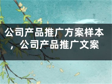 公司產(chǎn)品推廣方案樣本，公司產(chǎn)品推廣文案