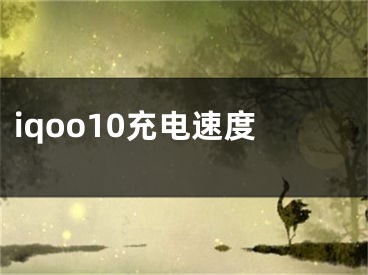 iqoo10充電速度