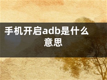 手機開啟adb是什么意思