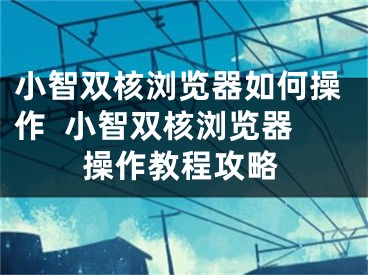 小智雙核瀏覽器如何操作  小智雙核瀏覽器操作教程攻略