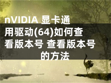 nVIDIA 顯卡通用驅(qū)動(64)如何查看版本號 查看版本號的方法