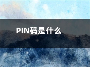 PIN碼是什么