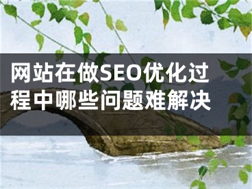 網(wǎng)站在做SEO優(yōu)化過程中哪些問題難解決 