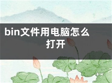 bin文件用電腦怎么打開