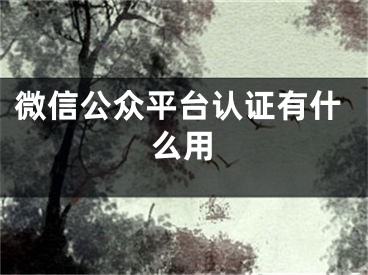 微信公眾平臺認(rèn)證有什么用