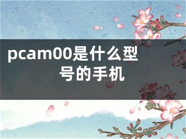 pcam00是什么型號的手機