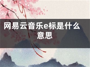 網(wǎng)易云音樂e標(biāo)是什么意思