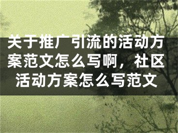 關(guān)于推廣引流的活動(dòng)方案范文怎么寫啊，社區(qū)活動(dòng)方案怎么寫范文