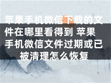 蘋果手機(jī)微信下載的文件在哪里看得到 蘋果手機(jī)微信文件過期或已被清理怎么恢復(fù)