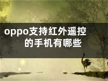 oppo支持紅外遙控的手機(jī)有哪些