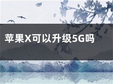 蘋果X可以升級(jí)5G嗎