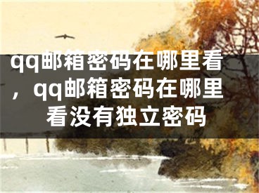 qq郵箱密碼在哪里看，qq郵箱密碼在哪里看沒(méi)有獨(dú)立密碼