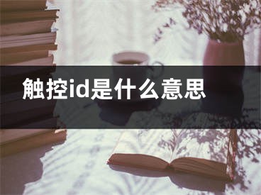 觸控id是什么意思