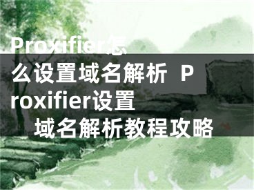 Proxifier怎么設(shè)置域名解析  Proxifier設(shè)置域名解析教程攻略