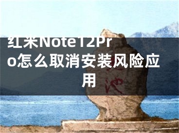 紅米Note12Pro怎么取消安裝風(fēng)險應(yīng)用