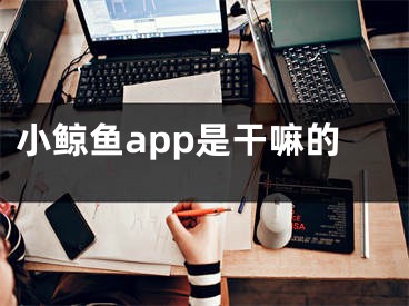 小鯨魚app是干嘛的