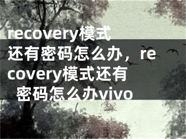 recovery模式還有密碼怎么辦，recovery模式還有密碼怎么辦vivo