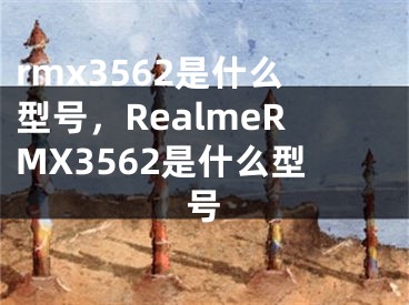 rmx3562是什么型號(hào)，RealmeRMX3562是什么型號(hào)