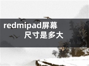 redmipad屏幕尺寸是多大