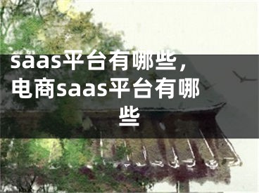 saas平臺(tái)有哪些，電商saas平臺(tái)有哪些