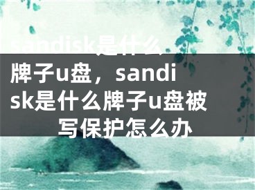 sandisk是什么牌子u盤，sandisk是什么牌子u盤被寫保護怎么辦