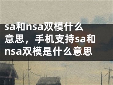 sa和nsa雙模什么意思，手機支持sa和nsa雙模是什么意思