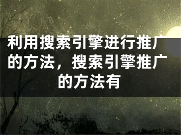 利用搜索引擎進(jìn)行推廣的方法，搜索引擎推廣的方法有