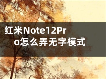 紅米Note12Pro怎么弄無字模式