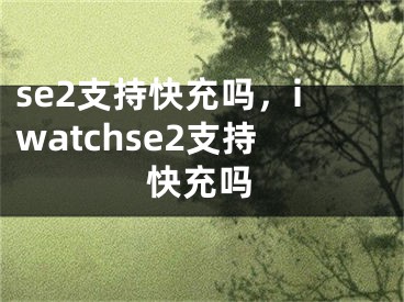 se2支持快充嗎，iwatchse2支持快充嗎