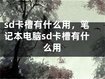 sd卡槽有什么用，筆記本電腦sd卡槽有什么用