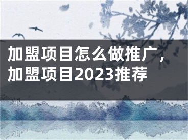 加盟項(xiàng)目怎么做推廣，加盟項(xiàng)目2023推薦