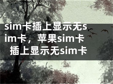 sim卡插上顯示無sim卡，蘋果sim卡插上顯示無sim卡