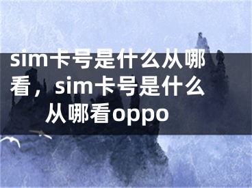 sim卡號是什么從哪看，sim卡號是什么從哪看oppo