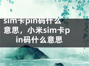 sim卡pin碼什么意思，小米sim卡pin碼什么意思