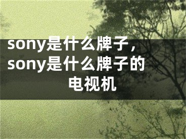 sony是什么牌子，sony是什么牌子的電視機(jī)