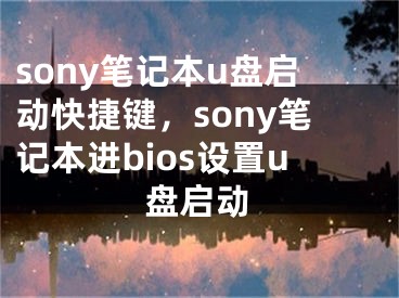 sony筆記本u盤啟動快捷鍵，sony筆記本進(jìn)bios設(shè)置u盤啟動