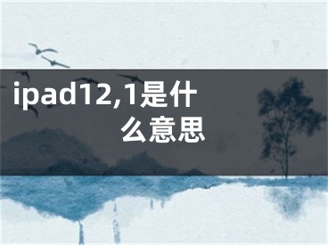 ipad12,1是什么意思