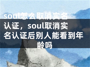 soul怎么取消實(shí)名認(rèn)證，soul取消實(shí)名認(rèn)證后別人能看到年齡嗎