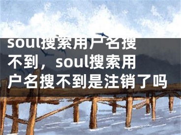 soul搜索用戶名搜不到，soul搜索用戶名搜不到是注銷了嗎