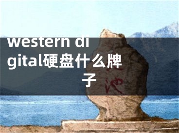 western digital硬盤什么牌子