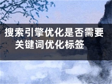 搜索引擎優(yōu)化是否需要關(guān)鍵詞優(yōu)化標(biāo)簽 