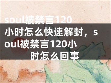 soul被禁言120小時怎么快速解封，soul被禁言120小時怎么回事